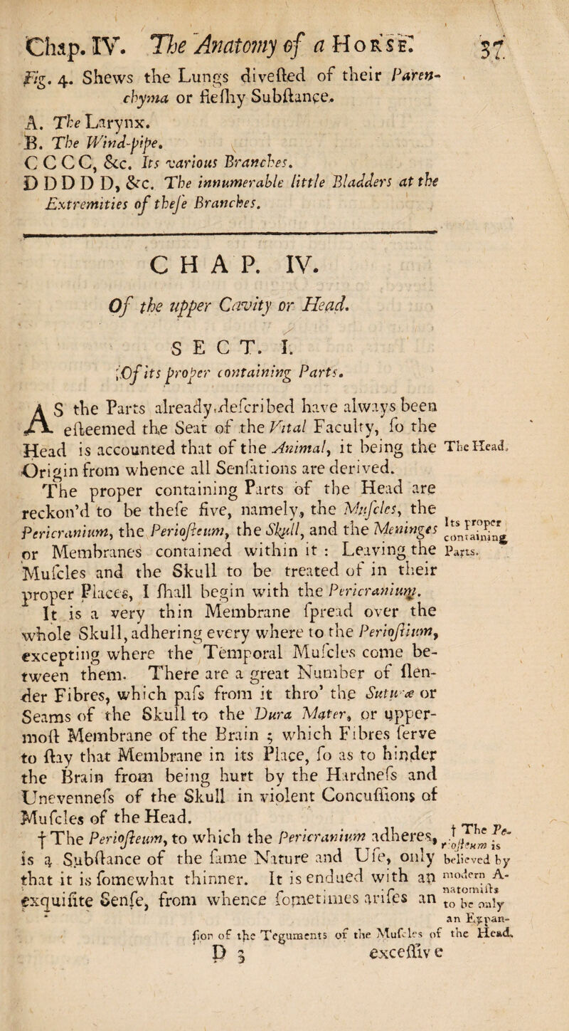 i ■ . •• - ■ \ / 1 i « »;y Chap. IV. The Anatomy of a Horse: 37 /7g. 4. Shews the Lungs diverted of their Paren¬ chyma or fiefhy Subrtance.. A. The Larynx. B. The Wind-pipe, CCCC, &c. Its various Branches, DDDDD, &c. The innumerable little Bladders at the Extremities of theje Branches. — 1 1  ... ■ ...— 1 CHAP. IV. Of the upper Cavity or Head. SECT. I. iCfhsj, roper containing Parts, AS the Parts already,deferibed have always been efteemed the Seat of the Vital Faculty, fo the Head is accounted that of the Animal, it being the The Head, Origin from whence all Senfations are derived. The proper containing Parts of the Head are reckon’d to be thefe five, namely, the Mufcles, the Pericranium, the Periofieum, the Skpll, and the Meninges or Membranes contained within it : Leaving the Parts. Mufcles and the Skull to be treated of in their proper Places, I fhall begin with the Pericranium. It is a very thin Membrane fpread over the whole Skull, adhering every where to the Perioftiumy excepting where the Temporal Mufcles come be¬ tween them. There are a great Number of flen- der Fibres, which pafs from it thro’ the Sutu re or Seams of the Skull to the Dura Mater4 or upper- moll Membrane of the Brain 5 which Fibres lerve to flay that Membrane in its Place, fo as to hinder the Brain from being hurt by the Hardnefs and Unevennefs of the Skull in violent Concuffions of Mufcles of the Head. f The Periofieum, to which the Pericranium adheres, M' is 3. Subrtance of the fame Nature and Ule, only believed by that it is fomewhat thinner. It is endued with an exquiute Senfe, from whence fopietimes arifes an % an E^pan- por of tjie Teguments of the Mufcles of t’ne Head. P 3 exceffiv e