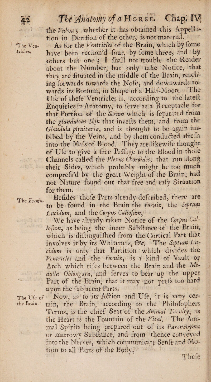 tiicies. The Fornix• The Ufe ef the Brain. The Anatomy of a Horse; Chap. I\^ the Vulva 3 whether it has obtained this Appella¬ tion in Derilion of the other, is not material. have been reckon’d four, by fome three, and by others but one 3 I fhall not trouble the Reader about the Number, but only take Notice, that they are fituated in the middle of the Brain, reach¬ ing forwards towards the Nofe, and downwards to¬ wards its Bottom, in Shape of a Half-Moon. The Ufe of thefe Ventricles is, according to the lateffc Enquiries in Anatomy, to ferve as a Receptacle for that Portion of the Serum which is feparated from the glandulous Skin that invefls them, and from the Glandula pituitaria, and is thought to be again im¬ bibed by the Veins, and by them conducted afrefli into the Mafs of Blood. They are likewife thought of Ufe to give a free Pa Page to the Blood in thofe Channels called the Plexus Choroides, that run along their Sides, which probably might be too much comprefs’d by the great Weight of the Brain, had not Nature found out that free and eafy Situation for them. Befides thofe Parts already deferibed, there are to be found in the Brain the Forvix, the Septum Lucidum, and the Corpus Callofum, We have already taken Notice of the Corpus Cal- lofttm, as being the inner SubfLance of the Brain, which is diflinguifhed from the Cortical Part that involves it by its Whitenefs, &c. The Septum Lu¬ cidum is only that Partition which divides the Ventricles and the Fornixy is a kind of Vault or Arch which riles between the Brain and the Me¬ dulla Oblongata, and ferves to bear up the upper Part of the Brain, that it tfnay not prefs too hard upon the fubjacent Parts. Now, as to its Aflion and Ufe, it is very cer~ tain, the Brain, according to the Philofophers Terms, is the chief Seat of the Animal Faculty, as the Heart is the Fountain of the Vital. The Ani¬ mal Spirits being prepared out of its Parenchyma or marrowy Subfiance, and from thence conveyed into the Nerves, which communicate Senfe and Mo ¬ tion to all Parts of the Body,