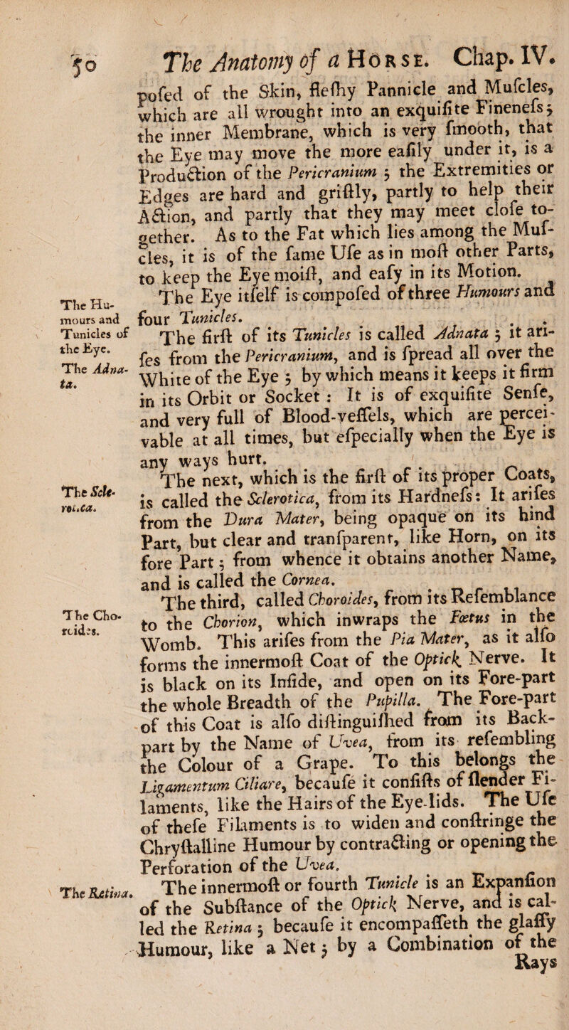 The Hu¬ mours and Tunicles of the Eye. The Adna¬ ta. The Sole- rti.ca. The Cho- rdd;s. The Retina. The Anatomy of a Horsi. Chap. IV. pofed of the Skin, flefhy Pannicle and Mufcles, which are all wrought into an exquifite Finenefs 3 the inner Membrane, which is very fmooth, that the Eye may move the more eafily under it, is a Production of the Pericranium 3 the Extremities or Edges are hard and griftly, partly to help their ACtion, and partly that they may meet clofe to- oether. As to the Fat which lies among the Mul- cles, it is of the fame Ufe as in molt other Parts, to keep the Eyemoift, and eafy in its Motion. The Eye itfelf is compofed of three Humours and four Tunicles. , . The firfF of its Tunicles is called Adnata 5 it ari- fes from the Pericranium, and is fpread all over the White of the Eye 3 by which means it keeps it firm in its Orbit or Socket : It is of exquifite Senfe, and very full of Blood-veftels, which are percei¬ vable at all times, but efpecially when the Eye is any ways hurt. . The next, which is the firft of its proper Coats, is called the Sclerotica, from its Hardnefs: It arifes from the Turn Mater, being opaque on its hind Part, but clear and tranfparent, like Horn, on its fore Part 3 from whence it obtains another Name, and is called the Cornea. . _ r . 1 The third, called Cboroides, from its Refemblance to the Chorion, which inwraps the Foetus in the Womb. This arifes from the Pia Mater, as it alfo forms the innermoft Coat of the Opticl^ Nerve. It is black on its Infide, and open on its Fore-part the whole Breadth of the Papilla. The Fore-part of this Coat is alfo diftinguifhed from its Back- part by the Name of Uvea, from its refemblmg the Colour of a Grape. To this belongs the Livamentum Ciliare, becaufe it confifts of flender Fi¬ laments, like the Hairs of the Eye lids. The Ufe of thefe Filaments is to widen and conftringe the Chryftalline Humour by contra&ing or opening the Perforation of the Uvea. # The innermoft or fourth Tunicle is an Ext>aniion of the Subftance of the Optick Nerve, and is cab led the Retina 3 becaufe it encompafteth the glaffy Humour, like a Net3 by a Combination of the Rays