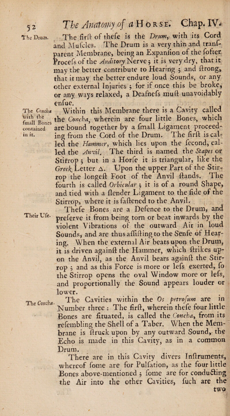 r 52 The Anatomy of # Horse. Chap. IV- The Drum. The firft of thefe is the Drumf with its Cord and Mufcles. The Drum is a very thin and tranf- parent Membrane, being an Expansion of the fotter Frocefs of the Auditory Nerve $ it is very dry, that it may the better contribute to Hearing 5 and ftrong, that it may the better endure loud Sounds, or any other external Injuries } for if once this be broke9 or any ways relaxed, a Deafnefs mutt unavoidably enfue. The Concha Within this Membrane there is a Cavity called Wi rhe ijjg Qoncha wherein are four little Bones, which contained are bound together by a fmall Ligament proceed- in it. jng from the Cord of the Drum. The ftrft is cal¬ led the Hammer, which lies upon the fecond, cal¬ led the Anvil, The third is named the Stapes or Stirrop $ but in a Horfe it is triangular, like the Greeks Letter A. Upon the upper Part of the Stir-* rop the longefl Foot of the Anvil Bands. The fourth is called Orbicular j it is of a round Shape, and tied with a flender Ligament to the fide of the Stirrop, where it is fattened to the Anvil. Thefe Bones are a Defence to the Drum, and Their Ufe. preferve it from being torn or beat inwards by the violent Vibrations of the outward Air in loud Sounds, and are thus aftifting to the Senfe of Heap¬ ing. When the external Air beats upon the Drum, it is driven againft the Hammer, which ftrikes up¬ on the Anvil, as the Anvil bears againft the Stir¬ rop 5 and as this Force is more or lefs exerted, fo the Stirrop opens the oval Window more or lefs, and proportionally the Sound appears louder or lower. r 7 The Cavities within the Os petrofum are in e Number three : The firft, wherein thefe four little Bones are fituated, is called the Concha, from its refembling the Shell of a Taber. When the Mem¬ brane is ftruck upon by any outward Sound, the Echo is made in this Cavity, as in a common Drum. There are in this Cavity divers Inftruments, whereof fome are for Pulfation, as the four little Bones above-mentioned $ fome are for conducing the Air into the other Cavities, fuch are the two ✓