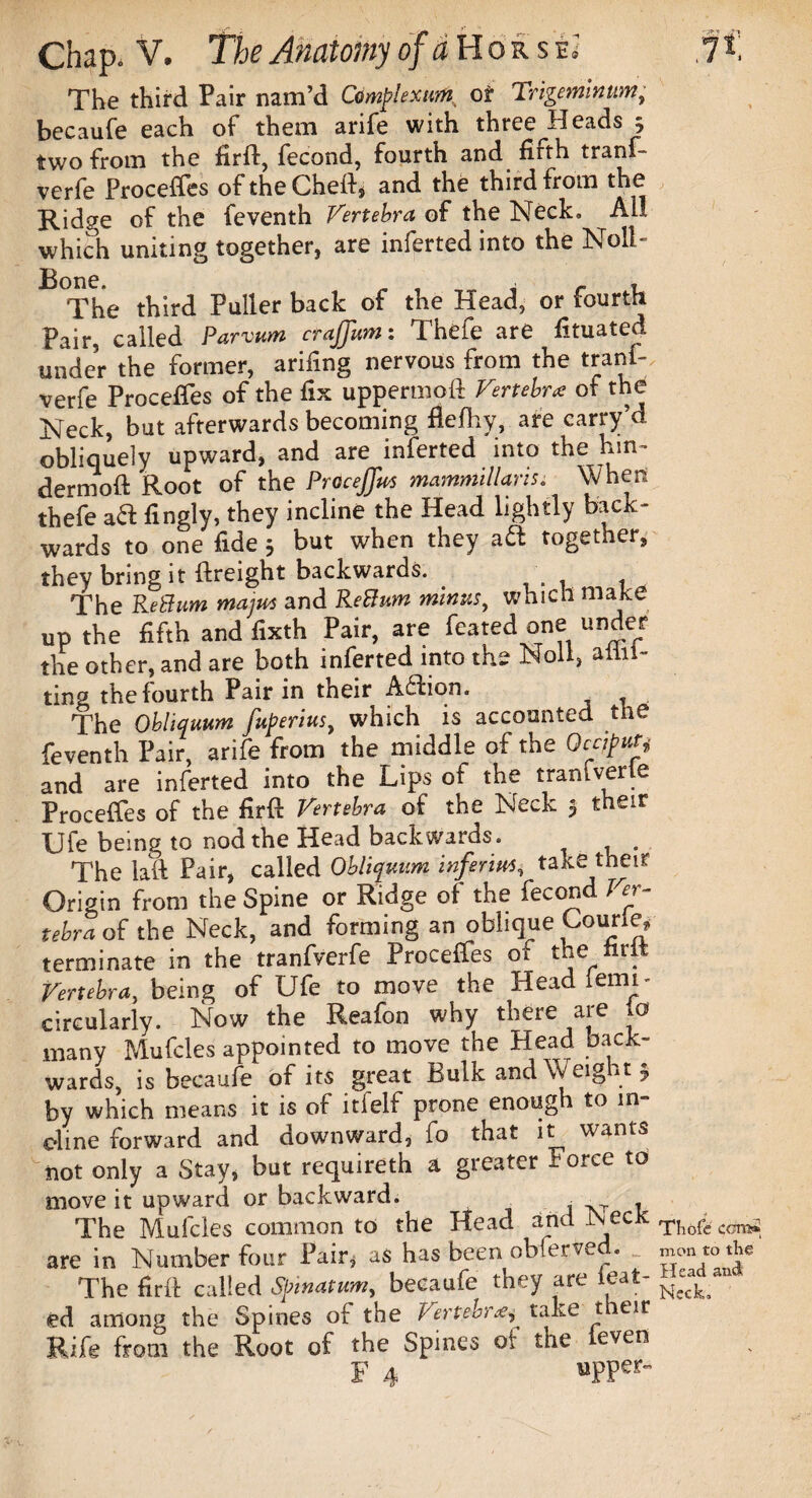 The third Pair nam’d Complextm,. or Trigeminum; becaufe each of them arife with three^Heads 5 two from the firft, fecond, fourth and firth tranf- verfe Proceffes of the Cheft* and the third from the Ridge of the feventh Vertebra of the Neck* All which uniting together, are inferred into the Noll- The third Puller back of the Head, or fourth Pair, called Parvum crajjitm: Thefe are fituated under the former, arifing nervous from the tranL verfe Proceffes of the fix uppermoft Vertebra of the Neck, but afterwards becoming fiefhy, are carry’d obliquely upward, and are inferted into the hin- dermoft Root of the Procejjus mammillaris. When thefe ad fingly, they incline the Head lightly back¬ wards to one fide j but when they ad together, they bring it (freight backwards. The Reblum majut and Return minus, which make up the fifth and fixth Pair, are feared one under the other, and are both inferted into the Noli, aliii- ting the fourth Pair in their Adion. The Obliquum fuperius, which is accounted the feventh Pair, arife from the middle of the Occiput^ and are inferted into the Lips of the trantverie Proceffes of the firft Vertebra of the Neck 5 their Ufe being to nod the Head backwards. . The lall Pair, called Obliquum inferm, take their Origin from the Spine or Ridge of the fecond Ver¬ tebra of the Neck, and forming an oblique Lourie, terminate in the tranfverfe Proceffes of the iirit Vertebra, being of Ufe to move the Head lemi- circularly. Now the Reafon why there are to many Mufcles appointed to move the Head back¬ wards, is becaufe of its great Bulk and Weight 5 by which means it is of itfelf prone enough to in¬ cline forward and downward, fo that it wants not only a Stay, but requireth a greater Torce to move it upward or backward. , , The Mufcles common to the Head and JNeck are in Number four Pair* as has been obfervu . The fir ft called S[nnatum, becaufe they are leat- ed among the Spines of the Vertebra* take t eir Rife from the Root of the Spines of the even F 4 «PPer” Thofe corns* mon to the Head and Neck.