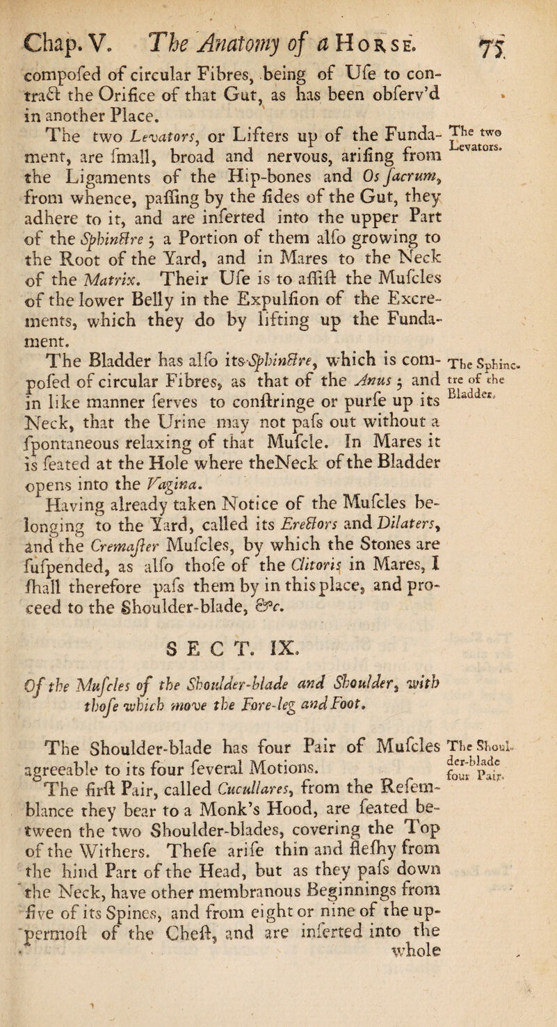 compofed of circular Fibres, being of Ufe to con¬ trail the Orifice of that Gut, as has been obferv’d in another Place. The two Levators, or Lifters up of the Funda- ment, are fmall, broad and nervous, arifing from tva ors' the Ligaments of the Hip-bones and Os facrum, from whence, palling by the lides of the Gut, they adhere to it, and are inferted into the upper Part of the Sphinkre 3 a Portion of them alfo growing to the Root of the Yard, and in Mares to the Neck of the Matrix. Their Ufe is to aflift the Mufcles of the lower Belly in the Expulfion of the Excre¬ ments, which they do by lifting up the Funda- ment. The Bladder has alto its SpbinHre, which is com- TheSphinc. pofed of circular Fibres, as that of the Anus 3 and tre of the in like manner ferves to conflringe or purfe up its Neck, that the Urine may not pafs out without a fpontaneous relaxing of that Mufcle. In Mares it is feated at the Hole where theNeck of the Bladder opens into the Vagina, Having already taken Notice of the Mufcles be¬ longing to the Yard, called its EreUors andDilaters, ancfthe Cremajier Mufcles, by which the Stones are fufpended, as alfo thofe of the Clitoris in Mares, I fhall therefore pafs them by in this place, and pro¬ ceed to the Shoulder-blade, ©V. SECT. IX, Of the Mufcles of the Shoulder-blade and Shoulder, with thofe which wove the Fore-leg and loot. The Shoulder-blade has four Pair of Mufcles The Shoul- agreeable to its four feveral Motions. fou^pSr. The firft Pair, called Cucullaresy from the Refem- blance they bear to a Monk’s Hood, are feated be¬ tween the two Shoulder-blades, covering the T op of the Withers. Thefe arife thin and flefhy from the hind Part of the Head, but as they pafs down the Neck, have other membranous Beginnings from five of its Spines, and from eight or nine of the up- permoft of the Cheft, and are inferred into the whole