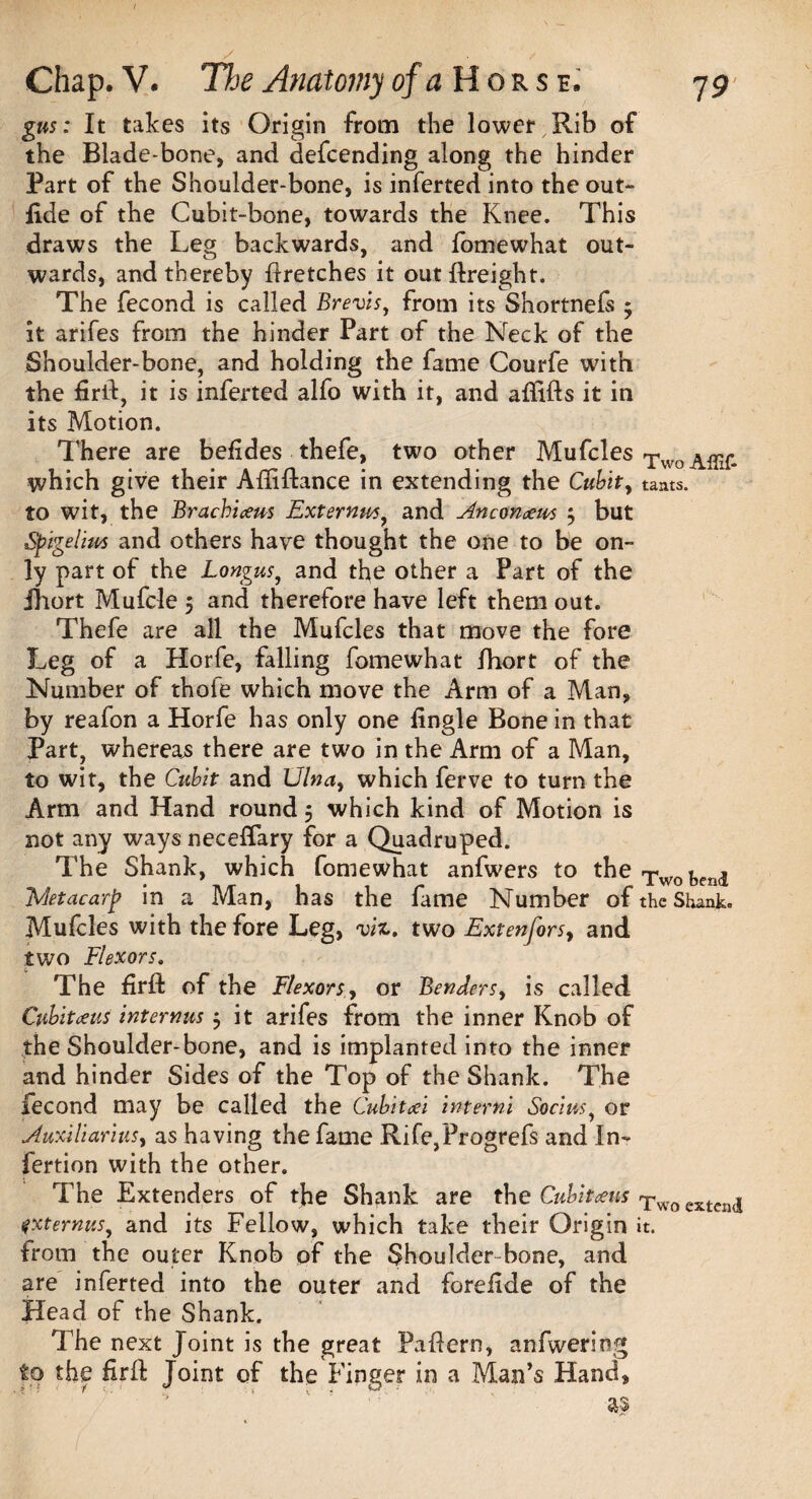 gus: It takes its Origin from the lower Rib of the Blade-bone, and defcending along the hinder Part of the Shoulder-bone, is inferted into the out- fide of the Cubit-bone, towards the Knee. This draws the Leg backwards, and fomewhat out¬ wards, and thereby ftretches it out ftreight. The fecond is called Brevis, from its Shortnefs 5 it arifes from the hinder Part of the Neck of the Shoulder-bone, and holding the fame Courfe with the firft, it is inferted alfo with it, and aflifts it in its Motion. There are belides thefe, two other Mufcles XwoAffif- which give their Afiiftance in extending the Cubit, tants. to wit, the Brachicem Externus, and Anconcews 5 but Sjgigelim and others have thought the one to be on¬ ly part of the Longus, and the other a Part of the fhort Mufcle 5 and therefore have left them out. Thefe are all the Mufcles that move the fore Leg of a Horfe, falling fomewhat fhort of the Number of thofe which move the Arm of a Man, by reafon a Horfe has only one fingle Bone in that Part, whereas there are two in the Arm of a Man, to wit, the Cubit and Vina, which ferve to turn the Arm and Hand round 5 which kind of Motion is not any ways neceffary for a Quadruped. The Shank, which fomewhat anfwers to the Two bend TAetacarp in a Man, has the fame Number of the Shank. Mufcles with the fore Leg, viz. two Extenfors, and two Flexors. The firft of the Flexors, or Benders, is called Cubitaeus internus $ it arifes from the inner Knob of the Shoulder-bone, and is implanted into the inner and hinder Sides of the Top of the Shank. The fecond may be called the Cubitcei interni Socius, or Auxiliarius, as having the fame Rife,Progrefs and In- fertion with the other. The Extenders of the Shank are the Cubiteens Two extend fxternus, and its Fellow, which take their Origin it. from the outer Knob of the Shoulder-bone, and are inferted into the outer and forefide of the Head ot the Shank. The next to the firft . > ■ r i A. '■ Joint is the great Paftern, anfweriog Joint of the Finger in a Man’s Hand,