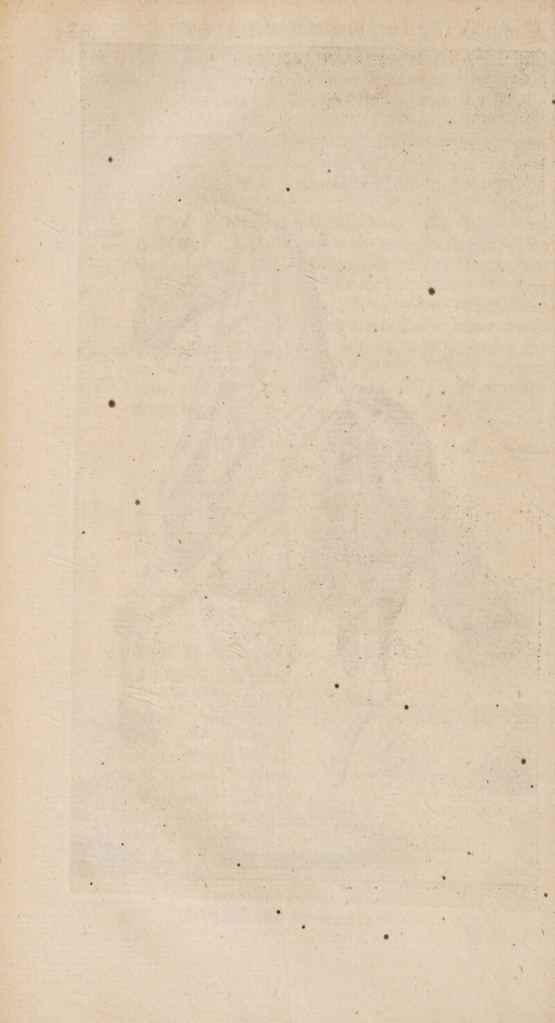 <■> i % I * * \ t \ t