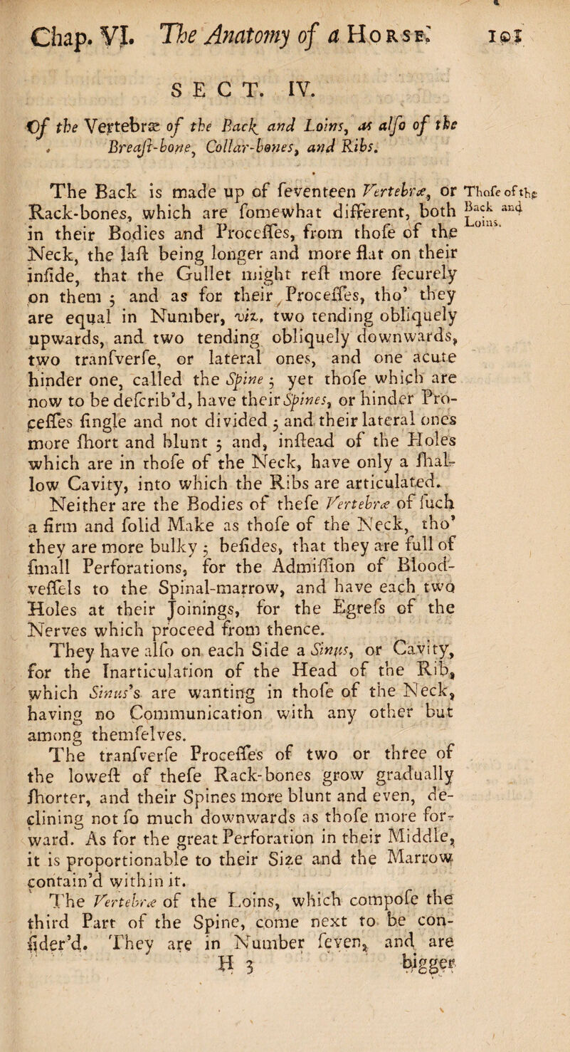SECT. IV. Of the Vertebra of the Badt and Loins, as alfo of the , Breaft-hone, Collar-hones, and Ribs. 9 The Back is made lip of feventeen Vertebrae, or Thofe of Rack-bones, which are fomewhat different, both ^a<rk ar4 in their Bodies and Proceffes, from thofe of the Neck, the laft being longer and more flat on their infide, that the Gullet might reft more feeurely on them $ and as for their Proceffes, tho’ they are equal in Number, viz, two tending obliquely upwards, and two tending obliquely downwards, two tranfverfe, or lateral ones, and one acute hinder one, called the Spine 5 yet thofe which are now to be deferib’d, have their Spines, or hinder Pro- ceffes fingle and not divided 5 and their lateral ones more fhort and blunt 5 and, inftead of the Holes which are in thofe of the Neck, have only a ill al¬ low Cavity, into which the Ribs are articulated. Neither are the Bodies of thefe Vertebra of inch a firm and folid Make as thofe of the Neck, tho* they are more bulky 5 befides, that they are full of fmall Perforations, for the Admiftion of Rlood- veffels to the Spinal-marrow, and have each two Holes at their Joinings, for the Egrefs of the Nerves which proceed from thence. They have alfo on each Side a Sin^ts, or Cavity, for the Inarticulation of the Head of the Rib, which Sinus’s are wanting in thofe of the Neck, having no Communication with any other but among themfelves. The tranfverfe Proceffes of two or three of the loweft of thefe Rack-bones grow gradually fhorter, and their Spines more blunt and even, de¬ clining not fo much downwards as thofe more for¬ ward. As for the great Perforation in their Middle, it is proportionable to their Size and the Marrow contain’d within it. The Vertebra of the Loins, which compofe the third Part of the Spine, come next to be con¬ sider’d. They are in Number feven, and are H 3 bigger