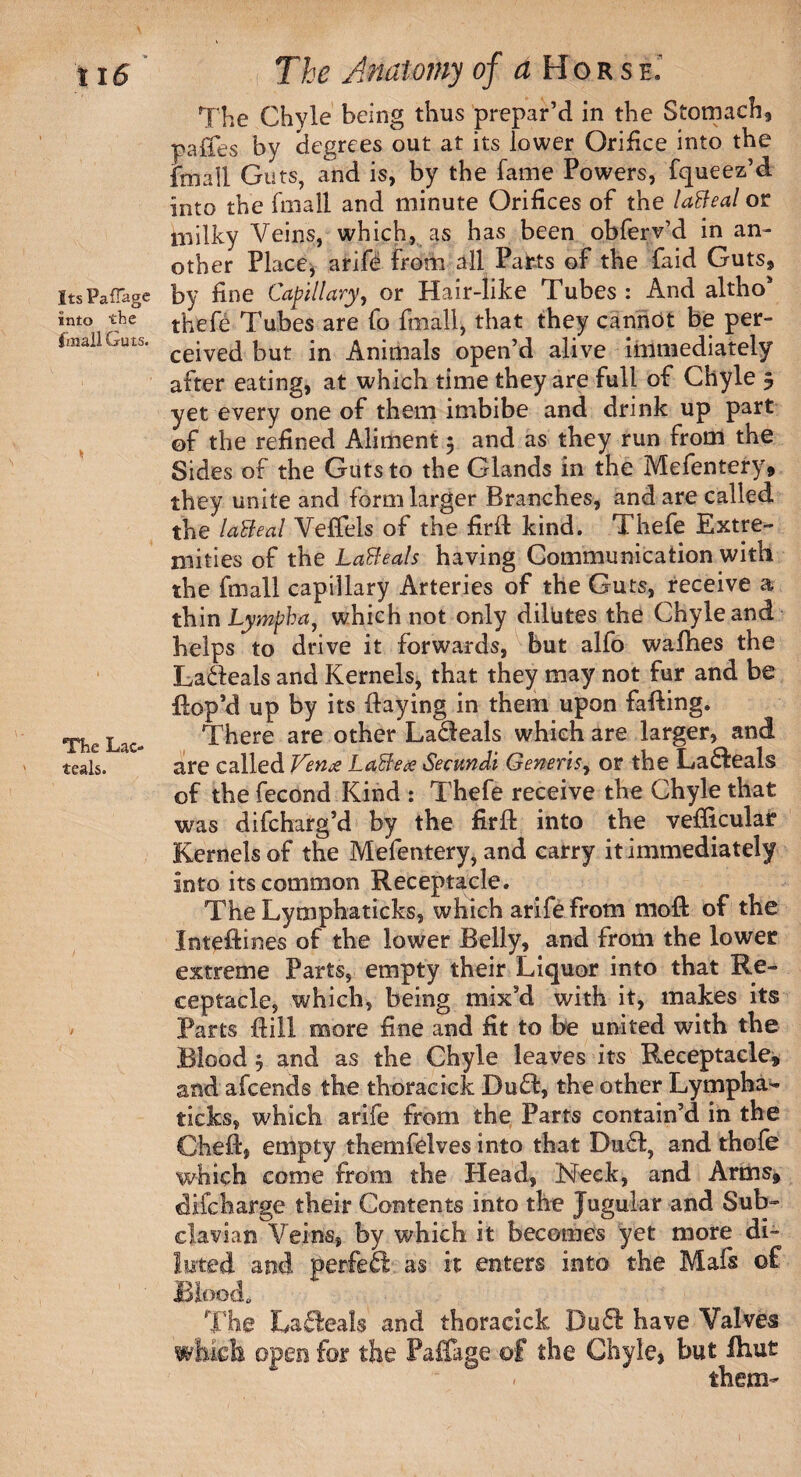 The Chyle being thus prepar’d in the Stomach, pafies by degrees out at its lower Orifice into the fmall Gu ts, and is, by the fame Powers, fqueez’d into the (mall and minute Orifices of the laBeal or milky Veins, which, as has been obferv’d in an¬ other Place, arife from all Parts of the faid Guts, ItsPafTagc by fine Capillary, or Hair-like Tubes: And altho* into the tbefe Tubes are fo fmall, that they cannot be per- imailGuts. cejvej |3Ut Animals open’d alive immediately after eating, at which time they are full of Chyle 5 yet every one of them imbibe and drink up part of the refined Aliment 3 and as they run from the Sides of the Guts to the Glands in the Mefentery, they unite and form larger Branches, and are called the laBeal Veffels of the firH kind. Thefe Extre¬ mities of the LaBeals having Communication with the fmall capillary Arteries of the Guts, receive a thin Lymph a, which not only dilutes the Chyle and helps to drive it forwards, but alfo wafhes the Ladeals and Kernels, that they may not fur and be Hop’d up by its Haying in them upon faffing. The Lac- There are other Ladeals which are larger, and teals. are called Venue LaBe<e Secundi Generis, or the Ladeals of the fecond Kind : Thefe receive the Chyle that was difeharg’d by the firH into the vehicular Kernels of the Mefentery, and carry it immediately into its common Receptacle. The Lymphaticks, which arife from moffc of the Jnteftines of the lower Belly, and from the lower extreme Parts, empty their Liquor into that Re¬ ceptacle, which, being mix’d with it, makes its ' Parts Hill more fine and fit to be united with the Blood 3 and as the Chyle leaves its Receptacle, and afeends the thoracick Dud, the other Lympha¬ ticks, which arife from the Parts contain’d in the Chefl, empty themfelves into that Dud, and thofe which come from the Plead, Neck, and Arms, difeharge their Contents into the Jugular and Sub¬ clavian Veins, by which it becomes yet more di¬ luted and perfed as it enters into the Mafs of Blood, The Ladeals and thoracick Dud have Valves which open for the Paffage of the Chyle, but fhut them-