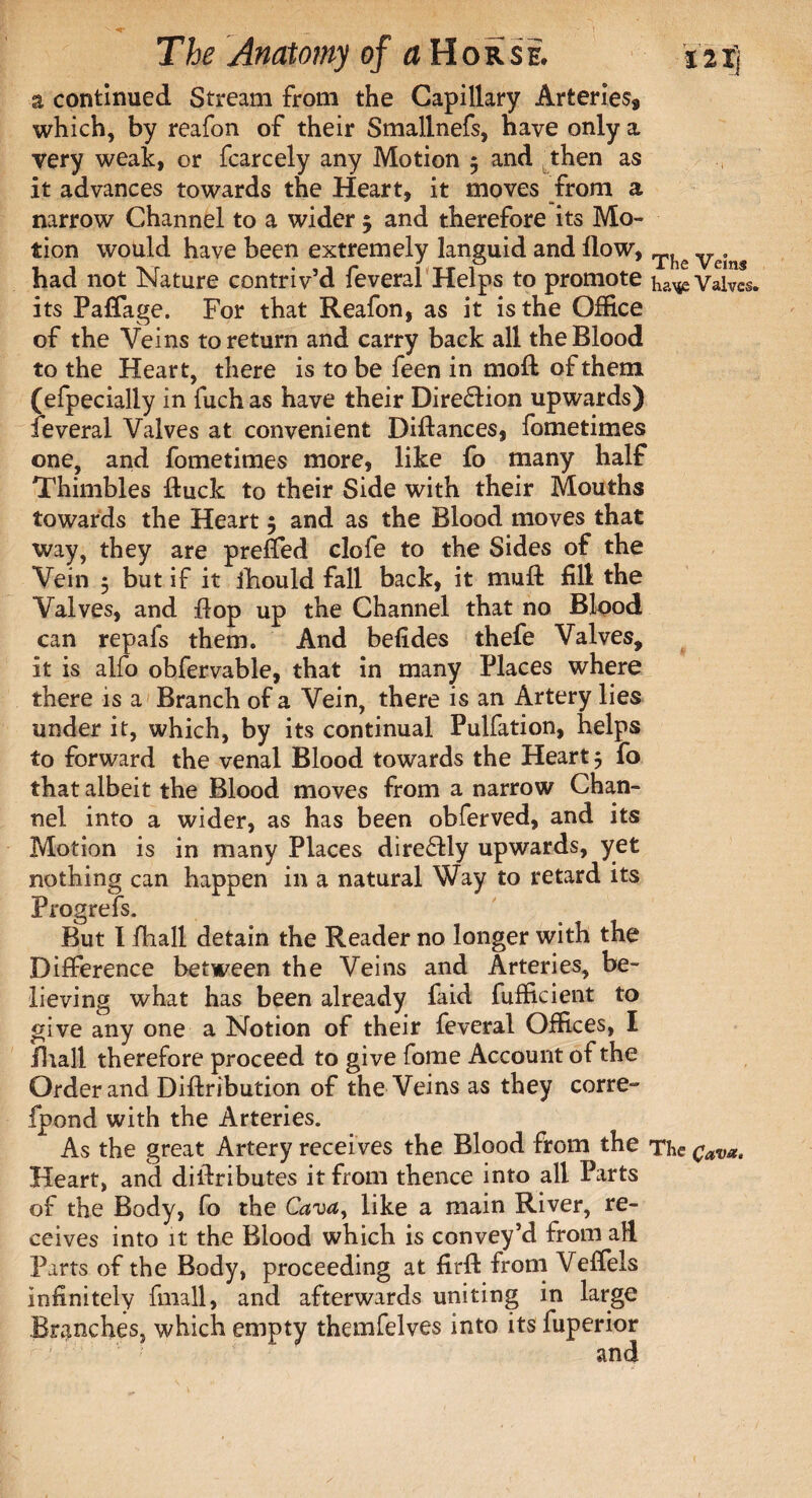 a continued Stream from the Capillary Arteries, which, by reafon of their Smallnefs, have only a very weak, or fcarcely any Motion 5 and then as it advances towards the Heart, it moves from a narrow Channel to a wider 5 and therefore its Mo¬ tion would have been extremely languid and flow, T? e Vc. had not Nature contriv’d feveral Helps to promote ha^ Valves, its Paflage. For that Reafon, as it is the Office of the Veins to return and carry back all the Blood to the Heart, there is to be feen in moft of them (efpecially in fuch as have their Direction upwards) feveral Valves at convenient Distances, fometimes one, and fometimes more, like fo many half Thimbles ftuck to their Side with their Mouths towards the Heart 5 and as the Blood moves that way, they are prefled clofe to the Sides of the Vein 5 but if it fhould fall back, it mu ft fill the Valves, and flop up the Channel that no Blood can repafs them. And befides thefe Valves, it is alfo obfervable, that in many Places where there is a Branch of a Vein, there is an Artery lies under it, which, by its continual Pulfation, helps to forward the venal Blood towards the Heart 5 fo that albeit the Blood moves from a narrow Chan¬ nel into a wider, as has been obferved, and its Motion is in many Places dire&ly upwards, yet nothing can happen in a natural Way to retard its Progrefs. But I fhali detain the Reader no longer with the Difference between the Veins and Arteries, be¬ lieving what has been already faid fufficient to give any one a Notion of their feveral Offices, I Hiall therefore proceed to give fome Account of the Order and Diftribution of the Veins as they corre- fpond with the Arteries. As the great Artery receives the Blood from the The QaVa. Heart, and diftributes it from thence into all Parts of the Body, fo the Cava, like a main River, re¬ ceives into it the Blood which is convey’d from all Parts of the Body, proceeding at firft from Veflels infinitely fmall, and afterwards uniting in large Branches, which empty themfelves into its fuperior