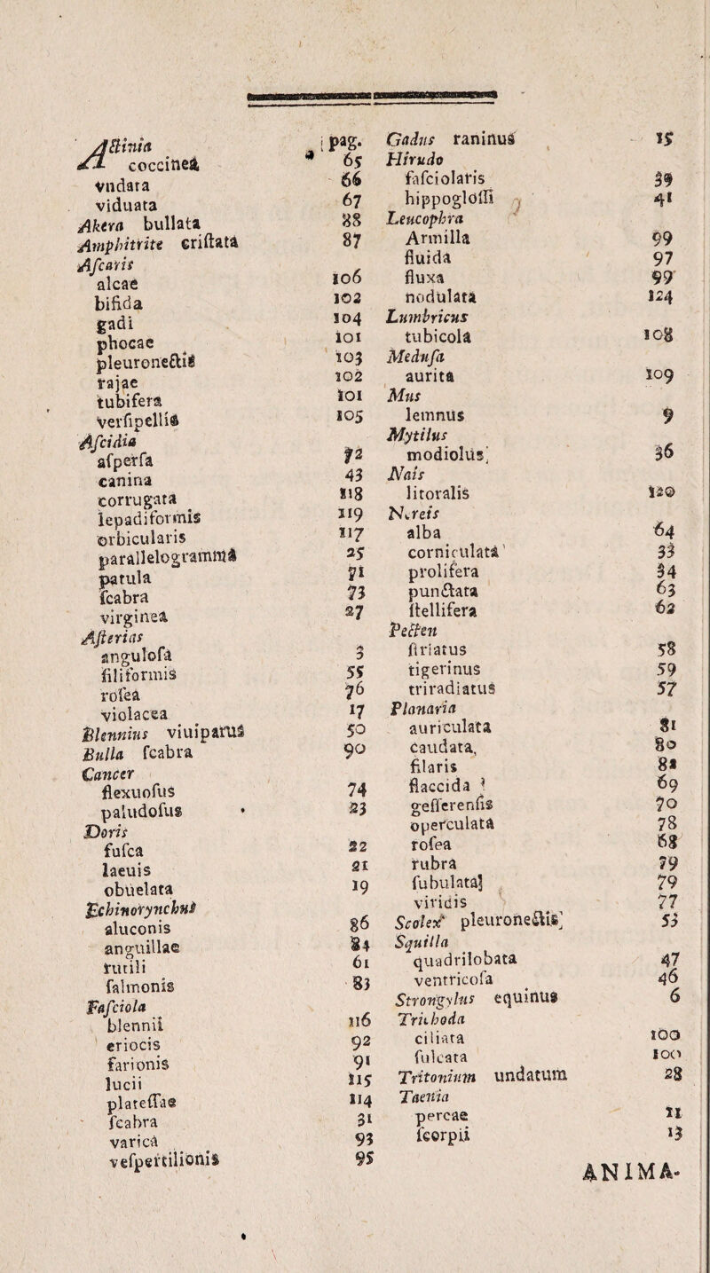 llinia coccinei vndara viduata Aktra bullata Amphitrite eriftata Afcaris alcae bifida gadi phocae pleurone&ii rajae tubifera verfipclli® Afcidia afperfa canina corrugata lepadi formis orbicularis parallelogramittfc patula fcabra virginea Ajt eritis angulofa filiformis rofea violacea 'Biennius viuipaml Bulla fcabra Cancer flexuofus paludofus • Doris fufca laeuis obuelata £cbinorynchH$ aluconis anguillae rutili falmonis Tctfciola blenni! eriocis far ion is lucii plateflae fcabra varica vefpeftilionis i pag. Gdiwr raninus 1$ 65 Hirudo 66 fafciolafis 39 67 hippogldlli Leucophra 4* 88 87 Armilla 99 fluida 97 106 fluxa 99 102 nodulatA 124 I04 Lumbricus 101 tubi cola i 08 105 Medufa 102 aurita 109 toi Mus 105 lemnus Mytilus 9 12 modiolus] 36 43 Nais 818 litoralis UO 119 Nareis 64 117 alba 25 corniculata 33 n prolifera 34 n pumilata 63 27 ftellifera Pdhn 62 $ flriatus 58 55 tigerinus 59 76 tri radiatus 57 17 Planaria 50 auriculata 81 90 caudata, 80 filaris 8« 74 flaccida 1 69 23 geflerenfls 7o operculata 78 22 rofea 68 21 rubra 79 19 fubulata] 79 viridis 77 86 Scoi ex* pleuroneSU®] 53 84 Squilla 61 quadrilobata 47 83 ventricola 46 Strongylas equinus 6 116 Trhhoda Q2 ciliata 100 91 fulcata 100 Tritonium undatum 28 114 Taenia li 31 percae 93 fcorpii 95 ANIMA» «