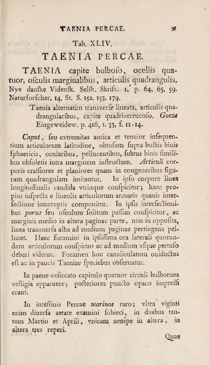 Tab. XLIV. TAENIA PERCAE. i 1 i / TAENIA capite bulbofo, ocellis qua- tuor, ofculis marginalibus, articulis quadrangulis. Nye danlke Videnfk. Selfk. Skrift. x, p. 64, 65, 59« Naturforfcher, 14. St. S. 152, 153, 179. Taenia alternatim transverfe lineata, articulis qua¬ drangularibus, capite qUadriverrucofo. Goeze Eingeweidew. p. 416, t. 33, f. n-14. Caput feu extremitas antica et tenuior infequen- tium articulorum latitudine, obtuium fupra bulbis binis fphaericis, ocularibus, pollucentibus, fubtus binis fimili- bus obfoletis intra marginem inffrudum. Articuli cor* poris crailiores et planiores quam in congeneribus figu¬ ram quadrangulam imitantur. In ipfo corpore linea longitudinalis candida vtrinque confpicitur; haec pro¬ pius infpeda e lineolis articulorum arcuatis quauis inter- fedione interruptis componitur. In ipfis interfectioni¬ bus ponis feu ofculum folitum paillin confpicitur, ac marginis medio in altera paginae parte, non in oppodita, linea transuerfa alba ad medium paginae pertingens pel- lucet. Haec foramini in ipliffima ora laterali quorum dam articulorum confpicuo ac ad medium vfque pertuio deberi videtur. Foramen hoc canaliculatum ouidudus elbae in paucis Taeniae fpeciebus obferuatur. I11 paene exiiccato capitulo qua tuor circuli bulborum ve fligi a apparuere; pofleriores puncto opaco impreiS erant. I11 inteflinis Percae marinae raro; vitra viginti enim diuerfa aetate examini fubieci, in duabus tan¬ tum Martio et Aprili, VBtcam nempe in altera, in altera tres reperi.