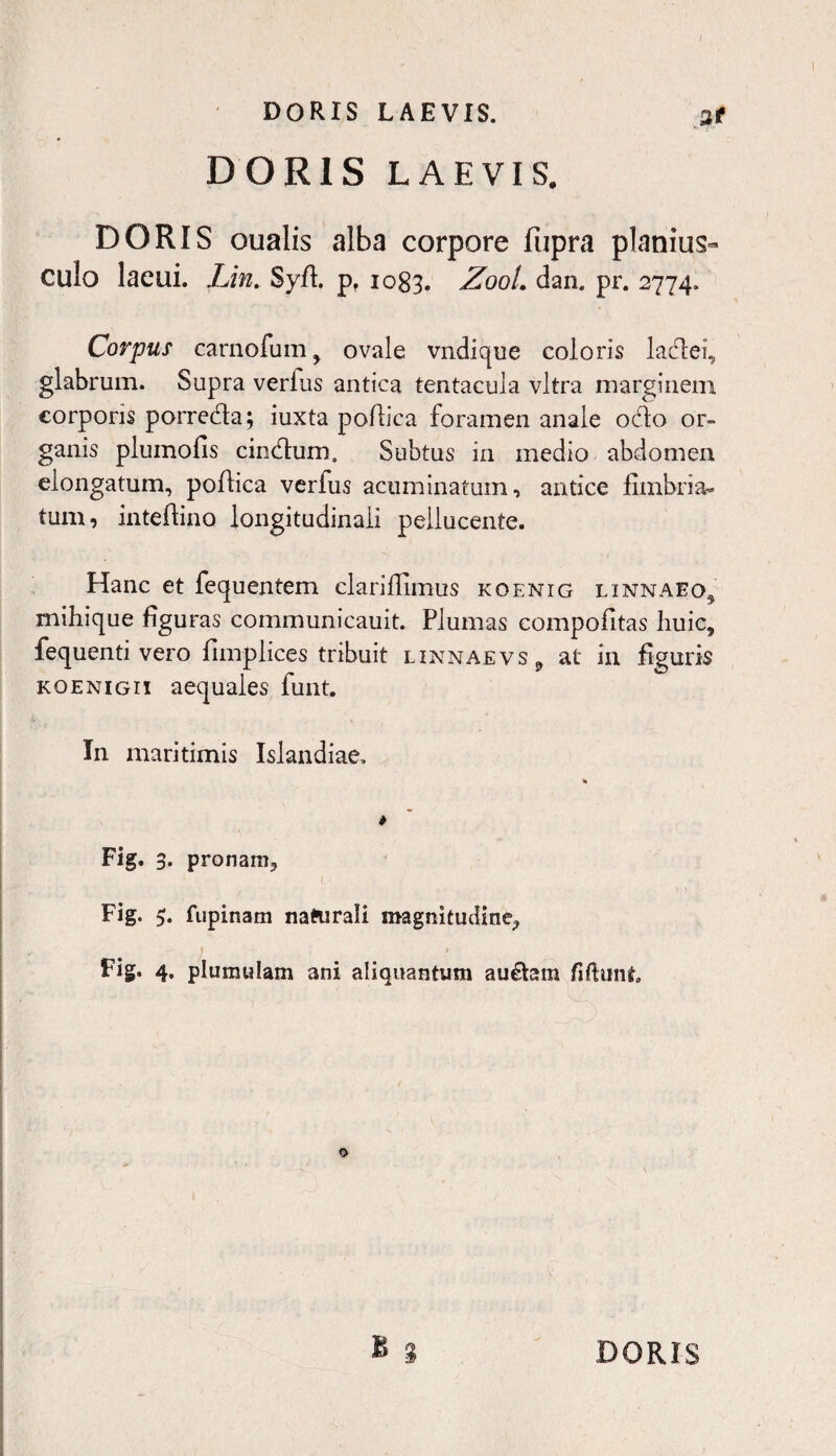 DORIS LAEVIS. 2t DORIS LAEVIS. DORIS oualis alba corpore fupra planius- Culo lacui. Lin. Syfl. pf 1083. Z00L dan. pr. 2774. Corpus carnofuin , ovale vndique coloris lactei, glabrum. Supra verius antica tentacula vitra marginem corporis porre&a; iuxta poilica foramen anale odo or¬ ganis plumofis cindum. Subtus in medio abdomen elongatum, poftica verfus acuminatum, antice fimbria* tum, inteftino longitudinali pellucente. Hanc et fequentem elariffimus koenig linnaeo^ mihique figuras communicauit. Plumas compofitas huic, fequenti vero fimplices tribuit linnaevs9 at in figuris koenig 11 aequales funt. In maritimis Islandiae, * Fig. 3. pronam, Fig. 5. fupinam naturali magnitudine, Fig. 4. plumulam ani aliquantum au£tem fiftunt