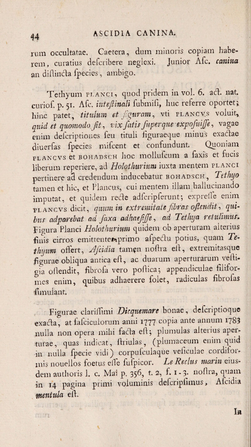 rum occultatae. Caetera, dum minoris copiam habe- rem, curatius defcribere neglexi. Junior Afc. canina an diflinda fpecies, ambigo. Tethyum planci, quod pridem in vol. 6. ad. nat. curiof. p. 51. Afc. inUftinati fiibmifi, huc referre oportet*,, hinc patet, titulum et figuram, vti plancv.s voluit, quid et quomodo Jit, vix fatis fuperque expofnijfie, vagae enim defcriptiones feu tituli figuraeque minus exadae diuerfas fpecies mifcent et confundunt. Quoniam plancvs et bohadsch Iioc moliufcum a faxis et fucis liberum reperiere, ad Holothiirhm iuxta mentem planci pertinere ad credendum inducebatur bohadsch, Tethyo tamen et hic, et Plancus, cui mentem illam hallucinando imputat, et quidem rede_adfcripferunt5 expreile enim tlancvs dicit, quum in extremitate fibras oflmdit, qui¬ bus ad parebat ad fiaxct adkaefijje, ad Tethya retulimus Figura Planci Bohthurmm quidem ob aperturam alterius finis cirros emittentetnprimo afpedu potius, quam Te- thyim offert, Jficidia tam$n noftra ett, extremitasque figurae obliqua antica efi, ac duarum aperturarum Vefti- oia ollendit, fibrofa vero pollica^ appendiculae filifor¬ mes enim, quibus adhaerere folet, radiculas fibrofas fimulant. Figurae clariffimi Dicquemare bonae, deferiptioque exada, at fafcicuiorum anni 1777 copia ante annum 1783 nulla non opera mihi iada efl, plumulas alterius aper¬ turae, quas indicat, firiulas, (plumaceum enim quid 111 nulla fpecie vidi) corpufculaque veliculae cordilor- xnis nouellos foetus effe fufpicor. Le Reclus marin eius¬ dem au thoris 1. c. Mai p„ 356, t. 2, 1. i-3* nofira, quam in 14 pagina primi voluminis delcripfimus, Afcidia mentula eff