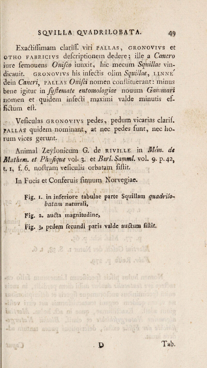 ExadifTimam clarilT. viri tallas, gronovivs et otho fabrigivs defcriptionem dedere 5 ille a Cancro \ iure femcruens Onifco iunxit, hic mecum Squillae vin- dicauit. gronovivs his infectis olim Squillae, linne^ dein Cancri pallas Onifci nomen conllituerant: minus bene igitur in fyjhmate entomologiae nouum Gammari nomen et quidem infecti maximi valde minutis ef- fidum eft. Veficulas gronovivs pedes, pedum vicarias clarif. pallas quidem nominant, at nec pedes funt, nec ho¬ rum vices gerunt. Animal Zeylonicum G. de rivxlle in Mem. dt Mathem. et Phijjiqm vol. 3. et Btrl. Saturni, vol, 9. p. 42, 1.1, f. 6. no Uram veficulis orbatam fiflit. In Fucis et Conferuis finuum Norvegiae. t -u * r •* • * • • Fig. 1. in inferiore tabulae parte Squillam quadrib-« batam naturali, Fig. 2, au£ta magnitudine,