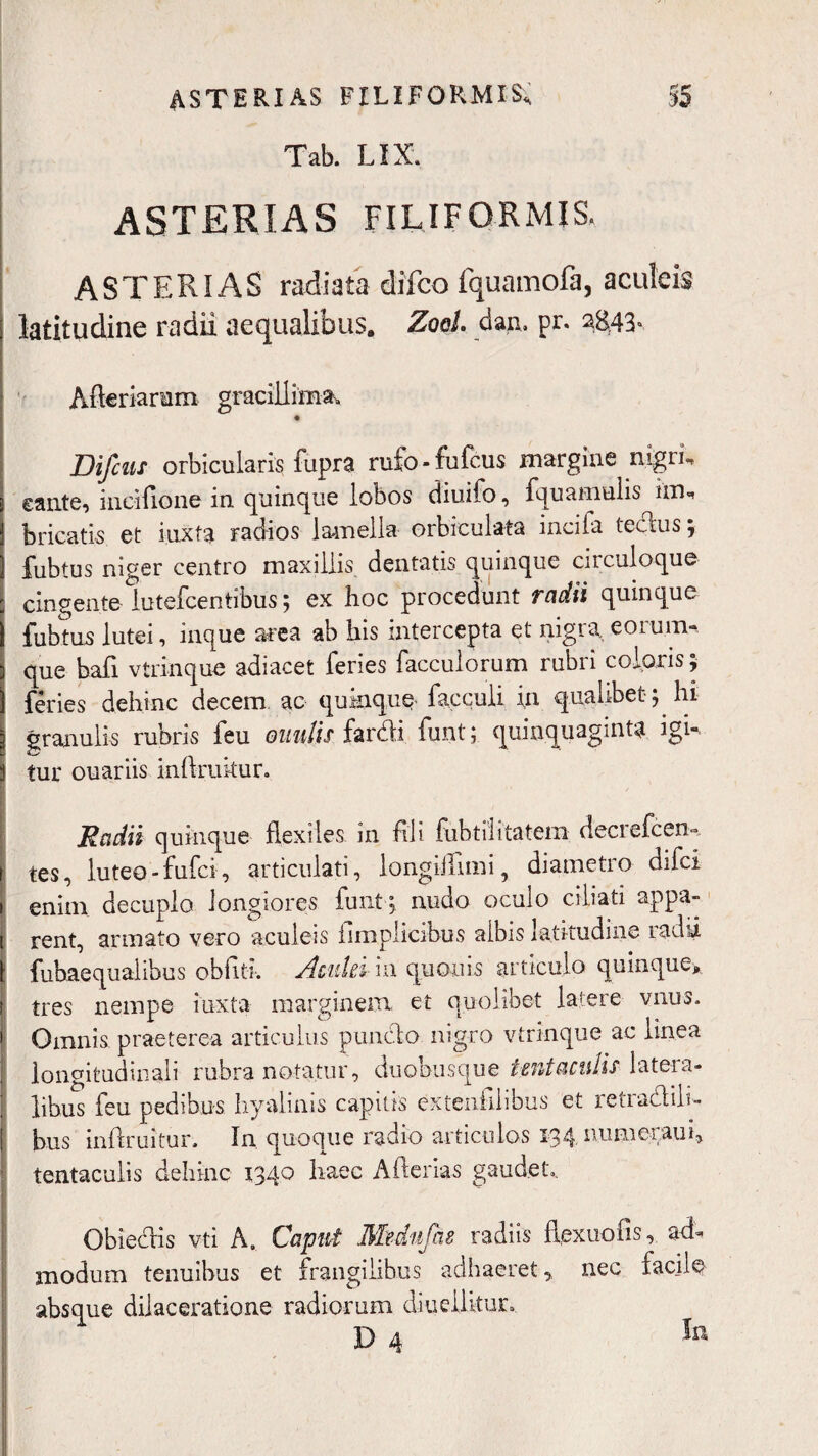 55 ASTERIAS FILIFORMIS; Tab. LIX. ASTERIAS FILIFORMIS. ASTERIAS radiata difco fquamofa, aculeis latitudine radii aequalibus. Zool. dan, pr. 2843. Afteriarum gracillima» Difciif orbicularis fupra rufo-fufcus margine nigri, cante, incifione in quinque lobos diuifo, fquamulis im, bricatis et inxta radios lamella orbiculata incila tedhis; ) fubtus niger centro maxillis dentatis quinque circuloque : cingente lutefcentibus; ex hoc procedunt radii quinque 1 fubtus lutei, inque area ab his intercepta et nigra, eorum- a que bafi vtrinque adiacet feries facculorum rubri coloris; 1 feries dehinc decem, ac quinque facculi in qualibet; hi I granulis rubris feu ouulis fardi funt; quinquaginta igi- 3 tur ouariis inftrukur. Radii quinque flexiles in fili fubtilitatem decrefcen, 1 tes, luteo-fufci, articulati, longiffimi, diametro difci i enim decuplo longiores funt ; nudo oculo ciliati appa- t rent, annato vero aculeis ilmpiicibus albis latitudine radii 1 fubaequalibus obfiti. Acuki hi quoiiis articulo quinque* r tres nempe iuxta marginem et quolibet latere vnus. 1 Omnis, praeterea articulus punclo nigro vtrinque ac linea longitudinali rubra notatur, duobusque ient aculis latera- 1 libus feu pedibus hyalinis capitis exteufilibus et retradili- bus inflruitur. In quoque radio articulos 134. numeiaui, tentaculis dehinc 1340 haec Afterias gaudet». Obiedis vti A. Caput Mednfis radiis ffexuofis, ad¬ modum tenuibus et frangilibus adhaeret, nec facile absque dilaceratione radiorum diueilitun D 4 In