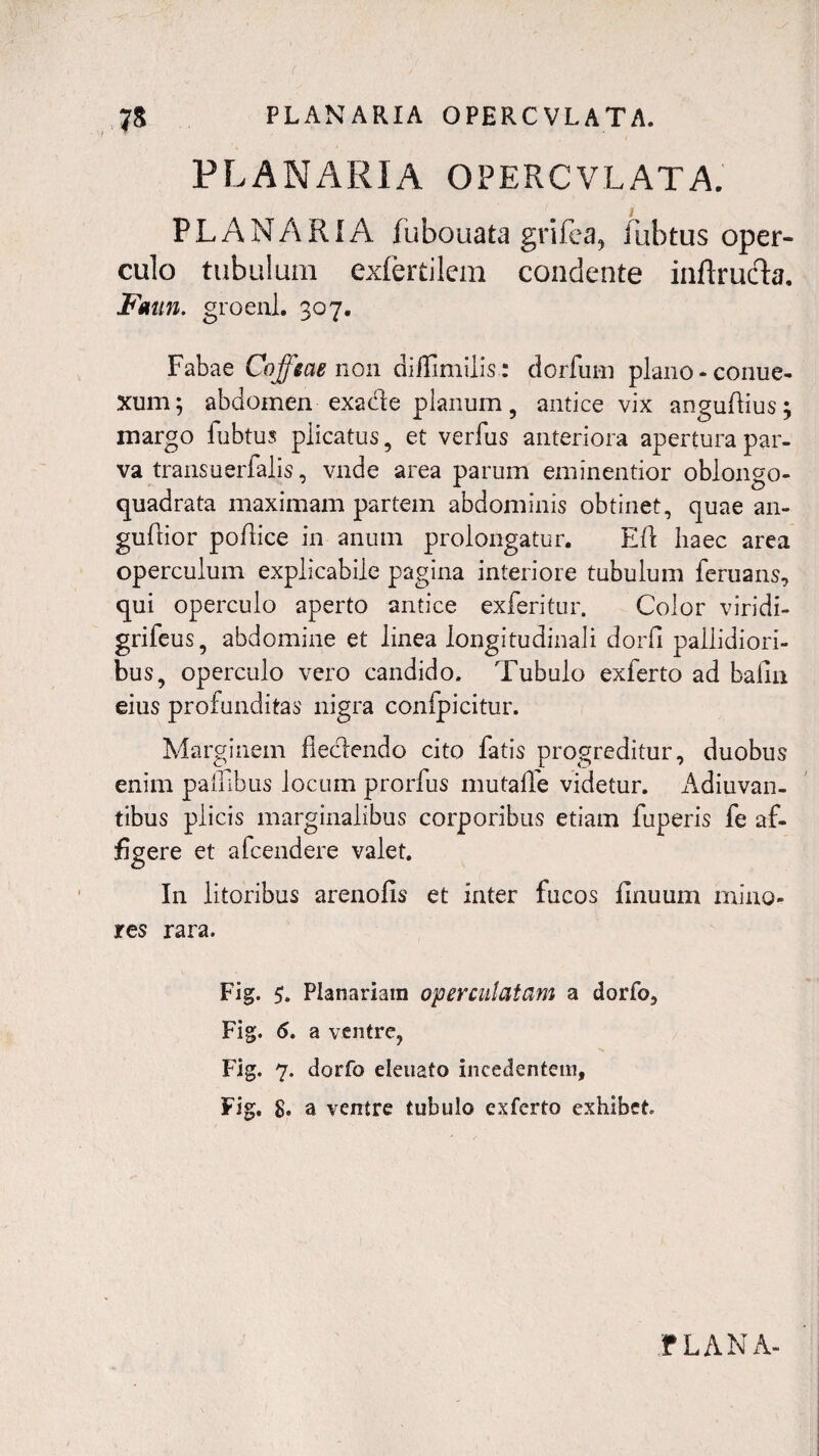 PLANARIA OPERCVLATA. i PLANARIA fubouata grifea, flibtus oper¬ culo tubulum exfertilem condente inftru&a. Faun. groenl. 307. Fabae Coffeae non diffimilis: dorfuni plano-conue- xum; abdomen exade planum , antice vix angudius; margo fubtus plicatus, et verfus anteriora apertura par¬ va transuerfalis, vnde area parum eminentior oblongo- quadrata maximam partem abdominis obtinet, quae an- gudior podice in anum prolongatur. Ed haec area operculum explicabile pagina interiore tubulum feruans, qui operculo aperto antice exferitur. Color viridi- grifeus, abdomine et linea longitudinali dorfi pallidiori¬ bus, operculo vero candido. Tubulo exferto ad bafin eius profunditas nigra confpicitur. Marginem decdendo cito fatis progreditur, duobus enim padibus locum prorfus mutade videtur. Adiuvan- tibus plicis marginalibus corporibus etiam fuperis fe af¬ figere et afcendere valet. In litoribus arenofis et inter fucos finuum mino¬ res rara. Fig. 5. Planariam operculatam a dorfo, Fig. 6. a ventre, Fig. 7. dorfo eleuato incedentem, Fig. 8. a ventre tubulo exferto exhibet f LANA-