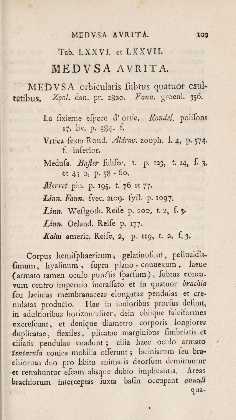 Tab. LXXVI. et LXXVIL MED V S A AVRITA. MEDVSA orbicularis fubtus quatuor cani* fatibus. Zvol. dan. pr. 28^0. Faun. groenl. 356. La fixieme efpece d? ortie. Rondel. poiffons 17. liv. p. 384* £ Vrfica fexta Rond. Aldrov. zooph. 1. 4, p. 574, f. inferior. Medufa. Baficr fubfee. i. p. 133, t. 14, f. 3* et 4; 2* p. 58 - 60. Merret pin. p. 195, t. 76 et 77. Fimi. Faun. fvec. 2109. fyfh p. 1097. Linn. Weflgoth. Reife p. 200, t. 2, f. Linn. Oeland. Reife p. 177. I Kalm americ. Reife, 2, p. 119, t. 2, f. 3; \ Corpus hemifphaericum , gelatinofum , pellucidis* fimum, hyalinum, fupra plano * connexum, laeue (armato tamen oculo pundlis fparfum), fubtus conca- vum centro imperuio incraflato et in quatuor brachia feu lacinias membranaceas elongatas pendulas et cre- nulatas produdlo. Hae in tumoribus prorfus defunt, in adultioribus horizontaliter, dein oblique falciformes excrefcunt, et denique diametro corporis longiores duplicatae, flexiles, plicatae marginibus fimbriatis et ciliatis pendulae euadunt ; cilia haec oculo armato tentacula conica mobilia offerunt; laciniarum feu bra¬ chiorum duo pro libitu animalis deorfum demittuntur et retrahuntur efcam absque dubio implicantia. Areas brachiorum interceptas iuxta bafin occupant annuti qua-