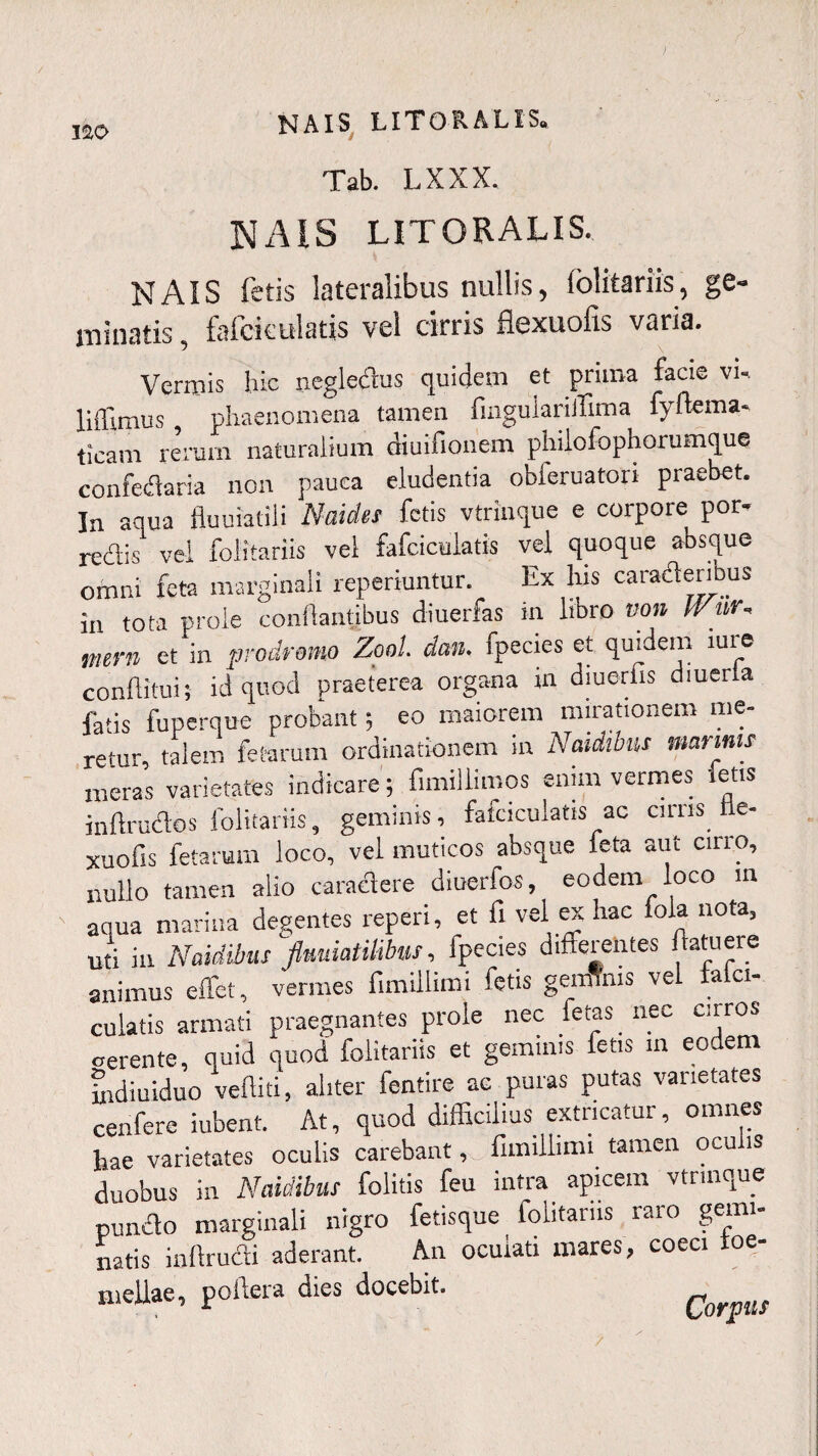 Tab. L X X X. NAIS LITORALIS. NAIS fetis lateralibus nullis, Solitariis, ge¬ minatis , fafcieulatis vel cirris flexuofis varia. Vermis hic negledus quidem et prima facie vi-. liffimus phaenomena tamen fmgulariffima fyftema- ticam rerum naturalium diuifionem philofophorumque confedaria non pauca eludentia obieruatori praebet. In aqua fluuiatili Naides fetis vtrinque e corpore por- redis vel folitariis vel fafcieulatis vel quoque absque omni feta marginali reperiuntur. Ex bis caraderibus in tota prole conflantibus diuerfas in libro von Wur- mevn et in prodromo Zool. dan. fpecies et quidem iule conflitui; id quod praeterea organa in diuerbs diuerla fatis fuperque probant; eo maiorem mirationem me¬ retur, talem fetarum ordinationem in Natdlbns marinis meras varietates indicare; fimillimos enim vermes iens jnflrudos folitariis, geminis, fatciculatis ac cirris ile- xuofis fetarum loco, vel muticos absque feta aut cirro, nullo tamen alio caradere diuerfos, eodem loco m aqua marina degentes reperi, et fi vel ex hac lola nota, uti in Naidibus flmiatilibus, fpecies differentes flatuere animus effiet, vermes fimillimi fetis geminis vel falci- culatis armati praegnantes prole nec fetas nec euros oerente, quid quod folitariis et geminis fetis m eodem indiuiduo veftiti, aliter fentire ae puras putas varietates cenfere iubent. At, quod difficilius extricatur, omnes hae varietates oculis carebant, _ fimillimi tamen oculis duobus in Naidibus folitis feu intra apicem vtrinque pundo marginali nigro fetisque folitariis raro gemi- natis inftrudi aderant. An ocuiati mares, coeci toe- mellae, poftera dies docebit. Corvus /