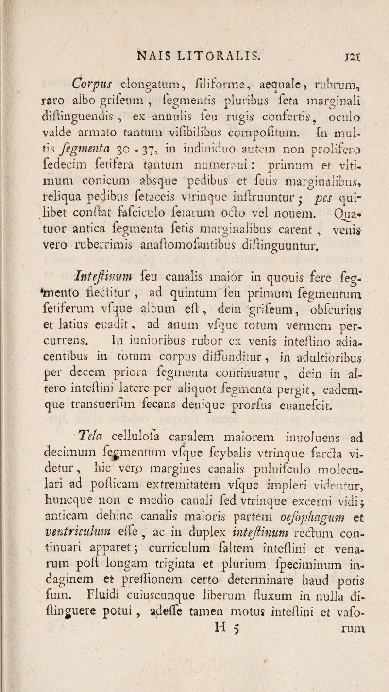 Corpus elongatum, filiforme, aequale, rubrum, raro albo grifeum , Tegmentis pluribus feta marginali difiinguendis , ex annulis feu rugis confertis, oculo valde armato tantum vifibilibus compofitum. Iri mul¬ tis figmenta 30 - 37, in indiuiduo autem non prolifero fedecim fetifera tantum numeraui: primum et viti- Inum conicum absque pedibus et fetis marginalibus, reliqua pedibus fetaceis vtrinque inflruuntur • pes qui¬ libet confiat fafciculo fetarum odio vel nouem. Qua-* tuor antica fegmenta fetis marginalibus carent , venis vero ruberrimis anafiomofantibus difiinguuntur. InteJUnum feu canalis maior in quouis fere Teg¬ imento flectitur , ad quintum feu primum Tegmentum fetiferum vfque album efi, dein grifeum, obfcurius et latius euadit, ad anum vique totum vermem per¬ currens. In i unioribus rubor ex venis inteftino adia- centibus in totum corpus diffunditur, in adultioribus per decem priora Tegmenta continuatur , dein in al¬ tero intefiini latere per aliquot fegmenta pergit, eadem- que transuerfim fecans denique prorfus euanefcit. ■ Tela cellulofa canalem maiorem inuoluens ad decimum Tegmentum vfque fcybalis vtrinque farcla vi¬ detur, hic verp margines canalis puluifculo molecu¬ lari ad pofiicam extremitatem vfque impleri videntur, huncque non e medio canali fed vtrinque excerni vidi; anticam dehinc canalis maioris partem oefophagum et ventriculum elfe , ac in duplex intejtinum rectum con¬ tinuari apparet; curriculum faltem intefiini et vena¬ rum poff longam triginta et plurium fpeciminum in¬ daginem et preifionem certo determinare haud potis fum. Fluidi cuiuscunque liberum lluxum in nulla di- ftinguerc potui , adeffe tamen motus intefiini et vafo- H 5 rum