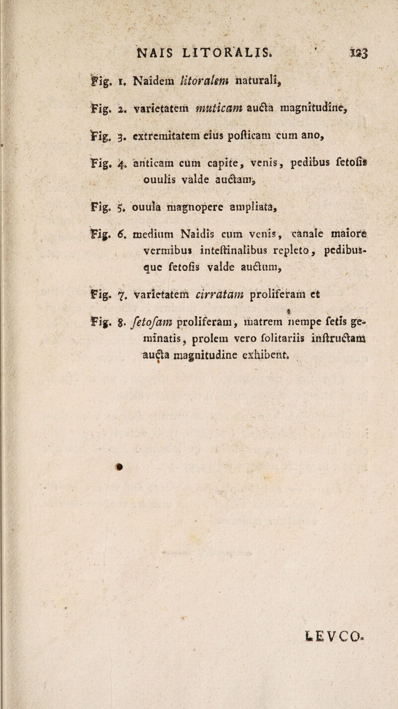 NAIS LITORALIS, * 123 Fig. i. Naidem litoralem naturali, Fig. 2. varietatem muticam au&a magnitudine, Fig. 3. extremitatem eius pofticam cum ano, Fig. 4. anticam cum capite, venis, pedibus fe tofis ouulis valde audiam, Fig. 5* ouula magnopere ampliata, Fig. 6. medium Naidis cum venis, canale maiore vermibus inteftinaiibus repleto, pcdibuS- que fetofis valde audhim, Fig. 7. varietatem cirratam proliferam et ts Fig. 8. fetofam proliferam , matrem nempe fetis ge¬ minatis, prolem vero folitariis inftru&ara audla magnitudine exhibento LEVCCL