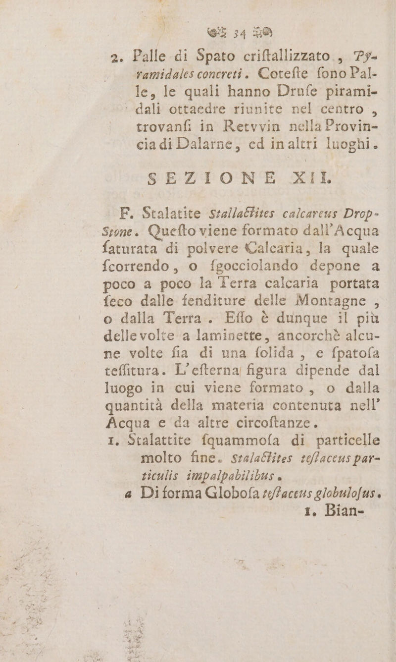 2. Palle di Spato criftallizzato., Py —_ ramidalesconcreti. Cotefte fono Pal. Ie, le quali hanno Drufe pirami. ‘’dali ottaedre riunite nel centro , trovanfi in Retvvin nella Provin- cia di Dalarne, ed inaltri luoghi. SEZIONE XIL F. Stalatite sta/laGtites calcareus Drop- Stone. Quefto viene formato dall’Acqua faturata di polvere Calcaria, la quale fcorrendo, o fgocciolando depone a poco a poco la Terra calcaria portata feco dalle fenditure delle Montagne , o dalla Terra. Eflo è dunque il più delle volte a laminette, ancorchè alcu- ne volte fia di una folida , e fpatofa teffitura. L’efterna figura dipende dal luogo in cui viene formato, o dalla quantità della materia contenuta nell’ Acqua e da altre circoftanze. 1, Stalattite fquammofa di particelle molto fine. sra/alfites refaceus par= ticulis impalpabilibus . a Di forma Globofa seftaceus globulofus. 1. Bian- dei Ka, CSA