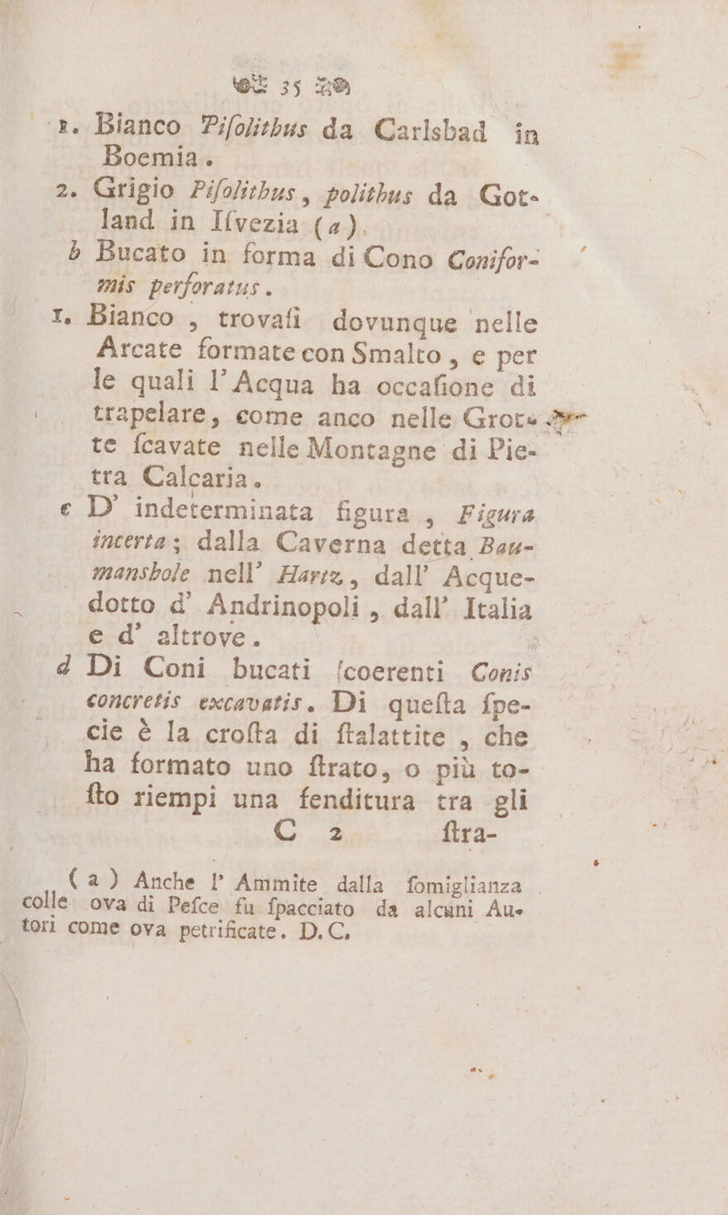 vr 35; 20 Me cr. Bianco Pi/olitbus da Carlsbad in Boemia. 2. Grigio Pifolithus, politbus da Got- land in Ilvezia (4). | b Bucato in forma di Cono Conifor= mis perforatus. I. Bianco , trovafi dovunque ‘nelle Arcate formate con Smalto, e per le quali l’ Acqua ha occafione di sa * te fcavate nelle Montagne di Pie- tra Calcaria, e D' indeterminata figura, Figura incertaz dalla Caverna detta Bau- manshole nell’ Harz, dall’ Acque- dotto d’ Andrinopoli, dall’ Italia ed altrove. - d Di Coni bucati [coerenti Conis concretis excavatis. Di quefta fpe- cie è la crofta di ftalattite , che ha formato uno ftrato, o più to- fto riempi una fenditura tra gli Ca ftra- ( a) Anche I Ammite dalla fomiglianza colle ova di Pefce fu fpacciato da alcuni Aus tori come ova petrificate. D.C,