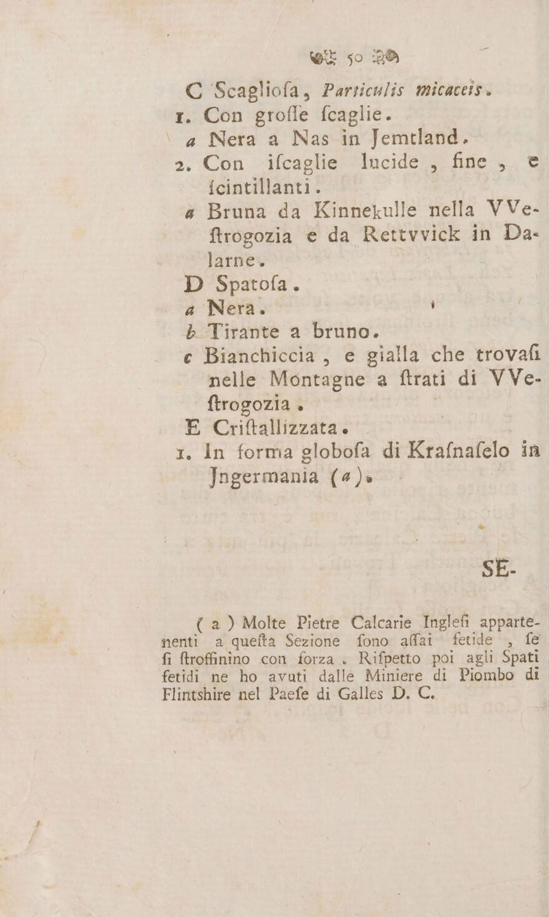 C Scagliofa, Parsiculis micaceis. tr. Con grofle fcaglie. \ a Nera a Nas in Jemtland. 2 Con ‘ifcaglie ‘lucide, fine &gt;, © fcintillanti. a Bruna da Kinnekulle nella VVe- ftrogozia e da Rettvvick in Da- larne. | D Spatofa. a Nera. b Tirante a bruno. ce Bianchiccia , e gialla che trovafi nelle Montagne a ftrati di VVe- ftrogozia + | E Criftallizzata. 1. In forma globofa di Krafnafelo in Jngermania (4)» | SE- ( a ) Molte Pietre Calcarie Inglefi apparte- nenti a quefta Sezione fono affai. fetide , fe fi ftroffinino con forza . Rifpetto poi agli Spati fetidi ne ho avuti dalle Miniere di Piombo di Flintshire nel Paefe di Galles D. C.