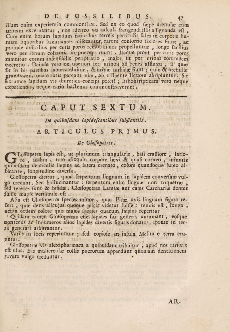 illam enim experientia cornmonflrat* Sed ex eo quod faepe arenulae cum urinam excernantur 3 non idcirco vis calculi frangendi illis aflignanda efl: 9 Cum enim horum lapidum fixioribus terreis particulis fales in corporis hu- inani liquoribus luxuriantes rnifcean.tur,earum confortio fixiores fiunt 3 ac proinde difficilius per cutis poros reiffotiffimos propelluntur 3 longe facilius vero per renum cola-toria in .praeceps ruunt . Itaque prout percutis poros minuitur eorum ■infenfibiU.s perfpiratio 3 major fit per urinas eorurndern excretio . Deinde vero ex ubenori feri urinofi ad renes affluxu , fi qu^ fit in his partibus faburra eluitur 3 & urinae turbidae fiunt ; quin Sc arenulae grandiores 5 modo fans pateam vise ab effluente liquore abripiuntur . Sic borumce Iapidum vis diuretica concipi poteft ; lithontripticam vero neque experientia * neque ratio ha£lenus commonflraveront« : CAPUT SEXTUM. ; - - - 5 . De quibufdam lapidescentibus fubftantiis. ARTICULUS PRIMUS. & \ [).* ’ ■ - -v • t * • . - - *^ .... .. V •• r V *  / •; • De Glojfepctris. ' «i 3 .i - ? ?*-; * ■ f- GLoffopetra Iapis , ut plurimum triangularis 3 bafi crafliore , latio¬ re 3 fcabra 3 toto alioqum corpore laevi Sc quafi corneo , minutis quibufdam denticulis fkpius ad latera crenato, colore quandoque luteo al¬ bicante, longitudine diverfa. Gloffopetra dicitur , quod ferpentum linguam in lapidem converfam vul¬ go credant. Sed hallucinantur : ferpentum enim linguae non triquetrae , fed teretes funt Sc bifidae. Gloffopetras Lamiae aut canis Carcharias dentes fuifle magis verffimile efl: . . - # \ Alia efl Gloffopetras fpecies minor ■, quse Picae avis linguam figura re¬ fert , quae dens alicujus quoque pifps videtur fuifle : tenuis efl: , longa , acuta eodem colore quo major fpeeks quacum faepius reperitur> Q^iidam tamen Gloffopetras elfe lapides fui generis autumant , eofque rionfecus ac innumeros alios Iapides diverfis figuris donatos, fponte in ter¬ ra generari arbitrantur. Variis in locis reperiuntur ; fed coplofe in infula Melita e terra eru¬ untur. - '} Gloffopetras vis alexipharmaca a quibufdam tribuitur 3 apud nos rarioris efl: ufus. Eas mulierculae collis puerorum appendunt quoniam dentitionem fuvare vulgo creduntur. * .*>. * AR-