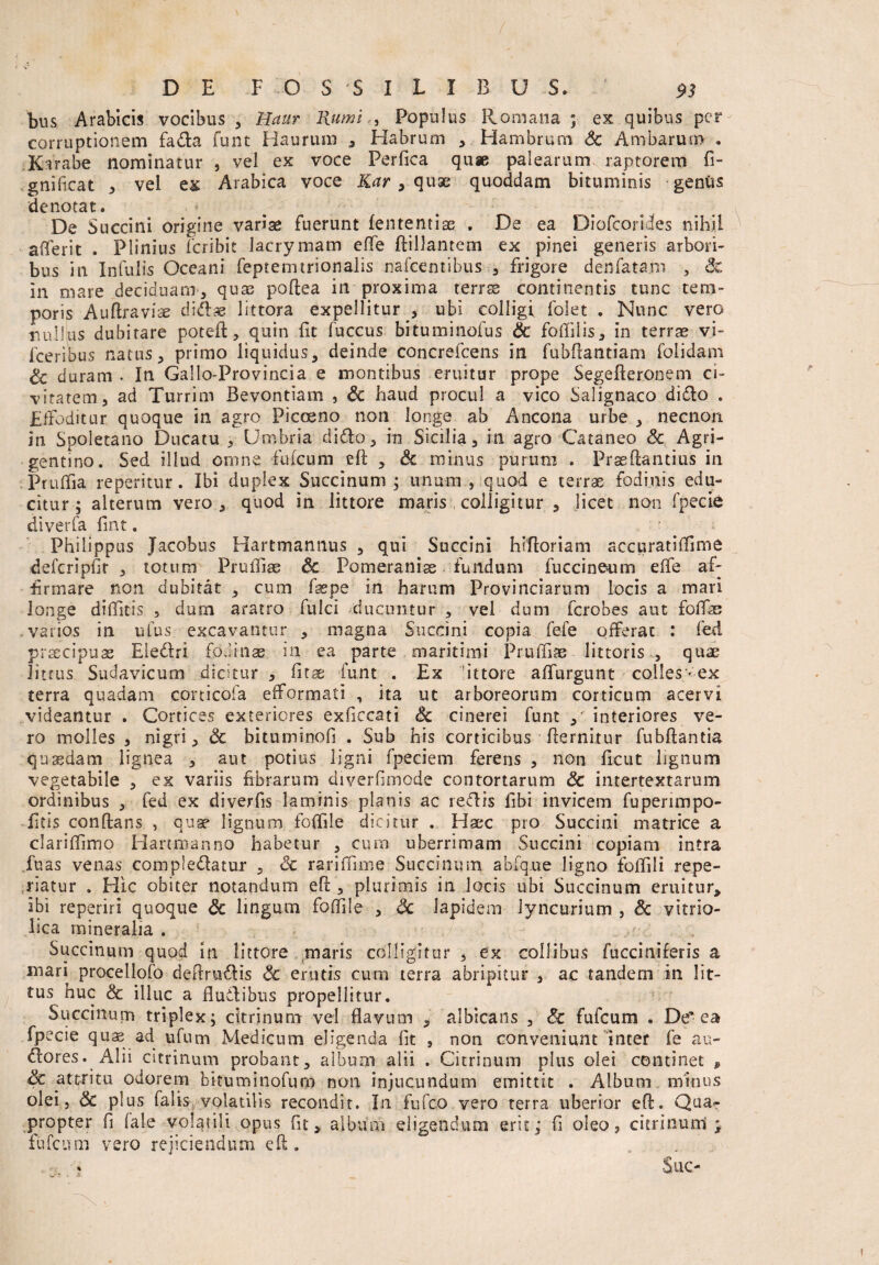 f DE F O S S I I I 33 U S. ‘ 91 bus Arabicis vocibus , Haur Rumi , Populus Romana p ex quibus per corruptionem fada funt Haurum , Habrum , Hambrum Sc Ambarum . JCarabe nominatur , vel ex voce Perfica qu* palearum raptorem fi- gniiicat , vel ex Arabica voce Kar, quae quoddam bituminis gentis denotat. De Succini origine variae fuerunt fententiae . De ea Diofcorides nihil afierit . Plinius Peribit Jacrymam efie flillantem ex pinei generis arbori¬ bus in Infulis Oceani feptemtrionalis nafcentihus , frigore denfatam , dc in mare deciduam, quas poflea in proxima terree continentis tunc tem¬ poris Auflravise didse littora expellitur , ubi colligi folet . Nunc vero nullus dubitare potefl, quin fit fuccus bituminofus & folli lis, in terrae vi- fceribus natus, primo liquidus, deinde concrefcens in fubfiantiam folidam £c duram . In Gailo-Provincia e montibus eruitur prope Segefteronem ci¬ vitatem, ad Turrim Bevontiam , Sc haud procul a vico Salignaco dido . Effoditur quoque in agro Picm.no non longe ab Ancona urbe , necnon in Spoletano Ducatu , Umbria dido, in Sicilia, in agro Cataneo Sc Agri¬ gentino. Sed illud omne ibicum efl , Sc minus purum . Prssflantius in Prulfia reperitur. Ibi duplex Succinum ; unum , quod e terrae fodinis edu¬ citur; alterum vero, quod in littore maris colligitur , licet non fpecie diverfa fint. • i Philippus Jacobus Hartmannus , qui Succini hiftoriam aecuratiffime defcripfir , totum Prulfiae Sc Pomeranise fundum fuccineum elfe af¬ firmare non dubitat , cum fsepe in harum Provinciarum locis a mari longe difiitis 5 dum aratro fulci ducuntur , vel dum ferobes aut fofifas .varios in uLus excavantur , magna Succini copia fefe offerat : fed prsecipuae Eledri fodinae in ea parte maritimi Pruinae lictoris , quae littus Sudavicum dicitur , fitae funt . Ex ittore affurgunt colles-ex terra quadam corticofa efformati , ita ut arboreorum corticum acervi videantur . Cortices exteriores exficcati Sc cinerei funt interiores ve¬ ro molles , nigri, <5c bituminofi . Sub his corticibus fiernitur fubftantia quaedam lignea , aut potius ligni fpeciem ferens , non ficut lignum vegetabile , ex variis fibrarum diverfimode contortarum Sc intertextarum ordinibus , fed ex diverfis laminis planis ac redis fibi invicem fuperimpo- fitis conflans , quae lignum foffile dicitur . Haec pro Succini matrice a clariffimo Hartmanno habetur , cum uberrimam Succini copiam intra fuas venas compledatur , Sc rari(lime Succinum abfque ligno fofiili repe- riatur . Hic obiter notandum efl, plurimis in locis ubi Succinum eruitur, ibi reperiri quoque Sc lingum foffile , Sc lapidem iyneurium , Sc vitrio- lica mineralia . , Succinum quod in littore maris colligitur , ex collibus fucciniferis a mari procellofo deftrudis Sc erutis cum terra abripitur , ac tandem in lit¬ tus huc Sc illuc a fludibus propellitur. Succinum triplex; citrinum vel flavum , albicans , Sc fufeum . De’ea fpecie quas ad ufum Medicum eligenda fit , non conveniunt inter fe au- dores. Alii citrinum probant, album alii . Citrinum plus olei continet P <3c attritu odorem bituminofum non injucundum emittit . Album minus olei, Sc plus falis volatilis recondit. In fufeo vero terra uberior efl. Qua¬ propter fi (ale volatili opus fit, album eligendum erit; fi oleo, citrinum ; fufeum vero rejiciendum efl. , . . s Sue-