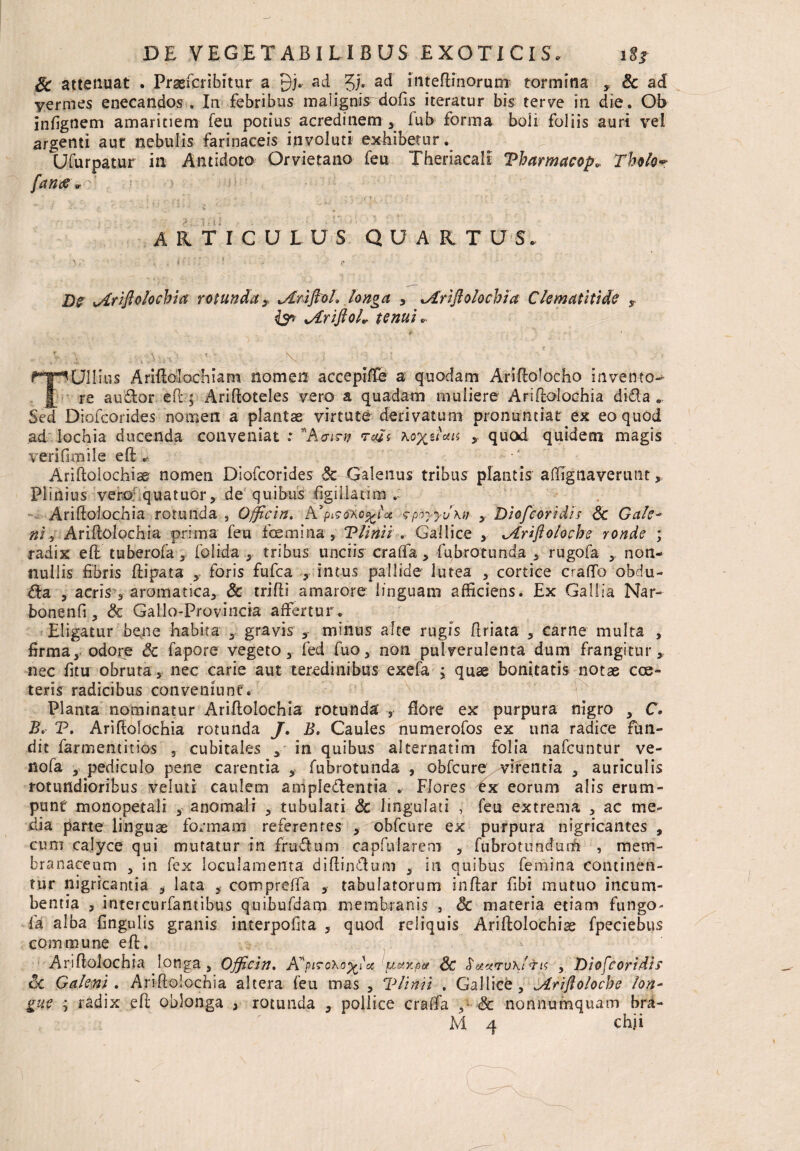 Sc attenuat . Praefcribftur a 9j. ad gj. ad iiiteflinorum- tormina y 6c ad vermes enecandos . In febribus maiignisrdofts iteratur bis terve in die. Ob infignem amaritiem feu potius acredinem , fub forma boli foliis auri vel argenti aut nebulis farinaceis involuti exhibetur. Ufurpatur in Antidoto Orvietano feu Theriacali Tharmacop* Tholo- A R T ICULUS QUARTUS X)g vTrifiolochict rotunda 9 ^Ariflol. longa , %Ariflolochia Clematitide s jLrifioh tenui». Ullius Ariftolochiam nomen accepifle a quodam Ariftolocho invento¬ re au&or eft; Ariftoteles vero a quadam muliere Ariftolochia dida « Sed Diofcorides nomen a planta virtute derivatum pronuntiat ex eo quod ad lochia ducenda conveniat : ’'Aaim retis xox^ais quod quidem magis verifirnile eft; » Ariftolochiam nomen Diofcorides Sc Galenus tribus plantis aftignaverunt, Plinius vero; quatuor, de quibus figillaura Ariftolochia rotunda , Officin. A>p&oiio%l<x spdyyuM , Diofcoridii <& Gale¬ ni y Ariftolochia prima feu fcemina » Tlinii . Gallice , »Ariftoloehe ronde ; radix eft tuberofa , folrda tribus unciis crafta, fubrotunda 3 rugofa , non¬ nullis fibris ftipata y foris fufea , intus pallide lutea , cortice craflfo obdu¬ ra , acris 3 aromatica, & trifti amarore linguam afficiens. Ex Gallia Nar- bonenfi, & Gallo-Provincia affertur . Eligatur bene habita , gravis s minus alte rugis ftriata , carne multa , firma, odore Sc fapore vegeto, fed fuo, non pulverulenta dum frangitur, nec fitu obruta, nec carie aut teredinibus exefa ; quae bonitatis notae cce¬ teris radicibus conveniunt. Planta nominatur Ariftolochia rotunda , flore ex purpura nigro , C. E. T. Ariftolochia rotunda J. B. Caules numerofos ex una radice fun¬ dit farmentitios , cubitales , in quibus alternatim folia nafcuntur ve- nofa , pediculo pene carentia , fubrotunda , obfcure^vifentia , auriculis rotundioribus veluti caulem anipledlentia , Flores hx eorum alis erum¬ punt monopetali , anomali , tubulati Sc lingulati , feu extrema , ac me¬ dia parte linguae formam referentes , obfcure ex purpura nigricantes , cum calyce qui mutatur in frudum capfularem , fubrotundurh , mem¬ branaceum , in fex loculamenta diftindum , in quibus femina continen¬ tur nigricantia , lata , compreffa , tabulatorum inftar fibi mutuo incum¬ bentia , intercurfamibus quibufdarp membranis , & materia etiam fungo- fa alba fingulis granis interpofita , quod reliquis Ariftolochia fpeciebus commune eft. Ariftolochia longa , Officin. KpiroKayff* T*7-?1* &£ SetxrvKlris , Diofcoridif 6c Galeni . Ariftolochia altera feu mas , Tlinii . Gallice, ^Arifto/oche lon¬ gae ; radix eft oblonga , rotunda , pollice craffa ,• & nonnumquam bra-