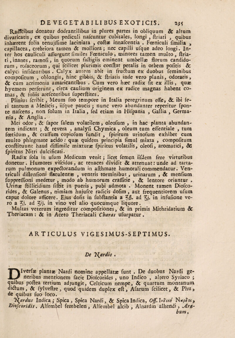 Radf&ibus donatur dodrantilibus in plures partes in obliquum Sc altum divaricatis, ex quibus pediculi nafcuntur cubitales, longi , flriati , quibus inhaerent folia tenujffime laciniata , coftae innafcentia . Foeniculi fimilia , capillacea, crebriora tamen Sc molliora; nec capilli ufque adeo longi. In¬ ter hos cauliculi aflurgunt fi miles Fceniculo, minores tamen multo, Bria- ti,inanes, ramofi, in quorum faftigiis eminent umbellae florum candido-1 rum , rofaceorum, qui fcilicet plurimis conflat petalis in orbem pofitis Sc calyci infidentibus . Calyx autem abit in frudum ex duobus feminibus compofitum , oblongis, hinc gibbis, Sc ftriatis inde vero planis, odoratis, Sc cum acrimonia amaricantibus . Cum vero haec radix fit ex illis , quae hyemem perferunt, circa caulium originem ex radice magnas habent co¬ mas, Sc foliis arefcemibus fuperftites. Plinius fcribit, Meum fuo tempore in Italia peregrinum effe, Sc, ibi fe¬ ri tantum a Medicis, iifque paucis; nunc vero abundanter reperitur fpon- te nafcens, non folum in Italia, fed etiam in Hifpania , Gallia , Germa¬ nia, & Anglia. Mei odor, Sc fapor falem volatilem, oleofum , in hac planta abundan¬ tem indicant ; & revera , analyfl Chymica , oleum tum eflentiale , tum foetidum , & craflum copiofum fundit , fpiritum urinofum exhibet cum multo phlegmate acido: quae quidem principia fimul mixta , compofitum conftituunt haud diflimile mixturae fpiritus volatilis, oleofi, aromatici, 8c fpiritus Nitri dulcificari. Radix fola in ufum Medicum venit; licet femen iifdem fere virtutibus donetur. Humores vifcidos, ac tenaces dividit Sc attenuat: unde ad tarta- rum pulmonum expedorandum in afthmate humorali commendatur. Ven¬ triculi diftenfioni flatulentae , ventris torminibus, urinarum , Sc menfium fuppreffioni medetur , modo ab humorum craflitie , Sc lentore oriantur , Urinae ftillicidium fiftit in pueris , pubi admota . Monent tamen Diofco- rides, Sc Galenus, nimiam hujufce radicis dofim, aut frequentiorem ufum caput dolore afficere. Ejus dofis in fubftantia a ad Jj. in infufione ve¬ ro a 5). ad gij* in vino vel alio quocumque liquore. Multas veterum ingreditur compofitiones, Sc in primis Mithridatium Sc Theriacam: Sc in Aceto Theriacali Charas ufurpatur. ARTICULUS VIGESIMUS-SEPTIMUS. De pardis . Dlverfae plantae Nardi nomine appellatae funt . De duobus Nardi ge¬ neribus mentionem facit Diofcorides , uno Indico , altero Syriaco ; quibus poftea tertium adjungit, Celticum nempe, Sc quartum montanum didum, Sc fylveftre, quod quidem duplex eft, Afarum fcilicet, & Phu* de quibus fuo loco. J^ardus Indica; Spica, Spica Nardi, Sc Spica Indica, Ojf.frfnuf _N *p£ os > Diofcoridis. Alfemlj>el fembelen, Alfembel alcib , Alnardm alhendi, JLra- bum,