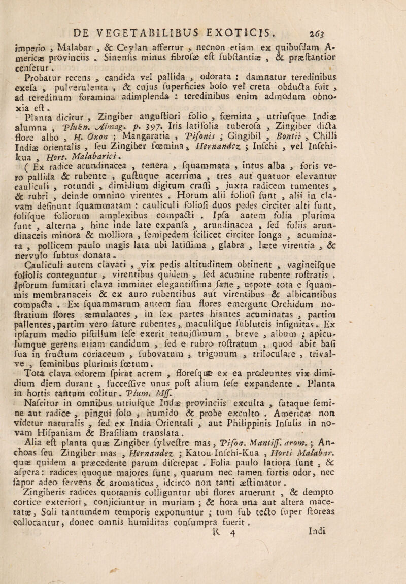 Imperio > Malabar Sc Ceylart affertur necnon etiam ex quibufdam A- mericas provinciis .. Sinenfis minus fibrofas eft fubftandae , & praeftantior cenfetur. Probatur recens * candida vel pallida ,, odorata : damnatur teredinibus exefa , pulverulenta , Sc cujus fu perficies bolo vel creta ohdu&a fuit ,. ad teredinum foramina adimplenda teredinibus enim admodum obno¬ xia effc ^ Planta dicitur * Zingiber anguftiari folio femina ,, utriufque Indiae alumna , Tlukn. Mlmag. p- 397Iris latifolia tuberofa Zingiber difta flore albo > H Oxon ; Mangaratia , Tifonis ; Gingibil ,, Bontii > Chilli Indiae orientalis feu Zingiber femina * Hemandez > Infchi , vel Infchi- kua , Hort. Malabarici. ( Ex radice arundinacea * tenera > fquammata , intus alba ,. foris ve¬ ro'pallida Sc rubente , guftuque acerrima tres aut quatuor elevantur cauliculi ,. rotundi * dimidium digitum craffi , juxta radicem tumentes * Sc rubri , deinde omnino virentes * Horum alii fohofi funt * alii in cla¬ vam delinunt fquammatam : cauliculi foliofi duos pedes circiter alti funt* folifque foliorum amplexibus compagi . Ipfa autem folia plurima funt * alterna * hinc inde late expanfa * arundinacea fed foliis arun¬ dinaceis minora <5c molliora , femi pedem fcilicet circiter longa * acumina¬ ta * pollicem paulo magis lata ubi latiffima * glabra * laete virentia * & nervulo fubtus donata * Cauliculi autem clavati , vix pedis altitudinem obtinent * vagtneifque foliolis conteguntur * virentibus quidem > fed acumine rubente roftratis . Ipforum fumitati clava imminet elegantiflima JkftQ , utpote tota e fquam- mis membranaceis «5c ex auro rubentibus adt virentibus Sc albicantibus compa&a . Ex fqu-ammarum autem finu flores emergunt Orchidum 110- ftratium flores aemulantes * in fex partes hiantes acuminatas * partiai pallentes}partim vero fature rubentes, maculifque fubluteis infignitas. Ex ipfarum medio piftiilum fefe exerit tenujfllmum , breve , album ; apicu- Iumque gerens etiam candidum fed e rubra roAratum * quod abit bafl fua in fru&um coriaceum * fubovatum % trigonum , triloculare , trival- ve , feminibus plurimis fetum . Tota clava odorem fpirat acrem ,. florefqne ex ea prodeuntes vix dimi¬ dium diem durant * fucceflive nnus poft alium fefe expandente . Planta in hortis tantum colitur. Tlum. Mff,l Nafcitur in omnibus utriufque Indae provinciis exculta * fataque femi¬ ne aut radice , pingui folo , humido Sc probe exculto . Americae non videtur naturalis ,, fed ex India Orientali * aut Philippinis Infulis in no¬ vam Hifpaniam Sc Brafiliam translata. Alia eft planta quas Zingiber fylveftre mas, Tifon. Mantijf. arom, A11- choas feu Zingiber mas , Hemandez ;; Katou-Infchi-K.ua , Horti Malabar„ quae quidem a praecedente parum difcrepat . Folia paulo latiora funt , Sc afpera: radices quoque majores funt* quarum nec tamen fortis odor, nec lapor adeo fervens Sc aromaticus, idcirco non tanti aeftimatur. Zingiberis radices quotannis colliguntur ubi flores aruerunt , Sc dempto cortice exteriori,, conjiciuntur in muriam; Sc hora una aut altera mace¬ ratas, Soli tantumdem temporis exponuntur tum fub tedto fuper floreas collocantur, donec omnis humiditas confumpta fuerit. R 4 Indi