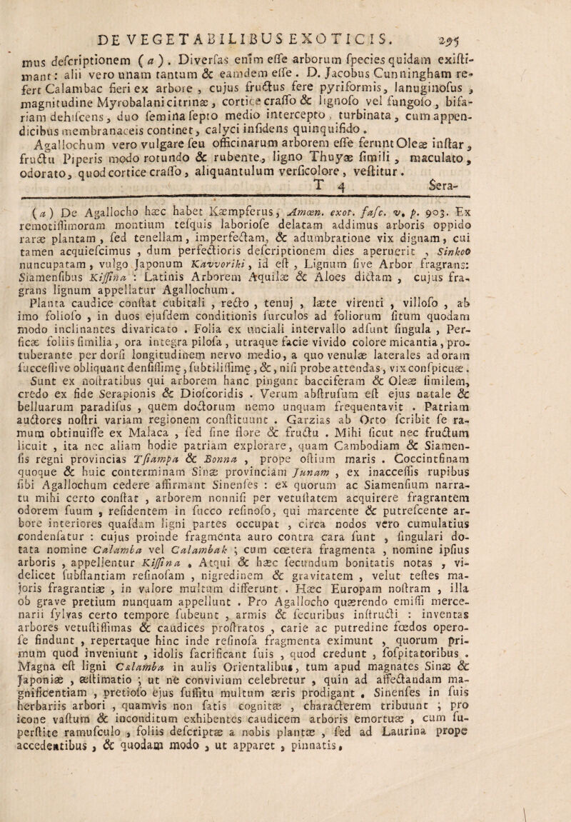 mus Jefcriptionem (a ) . Diverfas enim effe arborum fpeciesquidam exiftr- mant: alii vero unam tantum Sc eam dem effe . D. Jacobus Cunningham re¬ fert Calambac feri ex arbore, cujus fruftus fere pyriformis, Januginofus , magnitudine Myrobalanicitrinae, cortice craffo Sc lignofo vel fungofo , bifa¬ riam dehifcens, duo feminafepto medio intercepto > turbinata, cum appen¬ dicibus membranaceis continet, calyci infidens quinquffido 6 Agallochum vero vulgare feu officinarum arborem effe ferunt Oleae inftar, frufht Piperis modo rotundo Sc rubente, ligno Thuyas fimili , maculato, odorato, q uod cortice craffo, aliquantulum verficolore, vellitur. l 4.. T 4 Sera- (a) De Agallocho hacc habet Kaempferus, Amxn. exot. fafc, v% p. 903. Ex remotiffimorum montium tefquis laboriofe delatam addimus arboris oppido rarae plantam, fed tenellam, imperfe&am, Sc adumbratione vix dignam, cui tamen acquiefcimus , dum perfe&ioris defcriptionem dies aperuerit , Sinkoo nuncupatam , vulgo Japonum Kaworiki, id efl , Lignum five Arbor fragrans: Sianienfibus Kijjtna, : Latinis Arborem Aquila: Sc Aloes didam , cujus fra¬ grans lignum appellatur Agallochum. Planta caudice condat cubitali , redo , tenuj , laete virenti , villofo , ab imo foliolo , in duos ejufdem conditionis furculos ad foliorum fitum quodam modo inclinantes divaricato . Folia ex unciali intervallo adfunt fingula , Per¬ ficae foliis (lrnilia, ora integra pilofa, utraque facie vivido colore micantia, pro¬ tuberante per dorfi longitudinem nervo medio, a quo venulae laterales ad oram fueceffive obliquant denfiffime 5 fubriii(lime , & , nili probe attendas, vixconfpicuse. Sunt ex aoftratibus qui arborem hanc pingunt bacciferam Sc Oles fimilem, credo ex fide Serapionis Sc Diofcoridis . Verum abftrufum efl: ejus natale Sc belluarum paradifus , quem dodorum nemo unquam frequentavit . Patriam audores noflri variam regionem conflituunt . Garzias ab Orto fcribit fe ra¬ mum obtinuiffe ex Malaca , fed fine flore 3c frudu . Mihi ficut nec frudum licuit , ita nec aliam hodie patriam explorare, quam Cambodiam Sc Siamen- fis regni provincias Tfiampa Sc Bonna , prope odium maris . Coccintfinam quoque Sc huic conterminam Sinas provinciam Junam , ex inacceffis rupibus sibi Agallochum cedere affirmant Sinenfes : e* quorum ac Siamenfium narra¬ tu mihi certo conflat , arborem nonnifi per vetuflatem acquirere fragrantem odorem fuum 5 refidentem in fucco refinofo, qui marcente & putrefcente ar¬ bore interiores quafdam ligni partes occupat , circa nodos vero cumulatius condenfatur : cujus proinde fragmenta auro contra cara funt , Angulari do¬ tata nomine Cklamba vel Calambak ; cum coetera fragmenta , nomine ipfius arboris , appellentur Kijfina » Atqui Sc hasc fecundum bonitatis notas , vi¬ delicet fubflantiam refinofam , nigredinem Sc gravitatem , velut teftes ma¬ joris fragrantias , in valore multum differunt . Haec Europam noflram , illa ob grave pretium nunquam appellunt . Pro Agallocho quaerendo emiffi merce¬ narii fylvas certo tempore fubeunt , armis Sc fecuribus inftrudi : inventas arbores vetuftiffimas & caudices proflratos , carie ac putredine foedos opero- fe findunt , repertaque hinc inde refinofa fragmenta eximunt , quorum pri¬ mum quod inveniunt , idolis facrificant fuis , quod credunt , fofpitatoribus . Magna efl ligni Cdtimba in aulis Grientalibu*, tum apud magnates Sinas Sc Japoniae , adlimatio j ut ne convivium celebretur , quin ad affedandam ma¬ gnificentiam , pretiofo ejus fuffitu multum aeris prodigant « Sinenfes in fuis herbariis arbori , quamvis non fatis cognitae , chara&erem tribuunt ; pro icone vaftura Sc inconditum exhibentes caudicem arboris emortuas , cum fu- perflite rarnufculo , foliis defcriptse a nobis plantae , fed ad Laurina prope