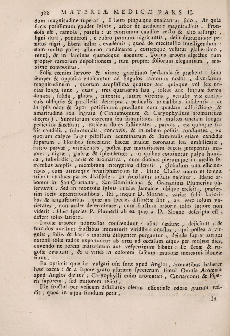 dum magnitudine fuperat , fi laeto pinguique enafcantur folo . At quu ficcis potiffimum gaudet fylvis , arbor fit mediocris magnitudinis . Fron- dofa eft , ramofa , patula : ut plurimum caudice redo Sc alto afifurgit , ligni duri , ponderofi , e rubro primum nigricantis > dein diuturnitate pe¬ nitus nigri , Ebeni inftar , evadentis ; quod de meditullio intelfigendum : nam multo pollet alburno candicante , corticeque vellitur glaberrimo , tenui, Sc ^ laminas quandoque abeunte . Totius arboris afpedus tum propter ramorum dilpofitionem , tum propter foliorum elegantiam , sna^ xime compofitus. Folia etenim laevore Sc virore gratiffimo fpedanda fe praebent : bina femper Sc oppofita enafcuntur ad fingulos ramorum nodos * diverfarum magnitudinum , quorum ampliffima quatuor aut quinque vel fex un¬ cias longa funt , duas , tres quatuorve lata , foleae aut linguae forma donata , folida , glabra , nitentia , fature virentia , venulis vix confpi- cuis obliquis Sc parallelis defcripta , pediculis uncialibus in fidenti a : at in ipfis odor Sc fapor potiffimum praeftanc cum quadam adflridione Sc amaritudine non ingrata ( Cinnamomum Sc Caryophyllum aromaticum diceres) , Surculorum extrema feu fu minitares In multos unciam longos pediculos faceffirnt x totidem flores fu Ili nentes 5 parvos , ex quinque fo¬ liis candidis , fubrotundis , concavis, Sc in orbem politis conflantes ,, ex quorum calyce fingit piflillum acuminatum & flammulis etiam candidis ilipatum . Floribus fuccedunt baccae multae, coronatae feu umbilicata Initio parv^ , virefeentes , poflea per maturitatem baccis juniperi ilis ma¬ jores x nigrae , glabrae Sc fplendentes 2 in quibus continetur pulpa humi- da , fubvkidis , acris Sc aromatica , cum duobus plerumque in medio fe¬ minibus amplis 5. membrana intergerina difereris , globulum una efficien- ribus , cum utrumque hemifphaericum fit . Hinc Clufius unum ei femen tribuit m duas partes divifibile . In Antillanis infulis nafeitur . Hanc ar¬ borem in San-Cruciana , San-Dominicana Sc Granadinis Plumerius ob- fervavit . Sed in montofis fylvis infulae Jamaicae ubique crefcit , praefer- tim locis feptentrioaalibus . Ibi , inquit D. Sloane , variat foliis latiori¬ bus Sc anguflioribus , quae an Ipecies diflin&se fint 5 au vero folum va¬ rietates , non audet determinare , cum frudtum arboris folio latiore non viderit .. Haec ipecies P. Plumerli ab ea quae a D. Sloane defcripta efir’ , differt folio latiore. Incolae arbores nonnullas confcendunt * alia? caedunt 5> dejiciunt ; Sc furculos avellunt frudlibus immaturis viridibus onufios , qui poflea a vir- gulis , foliis Sc baccis maturis diligenter purgantur , deinde fupra pannos extenfi iolis radiis exponuntur ab ortu ad occafum ufque per multos dies, cavendo ne rorem matutinum aut vefpertinum bibant : fic Eccx Sc ru- gofas evadunt 3 Sc a viridi in colorem fufeum mutatas mercatui idoneae fiunt. Ex optimis quae io vulgari ufu funt apud Angios, aromatibus habetur fiaec bacca : & a fapore grato plurium fpecierum fimul Omnia Aromata apud Anglos dicitur ; Caryophylli enim aromatici , Cinnamomi Sc Pipe¬ ris faporem , fed mitiorem refert. Ille fru&us per veficam diflillatus oleum efientiafe odore gratum red¬ dit 5 quod in aqua fundum petit e Ia