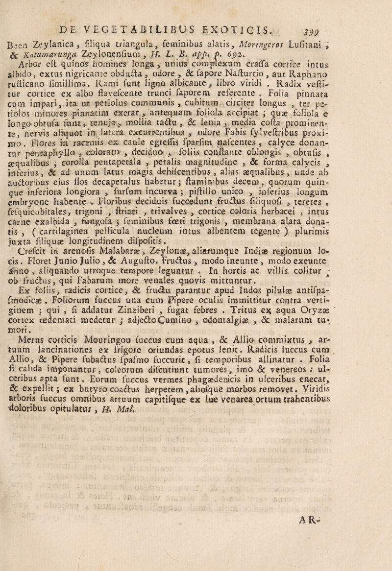 Bieii Zeylanica , filiqua triangula, feminibus alatis, Moringeros Lufitani $ gt Katumanittga Zeyionenfium , H. L. B. app. p. 65)2. Arbor eft quinos homines longa , unius complexum craflfa cortice intus albido, extus nigricante obduda , odore , Sc fapore Nafturtio, aut Raphano rufficano fimillima. Rami funt ligno albicante, libro viridi . Radix vehi¬ tur cortice ex albo flavefcente trunci fapore m referente . Folia pinnata cum impari, ita ut petiolus communis , cubitum circiter longus , ter pe¬ tiolos minores pi anati m exerat, antequam foliola accipiat ; quas foliola e longo-obtufa funt, tenuja , mollia tadu, & lenia , media coha prominen¬ te, nervis aliquot 111 latera excurrentibus , odore Fabis fylveftribus proxi¬ mo. Flores in racemis ex caule egreffis fparfmi nafcentes , calyce donan¬ tur pentaphyllo colorato , deciduo , foliis conflante oblongis , obtufis , aequalibus ,* corolla pentapet-ala , petalis magnitudine , & forma calycis , inferius, Sc ad unum latus magis dehifcentibus , alias aequalibus, unde ab audoribus ejus flos decapetalus habetur; flaminibus decem, quorum quin¬ que inferiora longiora , furfum incurva ; piflillo unico , inferius longum embryone habente . Floribus deciduis fuccedunc frudus filiquofi , teretes , fefqmcubitales, trigoni , firiati , trivalves , cortice coloris herbacei , intus carne exalbida , fungofa ; feminibus foeti trigonis , membrana alata dona¬ tis , (cartilaginea pellicula nucleum intus albentem tegente ) plurimis juxta filiquae longitudinem difpofitis. Crefcit in arenofis Malabarac, Zeylonae, aliarumque Indiae regionum lo¬ cis. Fioret Junio Julio , Sc Auguflo. Frudus, modoineunte, modoexeunte anno , aliquando utroque tempore leguntur . In hortis ac villis colitur ~ ob frudus, qui Fabarum more venales quovis mittuntur. Ex foliis, radicis cortice, Sc frudn parantur apud Indos pilulae antifpa- fmodicae . Foliorum fuccus una cum Pipere oculis immittitur contra verti¬ ginem ; qui , fi addatur Zinzsberi , fugat febres . Tritus ex; aqua Oryzae cortex oedemati medetur ; adjedo Cumino , odontalgias , Sc malarum tu¬ mori. Merus corticis Mouringou fuccus cum aqua , Sc Allio commixtus > ar¬ tuum lancinationes ex frigore oriundas epotus lenit. Radicis fuccus cum Allio, Sc Pipere fubadus fpafmo fuccurit, fi temporibus allinatur . Folia fi calida imponantur, coleorum difcutiunt tumores* imo & venereos : ul¬ ceribus apta funt. Eorum fuccus vermes phagaedenicis in ulceribus enecat, Sc expellit; ex butyrocoadus herpetem ,aliofque morbos removet. Viridis arboris fuccus omnibus artuum eapitifque ex lue Venavea ortum trahentibus doloribus opitulatur, H* Mah 1 AR-