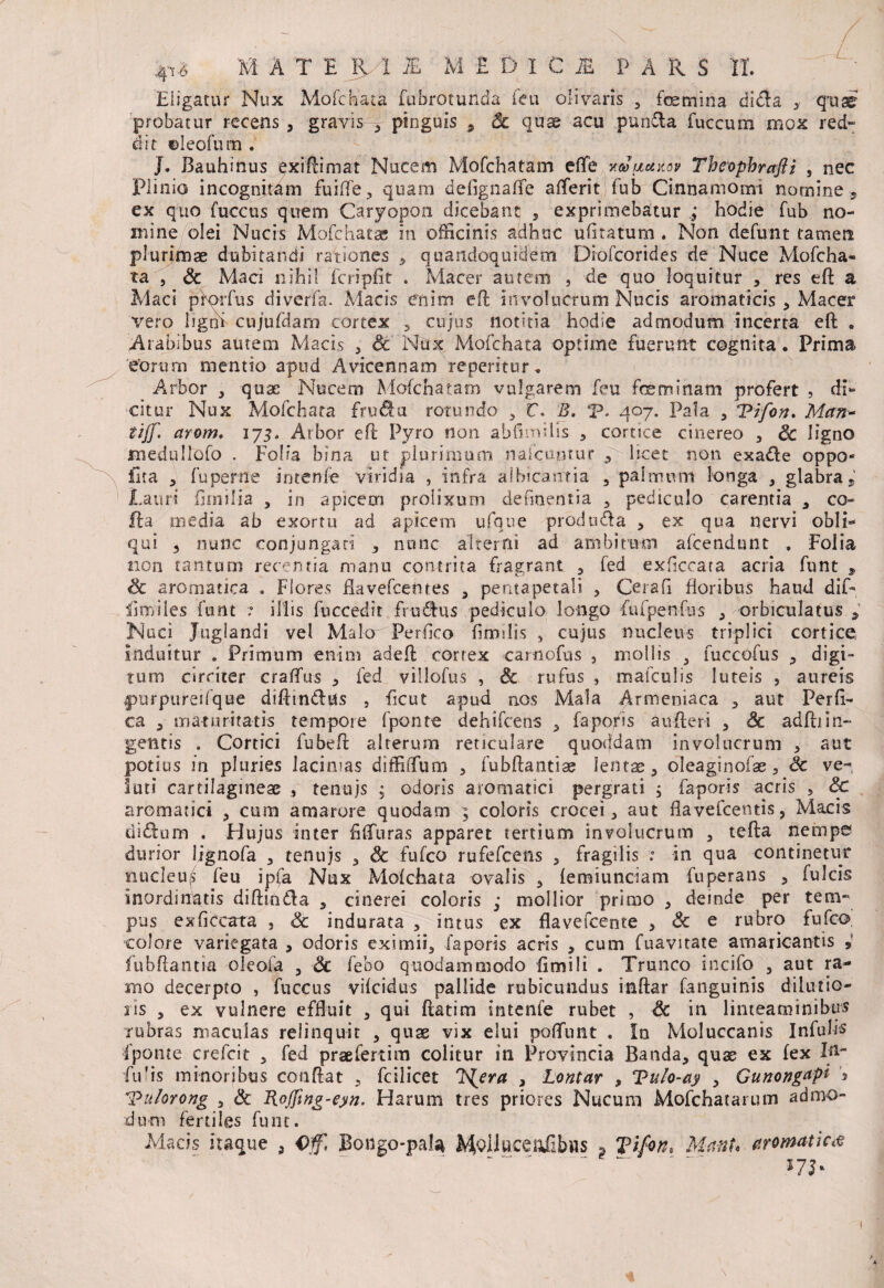 Eligatur Nux Mofchata fubrotunda feu olivaris , femina di£Ta , qife probatur recens, gravis-*-'pinguis , Sc quae acu punfla fuccum mox red¬ dit ©leofum . J. Bauhinus exiftimat Nucem Mofchatam efie xcJucikov Theophrafti 9 nec Plinio incognitam fuifie, quam defignaffe aflferit fub Cinnamomi nomine , ex quo fuccus quem Caryopon dicebant , exprimebatur ; hodie fub no¬ mine olei Nucis Mofchatae in officinis adhuc ufitatum . Non defunt tamen plurimae dubitandi rationes , quandoquidem Diofcorides de Nuce Mofcha- ta , & Maci nihil icripfit . Macer autem , de quo loquitur , res eft a Mac! prorfus diverfa. Macis enim eft involucrum Nucis aromaticis, Macer vero ligni cujufdam cortex , cujus notitia hodie admodum incerta eft „ Arabibus autem Macis , Sc Nux Mofchata optime fuerunt cognita. Prima eorum mentio apud Avicennam reperitur. Arbor , quae Nucem Mofchatam vulgarem feu feminam profert , di* cltur Nux Mofchata fru&u rotundo y t. B, T* 407. Pala , Vifon. Mcin- tijf. arom. 173. Arbor eft Pyro non abfimilis , cortice cinereo , Sc ligno medullofo . Folia bina ut plurimum naictmtur , licet non exadle oppo- ilta , fu perne intenfe viridia , infra albicantia , palmum longa , glabra. Lauri firnilia , in apicem prolixum defmentia , pediculo carentia , co¬ lla inedia ab exortu ad apicem ufque produfla , ex qua nervi obii* qui , nunc conjungari , nunc alterni ad ambitum afcendunt . Folia non tantum recentia manu contrita fragrant , fed exficcata acria funt » Sc aromatica . Flores flavefcentes , pentapetali , Cerafi floribus haud dif- fimiles funt 7 illis fuccedit fr udius pediculo longo fufpenfus , orbiculatus , Nuci Juglandi vel Malo Perfico fimilis , cujus nucleus triplici cortice induitur . Primum enim adeft cortex camofus , mollis , fuccofus , digi¬ tum circiter craffus , fed villofus , Sc rufus , mafculis luteis , aureis purpureifque diftin&Us , ficut apud nos Mala Armeniaca , aut Perfi¬ ca , maturitatis tempore fponte dehifcens , faporis au fleri , Sc adftiin¬ gentis . Cortici fubeft alterum reticulare quoddam involucrum , aut potius in pluries Jacimas diffilfum , fubftantiae lentae, oleaginofae, Sc ve¬ lati cartilagineae , tenujs , odoris aromatici pergrati 5 faporis acris , Sc aromatici , cum amarore quodam , coloris crocei, aut flavefcentis, Macis tiidlum . Hujus inter fi (furas apparet tertium involucrum , tefta nempe durior Ijgnofa , tenujs , Sc fufco rufefceiis , fragilis 7 in qua continetur nucleu^ feu ipfa Nux Mofchata ovalis , femiunciam fu peratis , fulcis inordinatis diftioda , cinerei coloris ,• mollior primo , deinde per tem¬ pus exficcata , Sc indurata , intus ex flavefcente , Sc e rubro fufco, coJore variegata , odoris eximii, faporis acris , cum fuavirate amaricantis , fubftantia oieofa , & febo quodammodo fimili . Trunco incifo , aut ra¬ mo decerpto , fuccus vifcidus pallide rubicundus inftar fanguinis dilutio¬ ris , ex vulnere effluit , qui ftatim intenfe rubet , Sc in linteaminibus rubras maculas relinquit , quae vix elui poffunt . In Moluccanis Infulis fponte crefcit , fed praeferiim colitur in Provincia Banda, quas ex fex Ifl- fidis minoribus conflat , fcilicet J^era , Lontar , Tulo-ay , Gunongap* '* IPuforong , Sc Rojfwg-eyn. Harum tres priores Nucum Mofchatarum admo¬ dum fertiles funt. Macis itaque , Qf, Bongo-paJa i$olJ«ceafibws ? Tifan* MmU aromatica *7b
