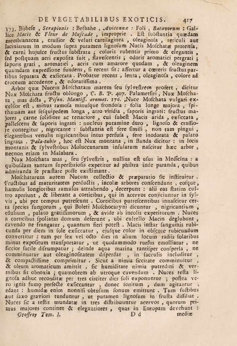 \ ;j, Bisbefe 3 Serapionis : Befbahe , Mvicenntf : Foli , Batavorum : Gal¬ lice Macis Sc Fleur de Mufcade , improprie . Eft fubftantia quasdam membranacea , craffior Sc velati cartilaginea , oleaginofa 3 reticuli aut laciniarum in modum fupra putamen IignoEum Nucis Mofchatas protenfa, & carni hujulce fru&us fubhrata ; coloris rubentis primo Sc elegantis * fed poftquam aeri expolita fuit , flavefcentis ; odoris aromatici pergrati ; faporis grati , aromatici , acris cum amarore quodam , Sc oleaginem quamdam exprefllone fundens, fi recens fit: affertur a coeteris frudtuspar¬ tibus feparata Sc exficcata . Probatur recens , lenta, oleaginofa , colore ad Croceum accedente , Sc odoratifTima . Arbor quae Nucern Mofchatam marem feu fylveflrem profert , dicitur Nux Molchata frtidlu oblongo , C. B. T. 407. Palametfiri 3 Nux Mofcha- ta , mas didla , Tifon, Mantijf. aromai. ij6. ,Nuce Mofchata vulgari ex- ceifior efl , minus ramofa minufque frondofa : folia longe majora , fpi- thamam aut fefquipedem longa , atro viridia , faporis ingrati: frudlus ma¬ jores , carne folidiore ac tenaciore , cui fubeft Macis arida ., exficcata 9 pallefcens & faporis ingrati : nucleus putamine duro , lignofo Sc craflio- ie contegitur , nigricante 7 fubftantia eft fere fimili , non tam pingui , elegantibus venulis nigricantibus intus perfufa , fere inodorata & palato ingrata . Tafa-tuhir , hoc eft: Nux montana , in Banda dicitur : in locis montanis Sc fylveftribus Moluccanarum infularum nafcitur haec arbor 2 necnon etiam in Malabara „ Nux Mofchata mas , feu fyiveftris , nullius eft ufus in Medicina : a quibufdam tantum fuperfticiofis expetitur ad philtra inde paranda , quibus admiranda fe prseftare poffe exiftimant. Mofchatarum autem Nucum celle&io Sc praeparatio fic inftituitur . Trudibus ad maturitatem perduilis } incolae arbores confcendunt , eofque^ hamulis longioribus ramulos attrahendo , decerpunt : alii eas ftatim cul¬ tro aperiunt 8 Sc liberant a corticibus, qui in acervos conjiciuntur in fyi- yis p ubi per tempus putrefcunt . Corticibus putrefcentibus innafcitur cer¬ ta fpecies fungorum , qui Boleti Mofchocaryni dicuntur , nigricantium s edulium , palato gratiffimorum , Sc avide ab incolis expetitorum . Nuces a corticibus fpoliatas domum deferunt , ubi cultello Macin deglubunt , cavendo ne frangatur , quantum fieri poteft . Macis inftar fangumk rubi¬ cunda per diem in fole exficcatur , ejufque color in obfcmg rubicundum convertitur : tum per fex vel odo dies in alium locum radiis foiaribus minus ex pontum tranfportatur , ut quodammodo rurfus emolliatur , ne ficcior facile difrumpatur , deinde aqua marina tantifper confperla , ne comminuatur aut oleaginofitatem difperdat , in faeculis includitur , cc compadiffime comprimitur . Sicut a nimia liccitate comminuitur , Sc oleum aromaticum amittit , fic humiditate nimia putredini Sc ver¬ mibus fit obnoxia ; quamobrem ab utroque cavendum . Nuces tefta li- gnofa adhuc reconditae per tres circiter dies foli exponuntur ; poftea ve» ro ignis fumo perfede exficcantur , donec fonitum , dum agitantur , edant : humidae enim nonnifi obtufum fonum emittunt . Tum fuftibus aut faxo graviori tunduntur , ut putamen iignofum in frufta dilfihat » Nuces fic a teftis mundatae in tres diftribuuntur acervos , quorum pri¬ mus majores continet Sc elegantiores 9 quas in Euiopam devehunt : Qeoffroy L D d mediae