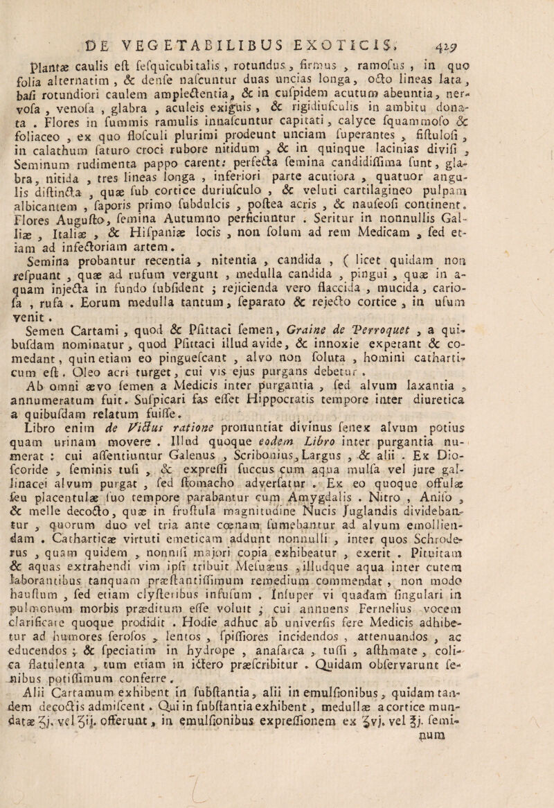 Plantae caulis e(l fefquicubitalis , rotundus., firmus , ramofus } in quo folia alternatim , Sc denfe nafcuntur duas uncias longa, odio lineas lata , bafi rotundiori caulem ampledentia^ & in cufpidem acutum abeuntia, ner- vofa , venofa , glabra , aculeis exiguis , Sc rigidiufculis in ambitu dona¬ ta . Flores in fummis ramulis In nafcuntur capitati, calyce fquammofo Sc foliaceo , ex quo flofculi plurimi prodeunt unciam (operantes , fiflulofi , in calathum faturo croci rubore nitidum , Sc in quinque lacinias divifi , Seminum rudimenta pappo carent; perfe&a femina candidiffima funt, gla¬ bra, nitida , tres lineas longa , inferiori parte acutiora ,. quatuor angu¬ lis diftin&a , quae fub cortice duriufcuio , Sc veluti cartilagineo pulpam albicantem , faporis primo fubdulcis , poftea acris , Sc naufeofi continent. Flores Auguflo, femina Autumno perficiuntur . Seritur in nonnullis Gal¬ liae , Italis , Sc Hifpaniae locis , non folum ad rem Medicam , fed et¬ iam ad infeftoriam artem* ... Semina probantur recentia , nitentia , candida , ( licet quidam non j*efpuant , quae ad rufum vergunt , medulla candida , pingui , quae in a- quam inje&a in fundo fubfident ; rejicienda vero flaccida , mucida, cario- fa , rufa . Eorum medulla tantum, feparato Sc rejedlo cortice, in ufum venit . Semen Cartami , quod & Pflttaci femen, Graine de Verroquet , a qui- bufdam nominatur, quod Pfictaci illud avide, Sc innoxie expetant Sc co¬ medant, quin etiam eo pinguefcant , alvo non foluta , homini catharti- cum eft . Oleo acri turget, cui vis ejus purgans debetur . Ab omni aevo femen a Medicis inter purgantia , fed alvum laxantia , annumeratum fuit* Sufpicari fas eflfet Hippocratis tempore inter diuretica a quibufdam relatum fuilfe* Libro enim de Vittus ratione pronuntiat divinus fenex alvum potius quam urinam movere . Illud quoque eodem Libro inter purgantia nu¬ merat ; cui aflCetitiuntur Galenus , Scribonius, Largus , Sc alii . Ex Dio- fcoride , feminis tuli , Sc exprefii fuccus cum aqua mulfa vel jure gal¬ linacei alvum purgat , fed ftomacho adyerfatur . Ex eo quoque offulse feu pjacentulae luo tempore parabantur cum Amygdalis . Nitro , Anifo , Sc meile deco&o, quas in fruffula magnitudine Nucis juglandis divideban¬ tur , quorum duo vel tria ante coetiara (umebantur ad alvum emollien¬ dam . Catharticae virtuti emeticam addunt nonnulli , inter quos SchroJe?* rus , quam quidem 5, nonmil majori conia exhibeatur , exerit . Pituitam Sc aq nas extrahendi vim jpfi tribuit Mefuaeus , illudque aqua inter cutem laborantibus tanquarn prae ftant i (fimum remedium commendat , non modo haufium , fed etiam clyfteribus infufum . Infuper vi quadam lingulari in pulmonum morbis proditum e (Te voluit ; cui annuens Fernelius vocem clarificare quoque prodidit . Hodie adhuc ab univerfis fere Medicis adhibe¬ tur ad humores ferofos , lentos , fpiffiores incidendos , attenuandos , ac educendos ^ Sc fpeciatim in hydrope , a na fa rea ,. tuffi , afthmate , coli¬ ca flatulenta , tum etiam in idfero praeferibitur * Quidam obfervarunt fe- nibus potiffirnum conferre, Alii Cartamum exhibent in fubftantia, alii in emulfionibus, quidam tan¬ dem decodis admifeent * Qui in fubftantia exhibent, medullae a cortice mun¬ datas vel gij/ offerunt, in emulfionibus exprefiionem ex 5vj. veljj. femi¬ num