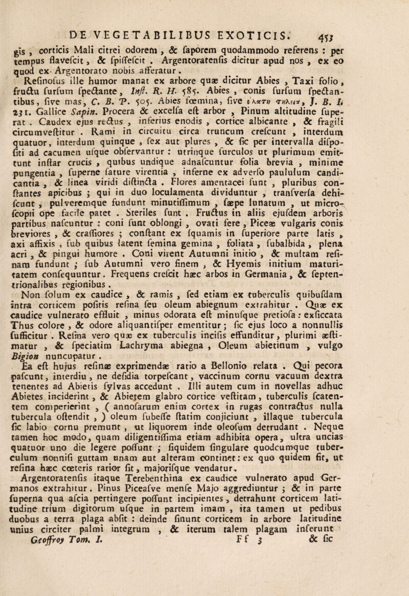 gls , corticis Mali citrei odorem , Sc faporcm quodammodo referens : per tempus flavefcit, Sc fpiffefcit , Argentoratenfis dicitur apud nos , ex eo quod ex- Argentorato nobis afferatur . Refinofus ille humor manat ex arbore quae dicitur Abies , Taxi folio , £ru£fcu furfum fpe&ante, Inft. R. H- 585. Abies , conis furfum fpe&an- tibus, five mas, C. B. V. 505. Abies foermna, five s kut» , J. B. h 231. Gallice Sapin. Procera Sc excelfa eft arbor , Pinum altitudine fupe- rat . Caudex ejus re&us , inferius enodis , cortice albicante , Sc fragili circumveftitur . Rami in circuitu circa truncum crefcunt , interdum quatuor, interdum quinque 3 fex aut plures , Sc fic per intervalla difpo- fiti ad cacumen ufque obfervatnur : utrinque furculos ut plurimum emit¬ tunt inftar crucis , quibus undique adnafcuntur folia brevia , minime pungentia , fuperne fature virentia , inferne ex adverfo paululum candi¬ cantia , Sc linea viridi diftindla . Flores amentacei funt , pluribus con¬ flantes apicibus j qui in duo loculamenta dividuntur , tranfverfa dehi- fcunt , pulveremque fundunt minutiffimum , faepe lunatum , ut micro- fcopii ope facile patet . Steriles funt . Fruflus in aiiis ejufdem arboris partibus nafcuntur : coni funt oblongi , ovati fere , Piceae vulgaris conis breviores , Sc craffiores ; conflant ex fquamis in fuperiore parte latis , axi affixis , fub quibus latent femina gemina , foliata , fubalbida , plena acri , & pingui humore . Coni virent Autumni initio , Sc multam refi- nara fundunt ; fub Autumni vero finem , Sc Hyemis initium maturi¬ tatem confequuntur. Frequens crefcit haec arbos in Germania, Sc fepten- trionaiibus regionibus . Non folum ex caudice , Sc ramis , fed etiam ex tuberculis quibufdam sntra corticem politis refina feu oleum abiegnum extrahitur . Quae ex caudice vulnerato effluit , minus odorata eft minufque pretiofa: exficcata Thus colore , Sc odore aliquantifper ementitur; fic ejus loco a nonnullis fufficitur . Relina vero quae ex tuberculis incifis effunditur, plurimi aefti- matur , Sc fpeciatim Lachryma abiegna , Oleum abietitium , vulgo Bigion nuncupatur . £a eft hujus refinae exprimendae rado a Bellonio relata . Qui pecora pafcunt, interdiu , ne defidia torpefcant, vaccinum cornu vacuum dextra tenentes ad Abietis fylvas accedunt . Illi autem cum in novellas adhuc Abietes inciderint, & Abietem glabro cortice veftitam , tuberculis fcaten- tem comperierint , ( annofarum enim cortex in rugas contradlus nulla tubercula oftendit , ) oleum fubeffe ftatim conjiciunt , iliaque tubercula fic labio cornu premunt , ut liquorem inde oleofum detrudant . Neque tamen hoc modo, quam diligentiffima etiam adhibita opera, ultra uncias quatuor uno die legere poffunt ,* liquidem Angulare quodcumque tuber¬ culum noonifi guttam unam aut alteram continet: ex quo quidem fit, ut refina haec cceteris rarior fit, majorifque vendatur^ Argentoratenfis itaque Terebenthina ex caudice vulnerato apud Ger¬ manos extrahitur. Pinus Piceafve menfe Majo aggrediuntur ; Sc in parte fuperna qua afcia pertingere poffunt incipientes, detrahunt corticem lati¬ tudine trium digitorum ufque in partem imam , ita tamen ut pedibus duobus a terra plaga abfit : deinde finunt corticem in arbore latitudine unius circiter palmi integrum , Sc iterum talem plagam inferunt Geoffiroy Tom. h Ff j & fic