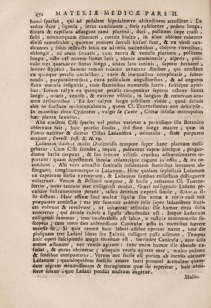 humi fparfus 3 qui ad pedalem bipedalemve altitudinem attollitur i Ex radice dura 3 lignofa 3 intus candicante 3 foris rufefcente 3 pedem longa, fibrata & capiilata affingunt rami plurimi 3 duri , pollicem faepe craffi , fufci 3 nonnunquam cineracei , cortice hiulco 3 in alios obfcure rubentes divifi ramufculos > quorum juniores furculi hirfuti funt 3 & ex viridi can¬ dicantes ; foliis inflru&i binis ex adverfo nafcentibus 3 obfcure virentibus 3 oblongis , ad oram fir.uatis 3 cum nervis & venulis plurimis > pollicem longis 3 o<flo vel novem lineas latis , obtufe acuminatis 3 afperis , pedi¬ culo nes quatuorve lineas longo 3 unam lato innixis 3 faports herbacei 3 leviter ftyptici , Summi ramuli rofaceis ornantur floribus 3 qui conflant ex quinque petalis uncialibus 3 varie Sc inaequaliter complicatis 3 fubro- tundis 3 purpurafcentibus 3 circa pediculum anguftioribus , Sc ad unguem flava macula infignitis , cum flaminibus numerofis luteis , fufcifque apici¬ bus . Eorum calyx ex quinque petalis componitur feptem odtove lineas longis 3 ovatis, venofis , Sc externe villofis, in longum Sc recurvum acu¬ men delinentibus . Ex hoc calyce furgit piftillum viride , quod deinde abit in fiuTum multicapfulatem , quem Cl. Tournefortius non defcripfit, In montibus circa Cydonem , vulgo /a Canee > Cretas infulae metropolim haec planta luxuriat. Alia ejufdem Cilli fpecies vel potius varietas a periiifilmo illo Botanico obfervata fuit , huic prorfus fimilis , fed flore longe majore ; quae in Ponto nafcitur & dicitur Ciflus Ladanifera , orientalis , flore purpureo majore , CorolL Infi, R. H. 19. Ladanuny duobus modis Diolcoridis tempore fu per hanc plantam colli¬ gebatur . Cum Cifti frondes , inquit , pafcuntur capras hircique , pingue¬ dinem barba carpunt , Sc fuo lentore villofls cruribus adhaerefcentem re¬ portant : quam depetentes incolas colantefque cogunt in offas , Sc ira re¬ condunt . Alii vero attradis funiculis infidentem fruticibus lentorem ab- Aergunt, conglomerantque in Ladanum. Hmc quidam feplafiarii Ladanum ex caprarum barba exemptum, Sc Ladanum funibus collectum diflinguere voluerunt. Verum $e Belloni? tempore , Sc hodie 3 referente Cl. Tourne- for t io , unus tantum erat colligendi modus. Graeci colligendo Ladano pe¬ culiare inflrumentum parant , raflro dentium experti fimile , Rph*npi il¬ lis ditflum . Huic affixae funt multae ligulas five zonae e coria rudi nec praeparato confedas : eas per fummos ardores folis fuper ladaniferos fruti¬ ces volvunt Sc revolvunt , ut inhaereat refinofus ille humor circa folia concretus x qui deinde cultris a ligulis abradendus eft . Itaque Ladanum colligendi fummus imo intolerabilis efl labor, a ruflicis tantummodo fu- fceptus , cum totos dies ardentiflimo Caniculae acftu in montibus haerere tsecefle fit . Si quis tamen huic labori a Ardue operam navet , uno die plufquam tres Ladani libras feu ^xlviij. colligere poffe afferunt . Tempus huic operi fufcipietido magis idoneum efl , fceviente Canicula , aere folis ardore aefluante , nec ventis agitato : tunc enim humor ille abunde ex- fudat , Sc purus obtinetur ; alioquin ventis agitato aere , muko pulvere Sc fordibus confpurcatur . Verum nec facile efl purum ab incolis obtinere Ladanum ; quandoquidem fordido amore lucri promoti arenulam quam¬ dam nigram minutiffimam Sc ferrugineam quae ibi reperitur 3 huic admT fcere folent *quo Ladani pondus multum augetur. 4 ' __ Mulio*