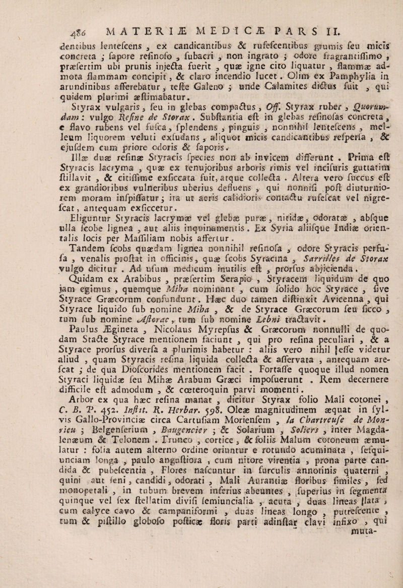 dentibus kntefcens , ex candicantibus Sc rufefcentibus grumis feu micis concreta ; fapore refinofo , fubacri , non ingrato ; odore fragramiffimo , pnefertiin ubi prunis injeda fuerit , quae igne cito liquatur , flammae ad¬ mota flammam concipit, Sc claro incendio lucet. Olim ex Pamphylia in arundinibus afferebatur , teffe Galeno j unde Calamites didus fuit , qui quidem plurimi aeftimabatur. Styrax vulgaris, feu in glebas compadus , Off. Styrax ruber * Quorum¬ dam : vulgo Refine de Storax. Subftantia efl in glebas refinofas concreta s € flavo rubens vel fufca , fplendens , pinguis , nonmhil lentefcens , mel¬ leum liquorem vehit i exludans , aliquot micis candicantibus refperia , Sc ejufdem cum priore odoris Sc faporis. Illas duae refinae Styracis fpecies non ab invicem differunt . Prima efl: Styracis lacryma , quae ex tenujoribus arboris rimis vel incifuris guttatim Hilla vit 3 Sc citiflime exficcata fuit, atque coi leda . Altera vero fuccus efl ex grandioribus vulneribus uberius defluens , qui nonnifi pofl diuturnio¬ rem moram infpiflatur, ita ut aeris calidioris- comadu rufefcat vel nigre- fcat, antequam exficcetur. Eliguntur Styracis lacrymac vel glebas purae, nitidae, odoratae , abfque ulla fcobe lignea , aut aliis inquinamentis . £x Syria aliifque Indis orien» falis locis per Mafliliam nobis affertur . Tandem fcobs quaedam lignea nonnihil refinofa , odore Styracis perfu- fa , venalis proflat in officinis, qua» fcobs Syracina , Sarnlles de Storax vulgo dicitur . Ad ufum medicum inutilis efl , prorfus abjicienda. Quidam ex Arabibus , prae fer tim Serapio , Styracem liquidum de qtio jam egimus , quemque Miba nominant , cum iolido hoc Styrace , five Styrace Grsecorum confundunt. Hase duo tamen diffinxit Avicenna , qui Styrace liquido fub nomine Miba , Sc de Styrace Graecorum feu flcco 5 tum fub nomine ^Aflorae, tum fub nomine Lebnl tradavit. Paulus JEgineta , Nicolaus Myrepfus Sc Graecorum nonnulli de quo¬ dam Stade Styrace mentionem faciunt , qui pro refina peculiari , Sc a Styrace prorfus diverfa a plurimis habetur : aliis vero nihil jeffe videtur aliud , quam Styracis reffna liquida colleda & affervata , antequam are- fcat ; de qua Diofcorides mentionem facit . FortafTe quoque illud nomen Styraci liquidae feu Mihae Arabum Graeci impofuerunc . Rem decernere difficile efl admodum , Sc cceteroquin parvi mopienti. Arbor ex qua haec refina manat , dicitur Styrax folio Mali cotonei » C. B. T. 452. Inflit. Jti. Herbar. 5578. Oleae magnitudinem aequat in fyi- vis Gallo-Provinciae circa Cartufiam Morienfem , /a Cbartreufe de Mon- rieu ; Belgenferium , Baugencier ; & Solarium , Sollers , inter Magda- lenaeum Sc Telonem . Trunco , cortice, Scfoliis Malum cotoneum aemu¬ latur : folia autem alterno ordine oriuntur e rotundo acuminata , fefqui- unciatn longa , paulo anguftiora , cum nitore virentia , prona parte can¬ dida Sc pubefcentia , Flores nafcuntur in furculis annotinis quaterni , quini aut feni 5 candidi, odorati , Mali Aurantiae floribus fimiies , fed monopetali , in tubum brevem inferius abeuntes , Tuperius in fegmenta quinque vel fex ftellatim divifi femiuncialia , acuta \ duas lineas flata , cum calyce cavo & campaniformi , duas lineas longo , putrefceme , tum Sc piflillo globofo pudicas floris parti ad i nitar clavi infixo , qui muta-