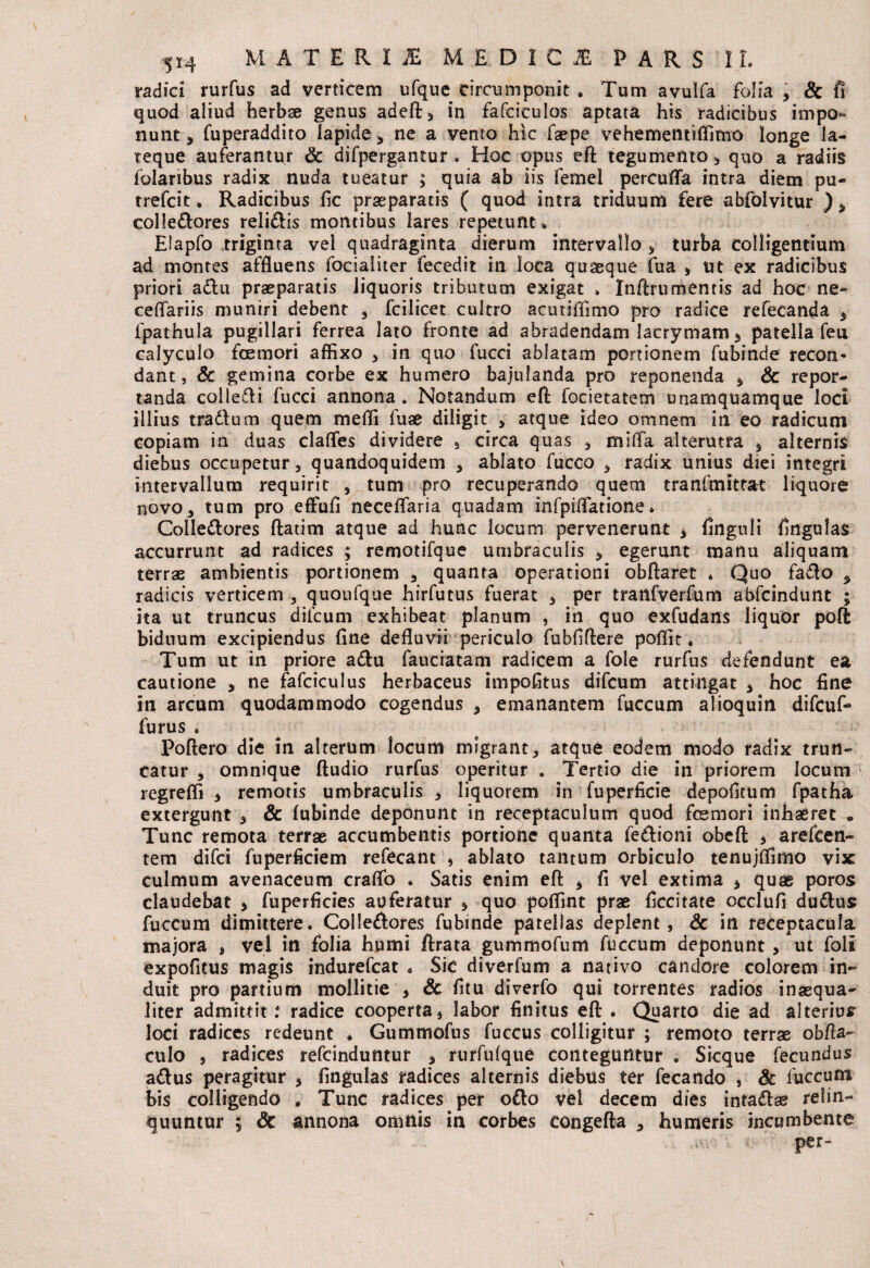 radici rurfus ad verticem ufque circumponit . Tum avulfa folia , & fi quod aliud herbse genus adeft, in fafciculos aptata his radicibus impo¬ nunt , fuperaddito lapide , ne a vento hic faepe vehementiffimo longe la¬ reque auferantur & difpergantur . Hoc opus eft tegumento , quo a radiis folaribus radix nuda tueatur ; quia ab iis femel percufla intra diem pu- trefcit. Radicibus fic praeparatis ( quod intra triduum fere abfolvitur ), colle&ores reli£lis montibus lares repetunt» Elapfo triginta vel quadraginta dierum intervallo * turba colligentium ad montes affluens focialiter fecedit in loca quaeque fua , ut ex radicibus priori a&u praeparatis liquoris tributum exigat » Inftru mentis ad hoc ne- ceflariis muniri debent , fcilicet cultro acutiflimo pro radice refeeanda 5 fpathula pugillari ferrea lato fronte ad abradendam lacrymam5 patella feu calyculo foemori affixo , in quo fucci ablatam portionem fubinde recon¬ dant, & gemina corbe ex humero bajulanda pro reponenda * & repor¬ tanda collefti fucci annona. Notandum eft focietatem unamquamque loci illius tradam quem meffi fuae diligit , atque ideo omnem in eo radicum copiam in duas clafles dividere , circa quas , mi fla alterutra , alternis diebus occupetur, quandoquidem , ablato fucco , radix unius diei integri intervallum requirit , tum pro recuperando quem tranfmitrat liquore novo, tum pro effufi neceflaria quadam infpiflatione» Colledores ftatim atque ad hunc locum pervenerunt , finguli fingulas accurrunt ad radices ; remotifque umbraculis , egerunt manu aliquam terrae ambientis portionem , quanta operationi obftaret * Quo fado * radicis verticem , quoufque hirfutus fuerat , per tranfverfum abfcindunt ; ita ut truncus dilcum exhibeat planum , in quo exfudans liquor poft biduum excipiendus fine defluvii periculo fubfiftere pofllt * Tum ut in priore a&u faucratam radicem a fole rurfus defendunt ea cautione , ne fafciculus herbaceus impofitus difcum attingat , hoc fine in arcum quodammodo cogendus , emanantem fuccum alioquin difcuf- furus . Poftero die in alterum locum migrant, atque eodem modo radix trun¬ catur , omnique ftudio rurfus operitur . Tertio die in priorem locum regreffi , remotis umbraculis , liquorem in fuperficie depofitum fpatha extergunt , & lubinde deponunt in receptaculum quod foemori inhaeret . Tunc remota terrae accumbentis portione quanta fe&ioni obeft * arefcen- tem difci fuperficiem refecant , ablato tantum orbiculo tenujffimo vix culmum avenaceum craflb * Satis ^nim eft , fi vel extima , quae poros claudebat , fuperficies auferatur , quo poffint prae ficcitate occlufi du6lus fuccum dimittere. Colle&ores fubinde patellas deplent, & in receptacula majora , vel in folia humi ftrata gummofum fuccum deponunt , ut foli expofitus magis indurefcat * Sic diverfum a nativo candore colorem in¬ duit pro partium mollitie , & fitu diverfo qui torrentes radios inaequa¬ liter admittit: radice cooperta, labor finitus eft . Quarto die ad alterius- loci radices redeunt * Gummofus fuccus colligitur ; remoto terrae obfta- culo , radices refcinduntur , rurfulque conteguntur . Sicque fecundus a&us peragitur 5 fingulas radices alternis diebus ter fecando , & fuccum bis colligendo » Tunc radices' per ofto vel decem dies intattss relin¬ quuntur ; 8c annona omnis in corbes congefta , humeris incumbente per-