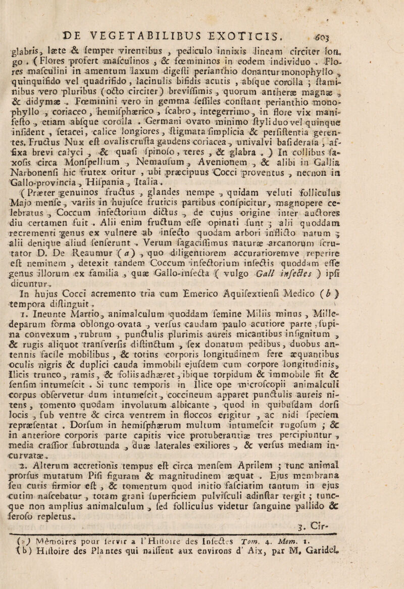 glabris* laete & femper virenti bos , pediculo innisis lineam circiter loa, go . (Flores profert ymafcultnos > & foemmi-nos in eodem individuo . TIo- res mafculini in amentum laxum digefti perianfhio donantur monophyIlo ^ quin qui fido vel quadrifido, lacinulis bifidis acutis , abfque corolla ; flami¬ nibus vero pluribus (odio circiter) breviflimis 3 quorum antherse magnae Sc didymae ... Fcerrmiini vero in gemma Eefliles confiant perianthio mono* phyllo , coriaceo, hemifphaerico > fcabro, integerrimo 3 in flore vix mani- fefto 3 etiam abfque corolla . Germani ovato minimo fllyli duo vel quinque infident , fetacei, calice longiores 3 digmata fimplicia Sc perfidentia geren¬ tes. Fr udus Nux eft ovalis erufia gaudens coriacea ^ univalvi bafiderafa 3 af¬ fixa brevi calyci 3 Sc quali fpinofo, teres 3 Sc glabra a ) In collibus fa- xofis circa Monfpellium ^ Nemaufuin 3 Avenionem -3 Sc alibi in Gallia Narbonenli hic Frutex oritur , ubi praecipuus Cocci proventus 3 necnon in Gallo-provlncia 3 Tiiipania 3 Italia . ( Praeter genuinos frudus , glandes nempe-a quidam veluti folliculus Majo menfe 3 variis In hujufce fruticis partibus coni picinum magnopere ce» lebratus 3 Coccum infedorium didus .,3 de cujus origine inter audores diu certamen fuit . Alii enim frudum efle opinati Eunt 3 alii quoddam recrementi tgenus ex vulnere ab Infecio quodam arbori inflido narum 5 alii denique aliud lenferunt . Verum fagaciflimus -naturae -arcanorpm feru» tator D. De Reaumur (a) quo dsligentiorem accurariorernve reperire efi neminem a detexit tandem Coccum Infedlonum itifedis quaddam efle genus illorum ex familia 5 quae Gailo-iniedta ( vulgo Gali infeBes '.) ipfl dicuntur. In hujus Cocci acremento tria cum Emerico Aquifextienfi Medico (b ) tempora difiinguit \ 1. Ineunte Martio3 animalculum quoddam femine Miliis minus a Mille- deparum forma oblongo ovata -a verfus caudam paulo acutiore parte , fupi- na convexum ,'rubrum 3 pundulis plurimis anreis micantibus infignitum 9 Sc rugis aliquot tranfverfis difiindum 3 fex donatum pedibusa duobus an¬ tennis facile mobilibus , Sc totins corporis longitudinem fere aequantibus oculis nigris Sc duplici cauda immobili ejufdem cum corpore longitudinis^, Ilicis trune03 ramis a Sc foliis adhaeret -aibique torpidum Sc immobile fit Sc fenfim intumefeit . Si tunc temporis in Ilice ope srficrofcopii animalculi corpus obfervetur dum intumefeit^ coccineum apparet pundulis aureis ni¬ tens 3 tomento quodam Involutum albicante 3 quod in quibufdam dorfs locis 3 fub ventre Sc circa ventrem in floccos erigitur 3 ac nidi fpecieni repraefentat . Dorfum in hemifphaerum multum intumefeit rugGfum ; Sc in anteriore corporis parte capitis vice protuberantise tres percipiuntur 9 inedia craflior fubrotunda 3 duse laterales exiliores 9 & verfus mediam in¬ curvatae. 2. Alterum accretionis tempus efi circa menfem Aprilem ; tunc animal prorfus mutatum Pifi figuram Sc magnitudinem aequat •. Ejus membrana feu cutis firmior eft 3 Sc tomentum quod initio fafeiatim tantum in ejus cutim nafcebatur , totam grani iuperficiem pulvifculi adinfiar tergit; tunc** que non amplius animalculum * fed folliculus videtur fanguine pallido Sc ferofo repletus., f > 3. Cir- (4) Memoires pour iervir a FHiitOue des Infedles Tom, 4. Mem. 1. tb) Hfiloire des Plantes qui naifient aux environs d’ Aix, par M# GarideL