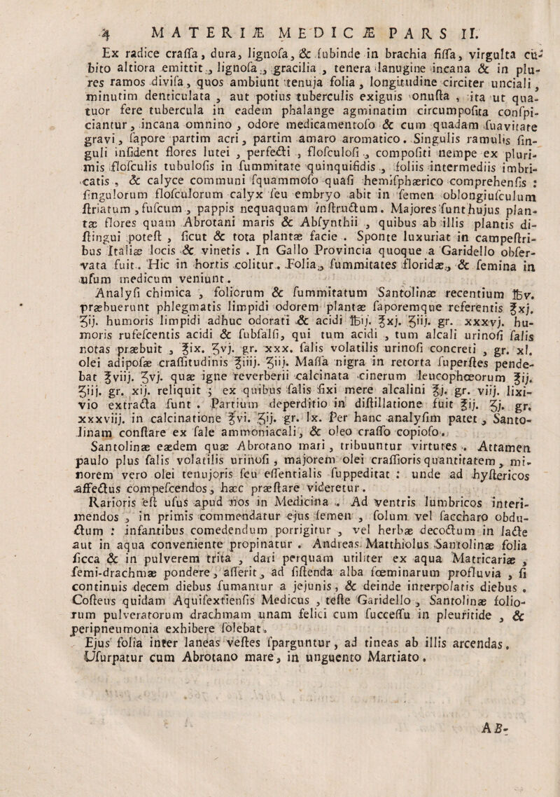 Ex radice crafla, dura, ligiiofa5 Sc iubinde in brachia fiffa, virgulta cii^ bito altiora emittit lignofa;, gracilia tenera-lanugine incana Sc in plu- res ramos divifa, quos ambiunt tenuia folia, longitudine circiter unciali 5 minutim denticulata , aut potius tuberculis exiguis onufta , ita ut qua- tuor fere tubercula in eadem phalange agminatim circumpofita confpi- ciantur, incana omnino , odore medicamen tofo Sc cum quadam fuavitare gravi 5 fapore partim acri, partim amaro aromatico. Singulis ramulis fm- guli in fident flores lutei , perfedi 3 flofculofi compofiti nempe ex pluri¬ mis Elofculis tubulofis in fummitate quinquifidis , foliis intermediis imbri¬ catis Sc calyce communi fquammofo quafi hemifphaerico comprehenfis : Angulorum flofculorum calyx ieu embryo abit in femen oblongiufculum ilriatum , fufcum , pappis nequaquam /nftrudum. Majores funt hujus plan¬ tas flores quam Abrotani maris & Abfynthii , quibus ab illis plantis di- flingui poteft , ficut Sc tota plantae facie . Sponte luxuriat in campefiri- bus Italis? locis Sc vinetis . In Gallo Provincia quoque a Garidello obfer- vata fuit.. Hic in hortis colitur.. Eolia;, fummitates floridae,, Sc femina in ufum medicum veniunt. Analyfi chimica , foliorum & fummitatum Santolinae recentium Ifcv. praebuerunt phlegmatis limpidi odorem plantae faporemqne referentis fxj. 5j. humoris limpidi adhuc odorati Sc acidi Ibi/. ^xj. gr. xxxvj. hu¬ moris rufefcentis acidi Sc fubfalfi, qui tum acidi , tum alcali urino fi falis notas praebuit , ?ix. %vj. gr. xxx. falis volatilis urinofi concreti , gr. xl. olei adipofae craflitudinis ^iiij. Jiij. Maffa nigra in retorta fuperfles pende¬ bat Jviij. Jvj. quae igne reverberii calcinata cinerum leucophceorum ^ij. Jijj. gr. xij. reliquit ; ex quibus falis fixi mere alcalini %). gr. viij. lixi¬ vio extrada funt . Partium deperditio in diflillatione fuit ^ij. gj. gr, xxxviij. in calcinatione fvi. Jij. gr. Ix. Per hanc analyfim patet ,, Santo- Jinam conflare ex fale ammoniacali, Sc oleo craffo copiofo. Santolinae eaedem quas Abrotano mari, tribuuntur virtutes Attamen paulo plus falis volatilis urinofi, majorem olei craffioris quantitatem, mi¬ norem vero olei tenujoris feu eflentialis fuppeditat : unde ad Eyflericos affedus compefcendos , hacc praeftare videretur . Rar ioris efl ufus apud nos in Medicina ,. Ad ventris lumbricos interi¬ mendos , in primis commendatur ejus femen , folum vel faccharo obdu- dum : infantibus comedendum porrigitur , vel herbae decodum in lade aut in aqua conveniente propinatur . Andreas. Matthiolus Santolinae folia ficca Sc in pulverem trita , dari perquam utiliter ex aqua Matricariae , femi-drachmae pondere, aderit, ad fiftenda alba foeminarum profluvia , fi continuis decem diebus fumantur a jejunis , Sc deinde interpo/aris diebus . Coftetis quidam Aquifexfienfis Medicus , tefie Garidello , Santolinae folio¬ rum pulveratorum drachmam unam felici cum fuccedu in pleuritide , Sc peripneumonia exhibere folebat. Ejus folia infer laneas vefles fparguntur, ad tineas ab illis arcendas. Ufurpatur cum Abrotano mare, in unguento Martiato. A Bz