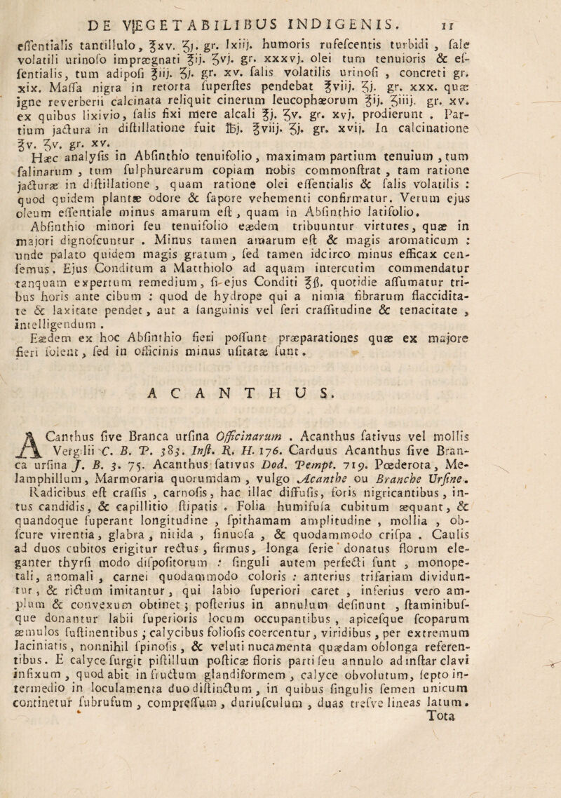 0 ciTentlalis tantillulo, f xv. gj. gr. Ixiij. humoris rufercentis turbidi, fale volatili urinofo impraegnati fij. 5VJ- gr‘ xxxvj. olei tum tenuioris Sc ef- fentialis, tum adipofi fiij. 5h gr. xv. felis volatilis urinofi , concreti gr. xix. Maflfa nigra in retorta fu perdes pendebat fviij. gj. gr. xxx. quae igne reverberii calcinata reliquit cinerum leucophaeorum §ij. 3iiij. gr* xv. ex quibus lixivio, falis fixi mere alcali Jj. Jv. gr. xvj. prodierunt . Par¬ tium jadura in diftillatione fuit IBj. §viij* Jj. gr. xvij. In calcinatione |v. Jv. gr. xv. Haec analyfis in Abfinthio tenuifolio, maximam partium tenuium, tum falinarum , tum fulphurearum copiam nobis commonftrat , tam ratione jadurse in diflillatione , quam ratione olei eflentialis Sc falis volatilis : quod quidem plantae odore Sc fapore vehementi confirmatur. Verum ejus oleum efifentiale minus amarurn efl , quam in Abfinthio latifolio. Abfinthio minori feu tenuifolio eaedem tribuuntur virtutes, quae in majori dignofeuntur . Minus tamen amarum efl Sc magis aromaticum ; unde palato quidem magis gratum , fed tamen idcirco minus efficax cen- femus. Ejus Conditum a Matthiolo ad aquam intercutim commendatur tanquam expertum remedium, fi-ejus Conditi ffi. quotidie aflumatur tri¬ bus horis ante cibum : quod de hydrope qui a nimia fibrarum flaccidita- te & laxitate pendet, aut a (anguinis vel feri craffitudine Sc tenacitate f imelligendum . Esedem ex hoc Abfinthio fieri poflunt praeparationes quae ex majore fieri folent, fed in officinis minus ufitatae funt. ACANTHUS. ACanthus five Branca urfina Officinarum . Acanthus fativus vel mollis Vergilii C. B. T. 18^. Infl. Ii. H. 176. Carduus Acanthus five Bran¬ ca urfina/. B. 5. 75. Acanthus fativus Dod. Tempt. 719. Poederota, Me- Jamphiiium, Marmoraria quorumdam, vulgo ^Acanthe ou Branche Urjine>. Radicibus efi; craffis , carnofis, hac illae diffufis, foris nigricantibus, in¬ tus candidis, Sc capillitio fiipatis . Folia humifuia cubitum sequant, Sc quandoque fnperant longitudine , fpithamam amplitudine , mollia , ob- fcure virentia, glabra * nitida , finuofa , & quodammodo crifpa . Caulis ad duos cubitos erigitur redus, firmus, longa ferie donatus florum ele¬ ganter thyrfi modo difpofitorum : finguli autem perfedi funt , monope- tali, anomali , carnei quodammodo coloris ; anterius trifariam dividun¬ tur , Sc ridum imitantur, qui labio fuperiori caret , inferius vero am¬ plum Sc convexum obtinet; poflerius in annui um delinunt , ftaminibuf- que donantur labii fuperioris locum occupantibus , apicefque fcoparum aemulos fuftinentibus; calycibus fofiofis coercentur, viridibus, per extremum Jaciniatis, nonnihil fpinofis, Sc veluti nucamenta quaedam oblonga referen¬ tibus. E calyce furgit piftillum pofliese floris parti feu annulo adindar clavi infixum, quod abit in frudum glandiformem , calyce obvolutum, fepto in¬ termedio in loculamenta duo didindurn , in quibus lingulis femen unicum continetur fubrufum , compreflum , duriufculum , duas trefve lineas latum. Tota