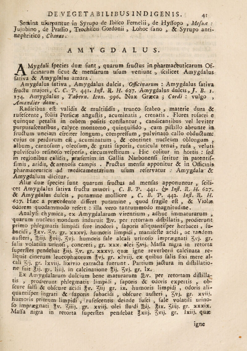 Semina u&upantur In Syrupo de Ibifco Femelii , de Hyflbpo Mefu<s : Jujubino, de Praffio, Trochifcis Gordonii , Lohoc Cano , Sc Syrupo anci- nephritico , Chavas 0 A 'M ¥ G D A 1 U S. 1 Mygdali fpecies duae fu-nt , quarum frudus in pharmaceuticarum Of- Acinarum ficut Sc menfarum ufum veniunt >3 fcilicec Amygdalus fativa Sc Amygdalus amara , Amygdalus fativa , Amygdalus dulcis, Officinarum : Amygdalus fativa frudu majori3 C. C P. 441. Inft, R. H. 627. Amygdalus dulcis,/. B. 1. 174. Amygdalus , Tabem, Jfo/i. 5)^^, Nux Graeca 4 Cordi : vulgo , jimandier doux. Radicibus eff validis Sc multifidis , trunco fcabro , materie dura Sc lufefcente, foliis Perficae anguftis, acuminatis , crenatis . Flores rofacei e quinque petalis in orbem politis conflantur , candicantibus vel leviter purpurafcentibus, calyce montemo, quinquifido 3 cum piftillo abeunte iti frudum unciam circiter longum, compreflum, pulvinato callo obdudum: cujus os perdurum eftacuminatum , Sc continet nucleum oblongum , album 3 carnofum , ofeofum, Sc grati faporis, cuticula tenui, rufa veluti pulvifculo refinofo'refperfa, circum vefli tum . Hic colitur in hortis : fed1 in regionibus calidis, pr&fertim in Gallia Narbonenli feritur in patentif- Emis 3 aridis, &arenofis campis . Frudus menfis apponitur Sc in Officinis pharmaceuticis ad medicamentarium ufum refervatur .a Amygdala'& Amygdaiuni dicitur. Aliae duas fpecies funt quarum frudus ad menfas apponuntur , fcili- cet Amygdalus fativa frudu minori , C. B. T» 441. & Inft. R. H. 627. Sc Amygdalus dulcis > putamine molliore , C. B. T. 442. Inft. R. H. 627» Haec a praecedente differt putamine , quod fragile eft , Sc Viola® odorem quodammodo refert t illa vero tantummodo magnitudine. Analyfi ehytmca, ex Amygdalarum virentium 3 adhuc immaturarum 3 quarum nucleus mondum induruit Ibv. per retortam diffillatis> prodierunt primo phlegmatis limpidi fere inodori 3 faporis aliquantifper herbacei , fu- bacidi, fxv. Jv. gr. xxxvj. humoris limpidi, manifefle acidi , ac tandem aufteri, ifeiij. fv-iij. Jvj. humoris fale alcali urinofo impraegnati Jvj. gr. falis volatilis urinofi, concreti, gr. xxx, ®Iei Jvij. Maffa nigra in retorta fuperftes pendebat %iij. Jv. gr. xxxvj. quas igne reverberii caldnata re¬ liquit cinerum leucophaeorum 3;vj. gr. xlviij. ex quibus falis fixi mere al- cali 5’j. gr. Ixviij. lixivio extrada fuerunt . Partium jadura in diftillatio- Ile fuit Jij. gr. liiij. in calcinatione gij. 5VF §r* ^x* Ex Amygdalarum dulcium bene maturarum !bv. per retortam diftilla- tls 5 prodierunt phlegmatis limpidi , faporis Sc odoris expertis , ob~ fcure falfi & obfcure acidi ^v. gr. *x* humoris limpidi , odoris ali¬ quantifper ingrati Sc faporis fubacidi , obfcure aufteri , Jvj. gr. xviij. humoris primum limpidi , rufefcentis deinde fufci , fale volatili urino¬ fo impraegnati %v. giiij. gr. xviij. olei fkrdi Hij. gix. 'Jiii;. gr. xxxix. Maffa nigra in retorta fuperftes pendebat 5XIIF 5v,j* Sr* lx^j»