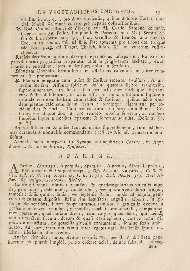 vitulin. in aq. q. f. pro duobus jufculis, quibus diffolve Tartar. mar- tial. folubil. Jj. mane Sc Iero pro hepatis obflrudionibus. 2£. Rad. O non id. Brufci Sc Afparag. ana gj. Cortic. Sambuc. & radie. Cappar. ana Folior. Pimpihell. & Parietar. ana M. j. Semin. Se- feii & Lithofpenni ana Jiij. Flor. Geniftae Sc Leucoji ana pug. ij. Coq. in aq. cornm. IBij. ad jfcifi. Fiat apozema pro tribus dof. Cuique add. Nicti pur*g. vel Tartar, Chalyb. folub. 56* m vifcerum ofcftru- dionibus . Radicis decodum optime cie tergi t extrinfecus ufurpatuni . Ex eo cum pauxillo aceti gargarifma praeparatur mile in gingivarum laxitate , exul¬ ceratione, putredine , item in dentium dolore a Scorbuto . Effentiam Ononidis EttmuIIerus in affedibus calculofis infigniter com¬ mendat. Sic praeparatur. 2Plantam integram cum radice Sc floribus recenter avulfam , 8c mi- nutim incifam . Affunde fpiritum vini ad quatuor digitor. tranfverfor. fupereminentiam : in loco calido per odo dies nodefque digeran¬ tur. Poflea diftillentur, nt artis efl . In hunc diftillatum liquorem infunde recentem herbam cum radice Sc floribus , quibus adde ejuf- dem plantae calcinatas falem fixum ; iterumque digerantur per ro- tidein dies Sc nodes. Tum fiat colatura cum forti exprefllone . Co¬ latura per aliquot dies in loco remoto repofita fervetur, ac tandem limpidus liquor a foecibus feparetur Sc fervetur ad ufus. Dofis ab ad fij. Aqua diftillata ex Anonide tum ad urinae fuppreflionqm , tum ad her¬ nias curandas a nonnullis commendatur ; fed levioris efl armaturae prae- fidium . Anonidis radix ufurpatur in Syrupo antinephritico Charas , in Aqua diuretica Sc antinephritica, Ejufdem, A P A R I N £. A Panne, Afperugo , Afpergula, Spargula, Afpsrula, Afpera Lappago , Philantropos & Omphalocarpos , Off'. Aparine vulgaris , C. B. V. 334. Inft. R. H. 114. Apparine, /. B. 3. 715. Dod. Tempt. 555. Raii Hi- flor. 484. vulgo, GraterOn , Tiieble . Radice §ft tenui, fibrofa ; tenujbus Sc quadrangularibus viticulis afpe» ns, geniculatis , oMequiofis, (candentibus , tres quatuorve cubitos longis , ramolls ; foliis quinis, fenis , vel feptenis Rubiae modo ad fingulal geni¬ cula orbiculatim difpofitis, (Fellas ritu decu(Fatis, anguftis , afperis , in f pi¬ nulam'definentibus. Flores prope fu m mos ramulos e geniculis exeunt in pediculis oblongis, tenujbus, perpufilli, candidi, monopetali , campanifor- mes ^ patentes, quadrifariam divifi , cum calyce quadrifido , qui deincfe abit in frudum ficcum , durum Sc quafi cartilaginem , cortice tenui ni¬ gricante obdudum , ex geanellis globulis conflantem , femine foetis umbL licato. Ad fepes, interdum etiam inter fegetes agri Parifienfis fponte na, fcitur. [fle rba in ufum venit. Analyfi chymica, hujus plantae recentis Ifev. per B. V. difiillatse prae¬ buerunt phlegmatis limpidi, primo obfcure acidi , deinde Tubaeidi, ac tan-