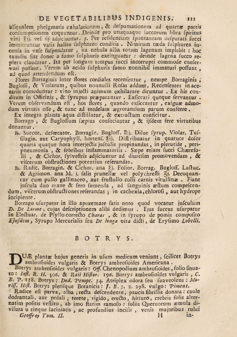 aliqualem pheigmatis eshaJationfem » & delpumationem ad quartas partis con.fu motionem coquuntur «.Deinde pro iifi-iquaque luccorum Itbra fpiritus vini 5ij. vel iij adjiciuntur. 3. Fer re fidentiam fpontaneam defpurati fucci immittantur valis halitu fulpharec conditis . Nimirum taeda fulphurea in- cenfa in vafe fufpsndatur , ita nebula alba totam lagenam implebit : hoc tamdiu fiat donec a fumo fulphuris exfinguamr : deinde lagena fucco re¬ pleta claudatur . It^ per longum tempus fucci incorrupti commode confer- ^ari poffunt. Verum ab acido fulphuris fumo nonnihil immaturi poliunt , ad quod attendendum efh Flores Borraginis inter flores cordiales recenfentur , nempe Borraginis i Buglofli, Sc Violarum, quibus nonnulli Rofas addunt* Recenfentes in ace¬ tariis comeduntur : vino injedi animum exhilarare dicuntur . Ex his con¬ ditum in Officinis , Sc fyrupus praeparantur . Exficcati quoque fervantur . Verum obfervandum eft , hos flores , quando exficcantur , exiguae admo¬ dum virtutis efle , Sc tunc ad medelam aegrotantium parum conferre* Ex integra planta aqua diftiilatur, Sc extradum conficitur* Borrago , Sc Bugloffum faepius confociantur 3 <3c ijfdem fere virtutibus donantur. R* Succor, defoecator. Borragin. Bugloff. IBj. Dilue fyrup. Violar. Tuf- filagin. aut Caryophyll, hortenf, |ij. Diftribuatur in quatuor dofes quarta quaque hora interjedis jufculis propinandas, inplerutide , peri- pneumonia , Sc febribus inflammatoriis . Saepe etiam fucci Chaerefo- lii , Sc Cichor. fyiveftris adjiciuntur ad diurefim promovendam , Sc vifcerum obflrudiones potentius referandas, $2, Radie. Borragin. & Cichor. ana 2jj. Folior. Borrag. BuglofT. Laduc. Sc Agrimon. ana M. j. falis prunellae vel polychrefli Ji* -Decoquan¬ tur cum pullo gallinaceo, aut frufiulio colli carnis vitullinae . Fiant jufcula duo mane Sc fero fumenda , ad fanguinis sefium compefcen- dum, vifcerumpbArudiones referandas j in cachexia,chlorofi , aut hydrope Incipiente. Borrago ufurpatur in illo apozemate fatis noto quod vocatur jufcufum D. De Lorme , cujus deferiptionem alibi dedimus . Ejus fuccus ufurpatur In Eleduar. de Pfyllocorredo Charas , Sc in fyrupo de pomis compofito Ejufdem, Syrupo xVIercurialis feu De longa vita didi, de Eryfimo Lobelli* B O T R Y S. DUiE plantae hujus generis in ufum medicum veniunt, fcilicet Botrys ambrofioides vulgaris Sc Botrys ambrofioides Americana . Botrys ambrofioides vulgaris: Off. Chenopodium ambrofioides, folio finua- to : Inft. R, h. 506. Sc Raii Hiftor. 1 p<5. Botrys ambrofioides vulgaris , C. B. T» 138. Botrys: Dod. Vempt. 34. Atriplex odora feu fuaveolens : viff' Botrys plerifque Botanicis: J. 2F 3. 2. 2p8. vulgo: Viment. Radice efi parva, alba , reda defeendente, paucis fibrillis donata: caule dodrantali, aut pedali , terete, rigido, eredo, hirfutO, crebris folis alter¬ narim pofitis veftito, ab imo flarim ramofo : foliis Quernorum aemula di- vifura u rinque iaciniatis , ac profundius incilis , venis majoribus rubri Geoffroy Tom. IL H in-