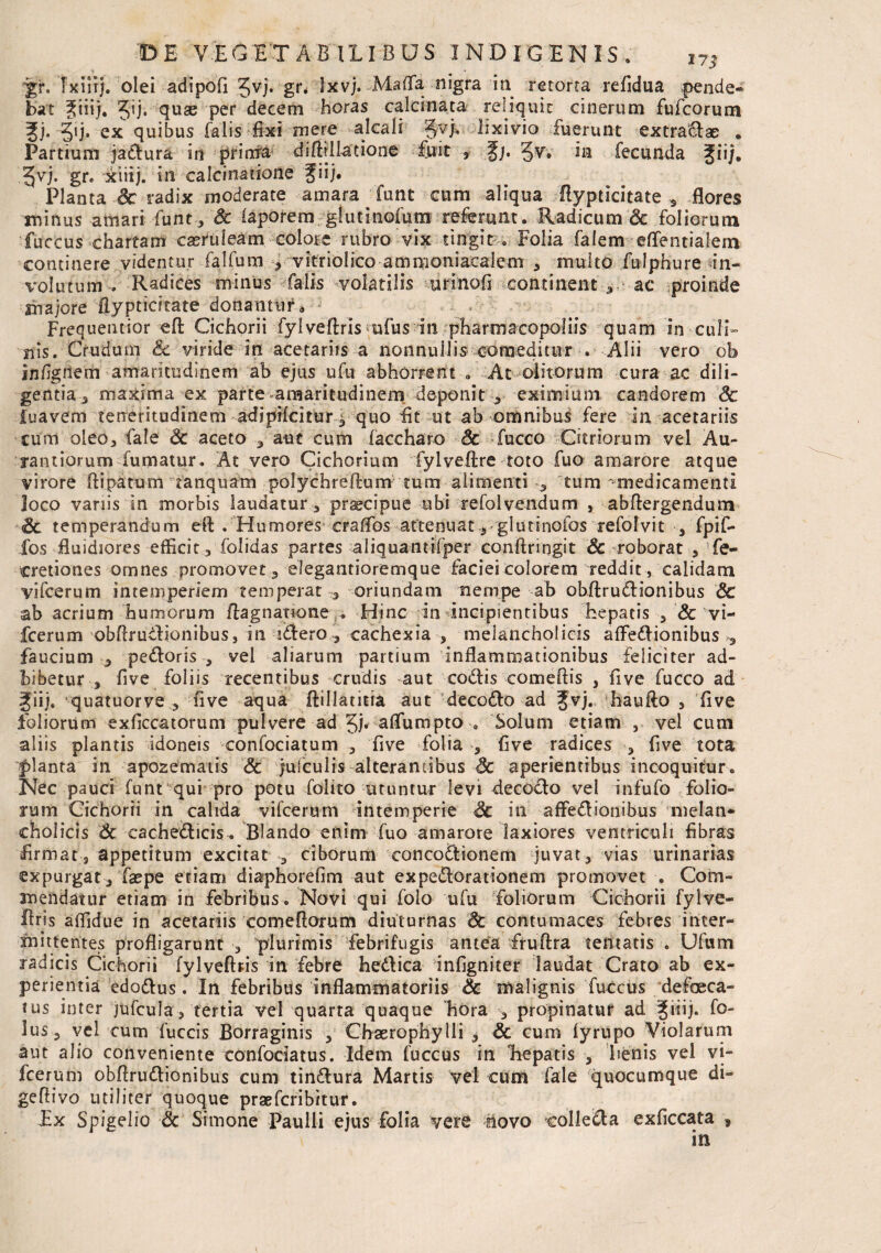 gr. Ixiiij. olei adipofi 5vi* gr* Ixvj. Mafla. nigra in retorta refidua pende¬ bat 3;iii). 5ij. quae per decem horas calcinata reliquit cinerum fufcorum ?j* 3»j- ex quibus falis Exi mere alcali §vj. lixivio fuerunt extrariae • Partium jadura in priora diftrllauone fuit , Jv. in fecunda Jiij. 2jvj. gr. xtiij. in calcinatione fii). Planta Sc radix moderate amara funt cum aliqua Aypticitate s flores minus amari funt, Sc laporem glutinofum referunt. Radicum & foliorum fuccus chartam castuleam colore rubro vix tingit . Folia falem eflentialem continere videntur falfum ■, vitriolico ammoniacalem , muito fulphure in¬ volutum . Radices minus falis volatilis urinofl continentac proinde majore Aypticitate donantur. Frequentior eft Cichorii fylveftris mfus in pharmacopoliis quam in culi¬ nis. Crudum Sc viride in acetariis a nonnullis comeditur . Alii vero ob inFgnem amaritudinem ab ejus ufu abhorrent „ At olitorum cura ac dili¬ gentia^ maxima ex parte-amaritudinem deponit, eximium candorem Sc fuavem teneritudinem adipifcitur ^ quo Et ut ab-omnibus fere in acetariis cum oleo, fale Sc aceto , aut cum faccharo Sc fucco Citriorum vel Au- rantiorum fumatur. At vero Cichorium fylveflre toto fuo amarore atque virore Aipatum tanquam polychreftum tum alimenti , tum 'medicamenti loco variis in morbis laudatur , praecipue ubi refolvendum , abftergendum Sc temperandum eft . Humores erafFos attenuat, glutinofos refolvit , fpif- fos fluidiores efficit , folidas partes aliquantifper conftriogit &-roborat , fe- cretiones omnes promovet, elegantioremque faciei colorem reddit, calidam yifcerum intemperiem temperat , oriundam nempe ab obftrudionibus Sc ab acrium humorum fla g nano ne . Hinc in incipientibus hepatis , Sc vi- fcerum obflrudionibus, in sdero , cachexia , melancholicis affedionibus , faucium , pedoris , vel aliarum partium inflammationibus feliciter ad¬ bibetur , live Foliis recentibus crudis aut codis comeftis , Eve fucco ad giij. quatuorve , Eve aqua ftillatitia aut decodo ad ^vj. hauflo , Eve foliorum exficcatorum pulvere ad 5i* aflumpto . Solum etiam , vel cum aliis plantis idoneis -confociatum , Eve folia , Eve radices , Eve tota planta in apozematis Sc /ufculrs alterantibus Sc aperientibus incoquitur. Nec pauci funt qui pro potu folito utuntur levi decodo vel infufo folio¬ rum Cichorii in calida vifcerum intemperie Sc in affedionibus melan¬ cholicis Sc cachedicis. Blando enim fuo amarore laxiores ventriculi fibras firmat s appetitum excitat , ciborum concodionem juvat, vias urinarias expurgat , faepe etiam diaphordim aut expedorationem promovet . Com¬ mendatur etiam in febribus. Novi qui folo ufu foliorum Cichorii fylve- firjs affidue in acetariis comeflorum diuturnas Sc contumaces febres inter¬ mittentes profligarunt , plurimis febrifugis antea fruftra lentatis . Ufum radicis Cichorii fylvefhis in febre hedica infigniter laudat Grato ab ex¬ perientia edodus. In febribus inflammatoriis Sc malignis fuccus defoeca- tus inter jufcula, tertia vel quarta quaque hora , propinatur ad ^iiij. fo- lus, vel cum fuccis Borraginis , Chaerophylli , Sc cum fyrupo Violarum aut alio conveniente confociatus. Idem fuccus in Eepatis , lienis vel vi¬ fcerum obflrudionibus cum tindura Martis vel cum fale quocumque di- geflivo utiliter quoque prsefcribitur. Ex Spigelio Sc Simone Paulli ejus folia vere novo colleda exficcata , in