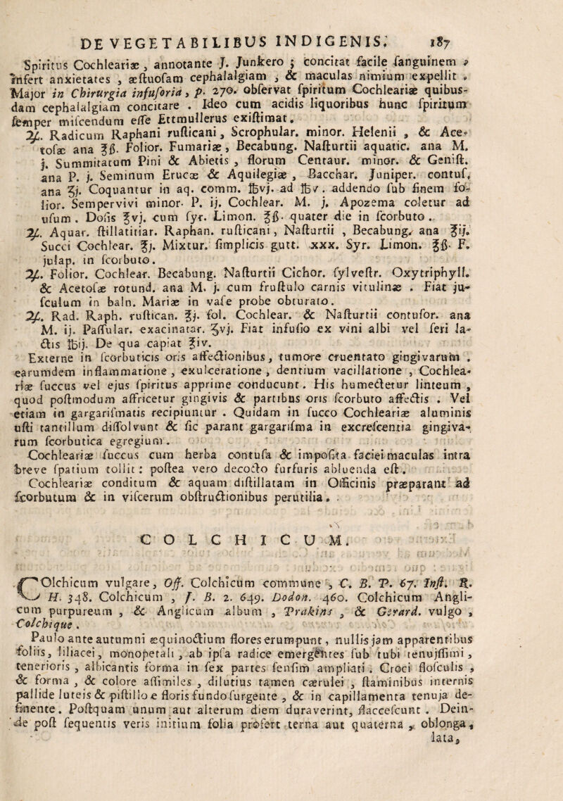 Spiritus Cochleari# , annotante J. Junkero $ concitat facile .fanguinem 9 Infert anxietares , #ftuofam cephalalgiam , & maculas nimium expellit , Major in Chirurgia infuforia, p- 270. obfervat fpiritum Cochleari# quibus¬ dam cephalalgiam concita re . Ideo cum acidis liquoribus hunc fpiritum fe#nper mitcendum efle Ettmullerus exiftimat* 2L. Radicum Raphani rufticani 3 Scrophular. minor. Helenii * Sc Ace* tofae ana Folior. Furnariae, Becabung. Nafturtii aquarie, ana M. j. Summitatum Pini & Abietis , florum Centaur. minor. Sc Genift. ana p. j. Seminum Erucas & Aquilegi# , Bacchar. Juniper. contuf. ana §j. Coquantur in aq. comm. Ifcvj. ad Ifc/. addendo fub Enem fo~ lior. Sempervivi minor- P. ij. Cochlear. M. j, Apozema coletur ad ufum . Dofis Jvj. cum fyr. Limon. quater die in fcorbuto . Aquar, ftillatitiar. Raphan. rufticani, Nafturtii , Becabung. ana fi/V Succi Cochlear, %). Mixtur. flmpiids■ gjutt. xxx. Syr. Limon. gfl- F, julap. in fco*rbuto. Folior. Cochlear. Becabung. Nafturtii Cichor. fylveftr. Oxytriphylf. & Acetof# rotund. ana M» j. cum fruftulo carnis vitulinae . Fiat ju~ fculum in baln. Mariae in vafe probe obturaro. Rad. Raph. ruftican. ?j. fol. Cochlear. Sc Nafturtii contufor. ana M. ij. Paftular. exacinatar. Jvj. Fiat infufio ex vini albi vel feri 1 a* dis 'tbij. De qua capiat ?iv. Externe in fcorbuticis oris aftedionibus, tumore cruentato gingivarum . earumdem inflammatione , exulceratione , dentium vacillatione , Cochlea* H# fuccus vel ejus fpiritus apprime conducunt. His humedetur linteum 9 quod poftmodum affricetur gingivis Sc partibus oris fcorbuto aifedis . Vei etiam in gargarifmatis recipiuntur . Quidam in fucco Cochleari# aluminis ufti tantillum diflolvunt Sc fic p arant gargarifma in excrefcentia gingiva-*, rum fcorbutica egregium. Cochleari# fuccus cum herba contufa Sc impolita faciei maculas intra breve fpatium tollit: poftea vero decodo furfuris abluenda eft . Cochleari# conditum Sc aquam diftillatam in OiEcinis pr#paratH ad Ecorbutum Sc in vifcerum obftrudionibus perutilia* . COLCHICUM. ' v r *• : ' 1 f ^ ; 1 j , v' f; f U ¥ >.£ 4 • •?.« . •* • < - * ■ ii.* i -iw w * • -r- r* • •/ . _ _ V k - C^OIchicurn vulgare, Ojf. Colchicum commune , C. B. T. 67. Inft. Ft. ET, 348. Colchicum , /. 5. 2. 649. Dodon, 460. Colchicum Angli- cum purpureum , <Sc Angiicum album , Vutkins , &: Gcrard. vulgo , Colchiqus. > Paulo ante autumni squinodmm flores erumpunt, nullis jam apparentibus foliis, liliacei, monopetah , ab ipfa radice emergllues fub tubi tenujfflmi, tenerioris , albicantis forma in fex partes fenEm ampliati . Croci flofculis , Sc forma } Sc colore aflimiles , dilutius tamen caerulei , flaminibus internis pallide luteis & piftillo e floris fundoTurgente , & in capillamenta tenuja de¬ fluente. Poftquam unum aut alterum diem duraverint, flacccfcunt . Dei 11- 'de poft fequentis veris initium folia profert terna aut quaterna * oblonga%