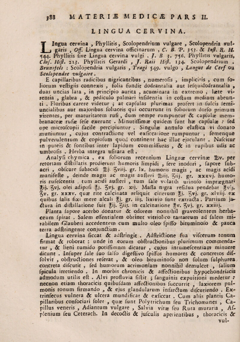 LINGUA CERVINA. / < Lingua cervina , Phyllitis, Scolopendrinm vulgare , Scolopendria vul¬ garis , Offl Lingua cervina officinarum , C. B. P. 353 . Sc Infl. R. H. 544. Phyllitis five Lingua cervina vulgi , /. B 3. 756. Phyllitis vulgaris, Cluf. Hifi. 213. Phyllitis Gerardi , J. Raii Hift. 154. Scolopendrium . Brunsfe/s : Scolopendria vulgaris , Tragi 545?. vulgo , Langue de Cerf ou Scolopendre vulgaire. E capillaribus radicibus nigricantibus , numerofis , implicitis , cum fo¬ liorum veftigiis connexis , folia fundit dodrantalia aut fefqu i dodrantalia , duas uncias lata , in principio aurita , acuminata in extremo , lacte vi¬ rentia , glabra , Sc pediculo palmari infidentia in collam mediam abeun¬ ti . Floribus carere videtur 3 at capfulas plurimas profert in fulcis lemi- uncialibus aut majoribus foliaceis qui occurrunt in foliorum dorfo primum virentes, per maturitatem rufi, dum nempe rumpuntur & capfulae mem¬ branaceae rufae fefe exerunt . Minutiffimae quidem funt hae capfulae .* fed ope microfcopii facile percipiuntur . Singulae annulo etaftica vi donato muniuntur , cujus contradione vel exficcatione rumpuntur , femenque pulverulentum Sc copiofum quod continent hac illae ejaculant . Nafckur in puteis Sc fontibus inter lapidum commififuras , & in rupibus udis ac umbrofis . Herba integra ufitata eft. Analyfi chymica , ex foliorum recentium Linguse cervinae IBv. per retortam difiillatis prodierunt humoris limpidi , fere inodori , fapore fub- acri , obfcure fubacidi U5j. 5vi^' &r- 1*. humoris magis , ac magis acidi manifefte , deinde magis ac magis aufteri Ibiij. 3iij. gr. xxxvj. humo¬ ris rufefeentis ; tum acidi aufteri , tum fale volatili uiinofo impraegnati Jij. 3vj. olei adipofi |j. Jvj. gr. xij. Malia nigra refidua pendebat Jv> 3v. gr. xxxv. quae rite calcinata reliquit cinerum %). Jvj. gr. xlviij. ex quibus (alis fixi mere alcali ^j. gr. iri j. lixivio funt extrada. Partium ja^ dura in diftillatione fuit Jij. 3’ij* *n calcinatione 2;v. 3vj. gr. xxiiij. Planta (apore acerbo donatur Sc odorem nonnihil graveolentem herba¬ ceum fpirat . Salem eftentialem obtinet vitriobeo tartareum ad falem mi¬ rabilem Glauberi accedentem cum multo oleo fpiflo bituminofo Sc pauca terra adftringente conjundum. Lingua cervina ficcat Sc adftringit . Adftridione fua vifcerum tonum firmat Sc roborat ; unde in eorum obftrudionibus plurimum commenda¬ tur , Sc lieni tumido poti (fimum dicatur , cujus intumefcentiam minuere dicun^ . Infuper fale fuo falfo digeftivo fpiflos humores Sc concretos dif- folvij/ , obftrudiones referat , Sc oleo bituminofo non folum fulphurea concreta difeutit , fed humorum acrimoniam nonnihil demulcet , falium fpicula irretiendo . In morbis chronicis Sc affedionibus hypochondriacis admodum utilis eft . Alvi profluvia fiftit j fanguinis expuitioni medetur .* necnon etiam thoracicis quibufdam affedionibus fuccurrit , laxiorem pul¬ monis tonum firmando , Sc ejus glandularum infardum difeutiendo . Ex- trinfecus vulnera Sc ulcera mundificat Sc exficcat . Cum aliis plantis Ca¬ pillaribus confociari folet , quae funt Polytrichum feu Trichomanes , Ca¬ pillus veneris , Adiantum vulgare , Salvia vitae feu Ruta muraria , Af- plenium feu Ceterach. In decodis Sc jufculis aperientibus , thoracicis Sc vui-