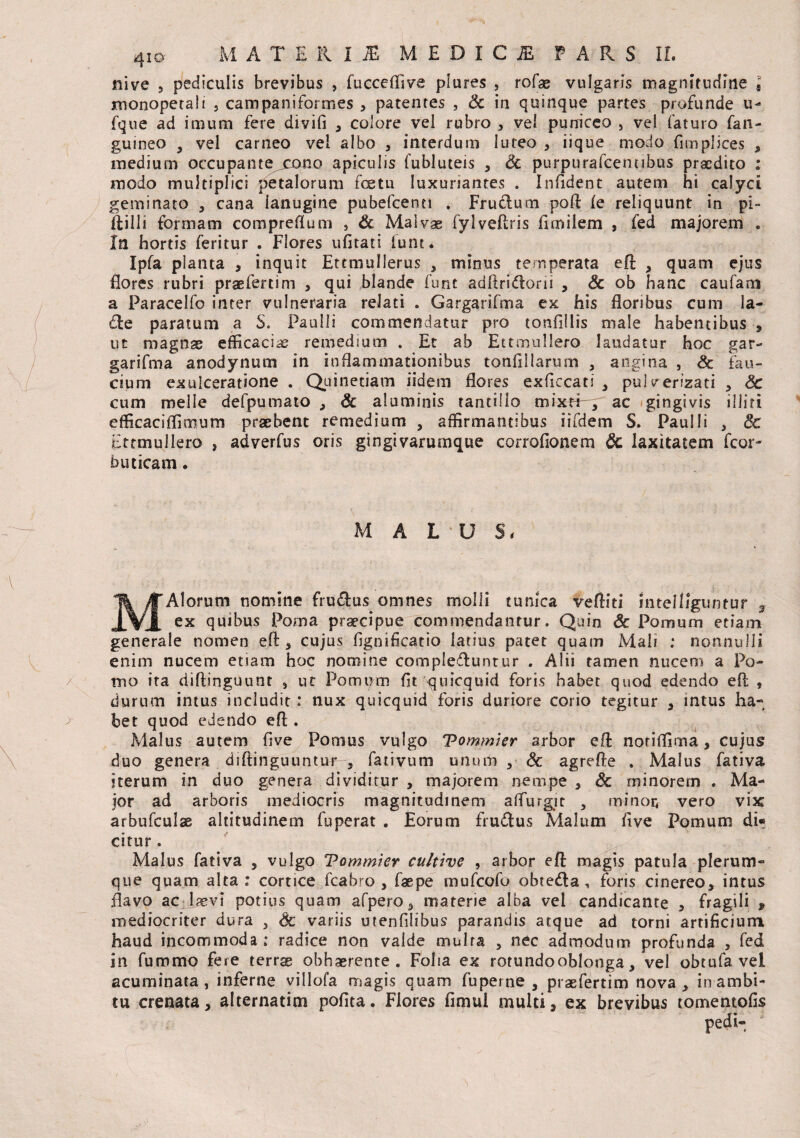 4iO' MATERIA MEDICA f ARS IL nive , pediculis brevibus , fucceffive plures , rofae vulgaris magnitudine « monopetali , campaniformes , patentes , Sc in quinque partes profunde u- fque ad imum fere divifi , colore vel rubro , vei puniceo , vel faturo fan- guineo 9 vel carneo vel albo , interdum luteo , iique modo fimplices , medium occupante cono apiculis fubluteis , Sc purpurafcennbus praedito : modo multiplici petalorum fcetu luxuriantes . Infident autem hi calyci geminato , cana lanugine pubefcenti . Frudum poft (e reliquunt in pi- ililli formam compreflum 3 Sc Malvae fylvefiris fimilem , fed majorem . In hortis feritur . Flores ufirati funt. Ipfa planta , inquit Ettmullerus , minus temperata efl; , quam ejus flores rubri praefertim , qui blande funt adftridorii , Sc ob hanc caufam a Paracelfo inter vulneraria relati . Gargarifma ex his floribus cum la¬ cte paratum a S. Paulli commendatur pro tonfillis male habentibus , ut magnae efficaciae remedium . Et ab Ettmullero laudatur hoc gar¬ garifma anodynum in inflammationibus tonfillarum , angina , Sc fau¬ cium exulceratione . Quinetiam iidem flores exficcati , pulverizati , Sc cum meile defpumato , Sc aluminis tantillo mixtt-y ac gingivis illiti efficaciffimum praebent remedium , affirmantibus iifdem S. Paulli , Sc Ettmullero , adverfus oris gingivarumque corrofionem Sc laxitatem fcor- huticam. M A L U S, MAlorum nomine frudus omnes molli tunica veftiti inteHiguntur 3 ex quibus Poma praecipue commendantur. Quin Sc Pomum etiam generale nomen eO:, cujus fignificatio latius patet quam Mali ; nonnulli enim nucem etiam hoc nomine compleduntur . Alii tamen nucem a Po¬ mo ita diftinguunt * ut Pomu/m fit quicquid foris habet quod edendo efl; , durum imus includit : nux quicquid foris duriore corio tegitur , intus ha¬ bet quod edendo efl; . Malus autem five Pomus vulgo Vommier arbor efl: noriffima , cujus duo genera dfftinguuntur 5 fativum unum , Sc agrefte . Malus fativa iterum in duo genera dividitur , majorem nempe , Sc minorem . Ma¬ ior ad arboris mediocris magnitudinem alTurgit 3 minor, vero vix arbufculae altitudinem fuperat . Eorum frudus Malum five Pomum di« citur . Malus fativa , vulgo Vommier cultive , arbor efl; magis patula plerum¬ que quam alta: cortice fcahro , faepe mufcofo obteda , foris cinereo, intus flavo ac laevi potius quam afpero, materie alba vel candicante , fragili , mediocriter dura , Sc variis utenfllibus parandis atque ad torni artificium haud incommoda: radice non valde mulra , nec admodum profunda , fed in fummo fere terrae obhaerente. Folia ex rotundooblonga, vel obtufa vel acuminata, inferne villofa magis quam fu perne , praefertim nova, in ambi¬ tu crenata, alternatim pofita. Flores fimul multi, ex brevibus tomentofis pedi- ‘